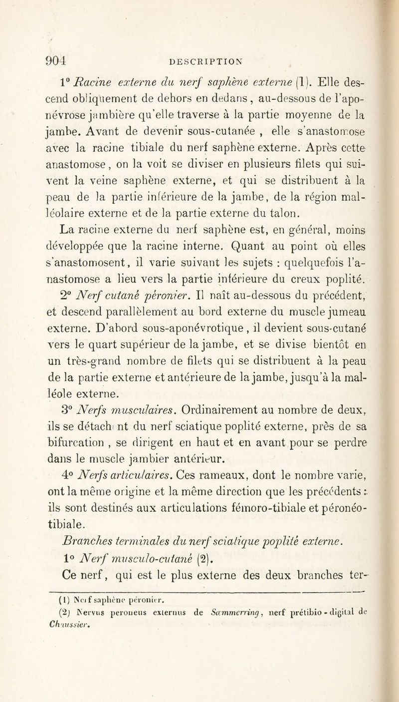 V Racine externe du 7ierf saphène externe (1). Elle des¬ cend obliquement de dehors en dedans , au-dessous de l’apo¬ névrose jambière qu’elle traverse à la partie moyenne de la jambe. Avant de devenir sous-cutanée , elle s’anastomose avec la racine tibiale du nerf saphène externe. Après cette anastomose, on la voit se diviser en plusieurs filets qui sui¬ vent la veine saphène externe, et qui se distribuent à la peau de la partie inférieure de la jambe, de la région mal¬ léolaire externe et de la partie externe du talon. La racine externe du nerf saphène est, en général, moins développée que la racine interne. Quant au point où elles s’anastomosent, il varie suivant les sujets : quelquefois l’a¬ nastomose a lieu vers la partie inférieure du creux poplité. 2® Nerf cutané péronier. Il naît au-dessous du précédent, et descend parallèlement au bord externe du muscle jumeau externe. D’abord sous-aponévrotique, il devient sous-cutané vers le quart supérieur de la jambe, et se divise bientôt en un très-grand nombre de filets qui se distribuent à la peau de la partie externe et antérieure de la jambe, jusqu’à la mal¬ léole externe. 3*^ Nerfs musculaires. Ordinairement au nombre de deux, ils se détachi nt du nerf sciatique poplité externe, près de sa bifurcation , se dirigent en haut et en avant pour se perdre dans le muscle jambier antérieur. 4^ Nerfs articulaires. Ces rameaux, dont le nombre varie, ont la même origine et la même direction que les précédents ils sont destinés aux articulations fémoro-tibiale et péronéo- tibiale. Branches terminales du nerf sciatique p)op)lité externe. Nerf mu seul O-cutané (‘â). Ce nerf, qui est le plus externe des deux branches ter- (1) Noj f saphcnc* péronier, (2j INervus peroneus exiernus de Scvmmcrring, nerf prétibio - digital de C/l 'iiisiier.