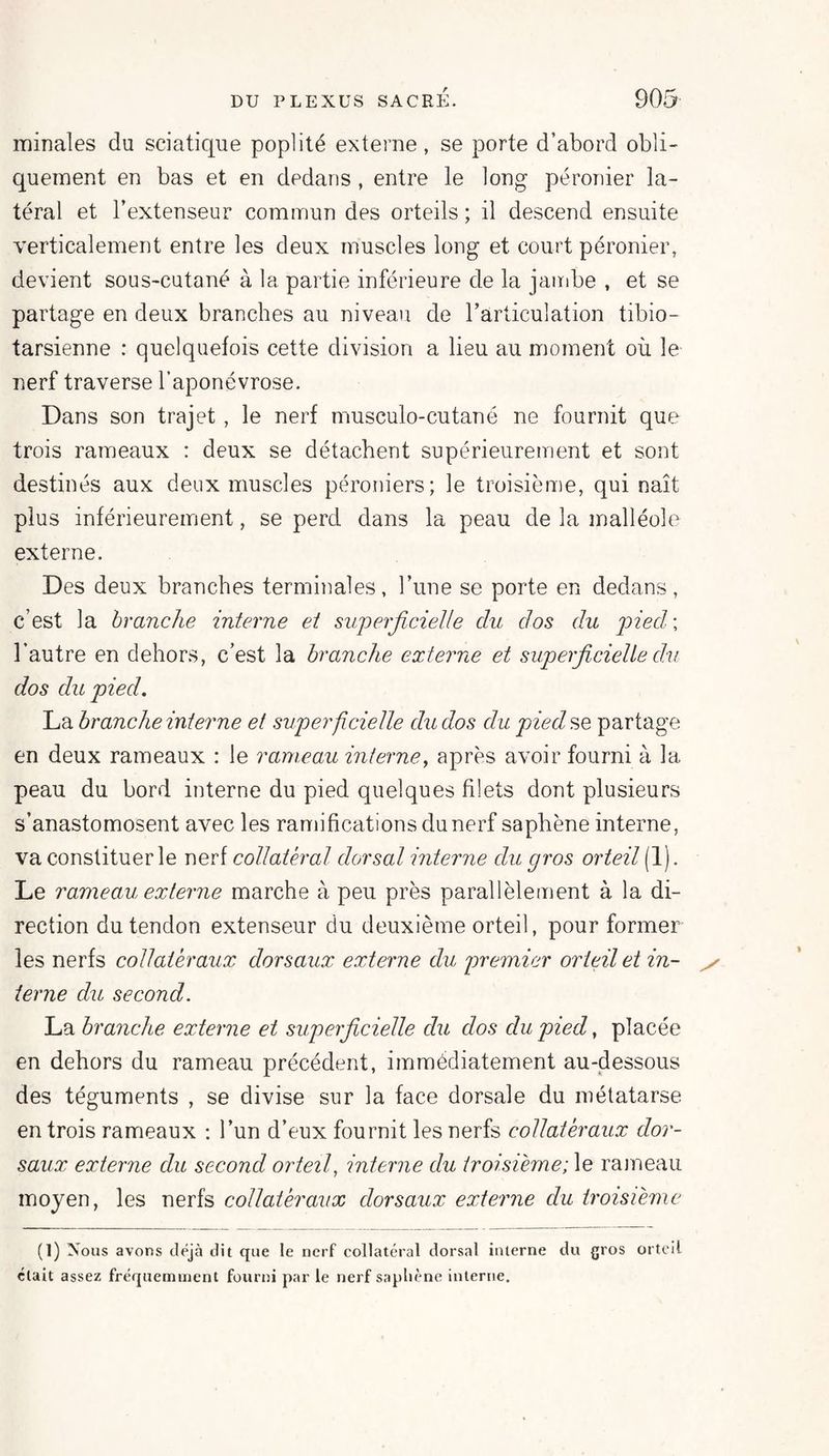 iTiinales du sciatique poplité externe, se porte d’abord obli¬ quement en bas et en dedans , entre le long péronier la¬ téral et l’extenseur commun des orteils ; il descend ensuite verticalement entre les deux muscles long et court péronier, devient sous-cutané à la partie inférieure de la jambe , et se partage en deux branches au niveau de l’articulation tibio- tarsienne : quelquefois cette division a lieu au moment où le nerf traverse l’aponévrose. Dans son trajet , le nerf musculo-cutané ne fournit que trois rameaux : deux se détachent supérieurement et sont destinés aux deux muscles péroniers; le troisième, qui naît plus inférieurement, se perd dans la peau de la malléole externe. Des deux branches terminales, l’une se porte en dedans, c’est la branche interne et superficielle du dos du pied-\ l’autre en dehors, c’est la branche externe et superficielle du dos du pied. La branche interne et superficielle du dos du pied se partage en deux rameaux : le rameau interne^ après avoir fourni à la peau du bord interne du pied quelques filets dont plusieurs s’anastomosent avec les raniificationsdunerf saphène interne, va constituer le nerf collatéral dorsal interne du gros orteil (1). Le rameau externe marche à peu près parallèlement à la di¬ rection du tendon extenseur du deuxième orteil, pour former les nerfs collatéraux dorsaux externe du premier orteil et in¬ terne du second. La branche externe et superficielle du dos du pied, placée en dehors du rameau précédent, immédiatement au-dessous des téguments , se divise sur la face dorsale du métatarse en trois rameaux : l’un d’eux fournit les nerfs collatéraux dor¬ saux externe du second orteil, interne du troisième; le raineau moyen, les nerfs collatéraux dorsaux externe du troisième (1) Nous avons déjà dit que le nerf collatéral dorsal interne du gros orteil était assez fréquemment fourni par le nerf saphène interne.