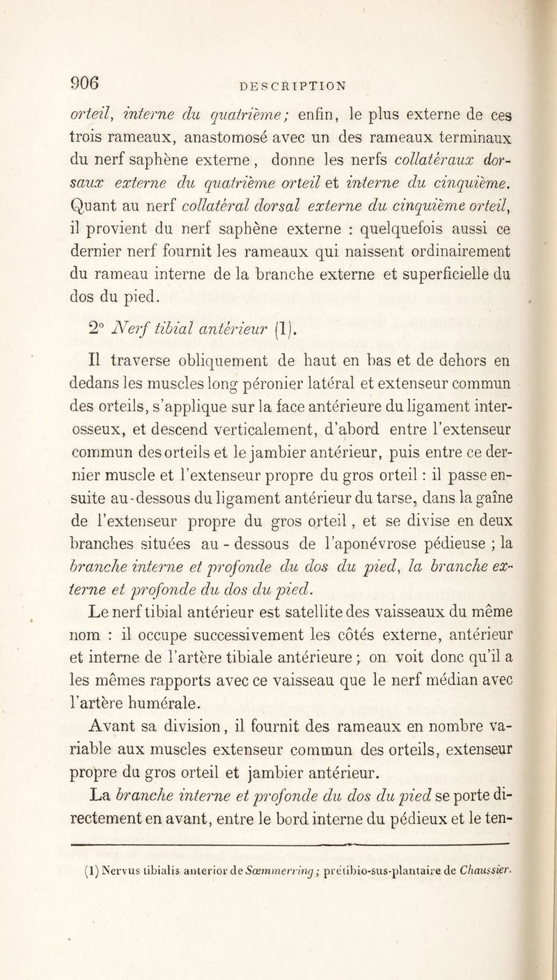 orteil, interne du quatrième; enfin, le plus externe de ces trois rameaux, anastomosé avec un des rameaux terminaux du nerf saphène externe , donne les nerfs collateraux dor¬ saux externe du quatrième orteil et interne du cinquième. Quant au nerf collatéral dorsal externe du cinquième oïdeil, il provient du nerf saphène externe : quelquefois aussi ce dernier nerf fournit les rameaux qui naissent ordinairement du rameau interne de la branche externe et superficielle du dos du pied. 2° Neif tibial antérieur (1). Il traverse obliquement de haut en bas et de dehors en dedans les muscles long péronier latéral et extenseur commun des orteils, s’applique sur la face antérieure du ligament inter¬ osseux, et descend verticalement, d’abord entre l’extenseur commun des orteils et le jambier antérieur, puis entre ce der¬ nier muscle et l’extenseur propre du gros orteil : il passe en¬ suite au-dessous du ligament antérieur du tarse, dans la gaine de l’extenseur propre du gros orteil, et se divise en deux branches situées au - dessous de l’aponévrose pédieuse ; la branche interne et iirofonele du dos du pied, la branche ex¬ terne et profonde du dos du pied. Le nerf tibial antérieur est satellite des vaisseaux du même nom : il occupe successivement les côtés externe, antérieur et interne de l’artère tibiale antérieure ; on voit donc qu’il a les mêmes rapports avec ce vaisseau que le nerf médian avec l’artère humérale. Avant sa division, il fournit des rameaux en nombre va¬ riable aux muscles extenseur commun des orteils, extenseur propre du gros orteil et jambier antérieur. La branche interne et profonde du dos du pied se porte di¬ rectement en avant, entre le bord interne du pédieux et le ten- (l)Nerviis tibialis aiUerior de5œm)»ernn^; pretibio-sus-plantaire de Cliaussier.