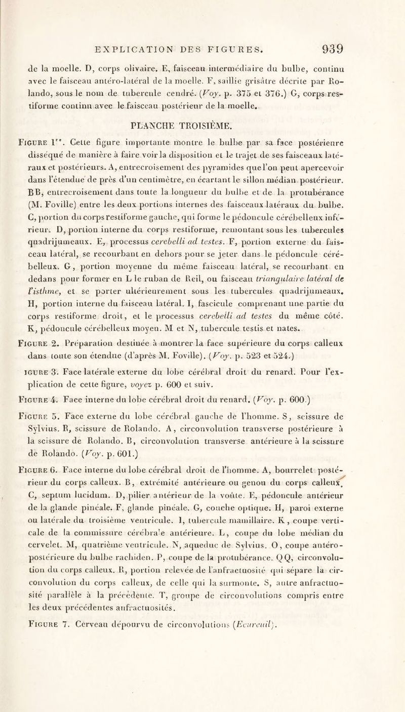 de la moelle. D, corps olivaire. E, faisceau intermédiaire du bulbe, continu avec le faisceau antéro-latéral de la moelle. F, saillie grisâtre décrite par Ro¬ lande, sous le nom de tubercule cendré. {Voy. p. 375 et 376.) G, corps res- tiforme continu avec le faisceau postérieur de la moelle. PLANCHE TROISIÈME. Figure 1”. Cette figure importante montre le bulbe par sa face postérieure disséqué de manière à faire voirla disposition et le trajet de ses faisceaux laté¬ raux et postérieurs. A, entrecroisement des pyramides que l’on peut apercevoir dans l’étendue de près d’un centimètre, en écartant le sillon médian postérieur. B B, entrecroisement dans toute la longueur du bulhe et de la protubérance (M. Foville) entre les deux portions internes des faisceaux latéraux du bulbe. C, })ortiün du corps restiforme gauche, qui forme le pédoncule cérébelleux infé¬ rieur. D, portion interne du corps restiforme, remontant sous les tubercules quadrijumeaux. E, processus cerebelli ad testes. F, portion externe du fais¬ ceau latéral, se recourbant en dehors pour se jeter dans le pédoncule céré¬ belleux. G, portion moyenne du même faisceau latéral, se recourbant en dedans pour former en L le ruban de Reil, ou faisceau triangulaire latéral de l'isthme, et se porter ultérieurement sous les tubercules quadrijumeaux. H, portion interne du faisceau latéral. I, fascicule comprenant une partie du corps restiforme droit, et le processus cerebeili ad testes du même côté. K, pédoncule cérébelleux moyen. M et N, tubercule testis et nates. Figure 2. Préparation destinée à montrer la face supérieure du corps calleux dans toute son étendue (d’après M. Foville). {Voy. p. 523 et 524.) IGURE 3. Face latérale externe du lobe cérébral droit du renard. Pour l’ex¬ plication de cette figure, voyez p. 600 et suiv. Figure 4. Face interne du lobe cérébral droit du renard. [Voy. p. 600 ) Figure 5. Face externe du lobe cérébral gauche de l’homme. S, scissure de Sylvius. R, scissure de Rolando. A, circonvolution transverse postérieure à la scissure de Rolando. B, circonvolution transverse antérieure à la scissure de Rolando. (Uqy. p. 601.) Figure 6. Face interne du lobe cérébral droit de l’homme. A, bourrelet posté¬ rieur du corps calleux. B, extrémité antérieure ou genou du corps calleux^ C, septum lucidum. D, pilier antérieur de la voûte. E, pédoncule antérieur de la glande pinéale. F, glande pinéale. G, couche optique. H, paroi externe ou latérale du troisième ventricule. 1, tubercule mamillaire. K, coupe verti¬ cale de la commissure cérébra’e antérieure. L, coupe du lobe médian du cervelet. M, quatrième ventricule. N, aqueduc de Sylvius. O, coupe antéro¬ postérieure du bulbe rachiden. P, coupe de la protubérance. QQ, circonvolu¬ tion du corps calleux. R, portion relevée de ranfractuosiié qui sépare la cir¬ convolution du corps calleux, de celle qui la surmonte. S, autre anfractuo¬ sité ])aralièle à la précédente. T, groupe de circonvolutions compris entre les deux précédentes anfractuosités. Figure 7. Cerveau dépourvu de circonvolution.^ [Ecureuil).