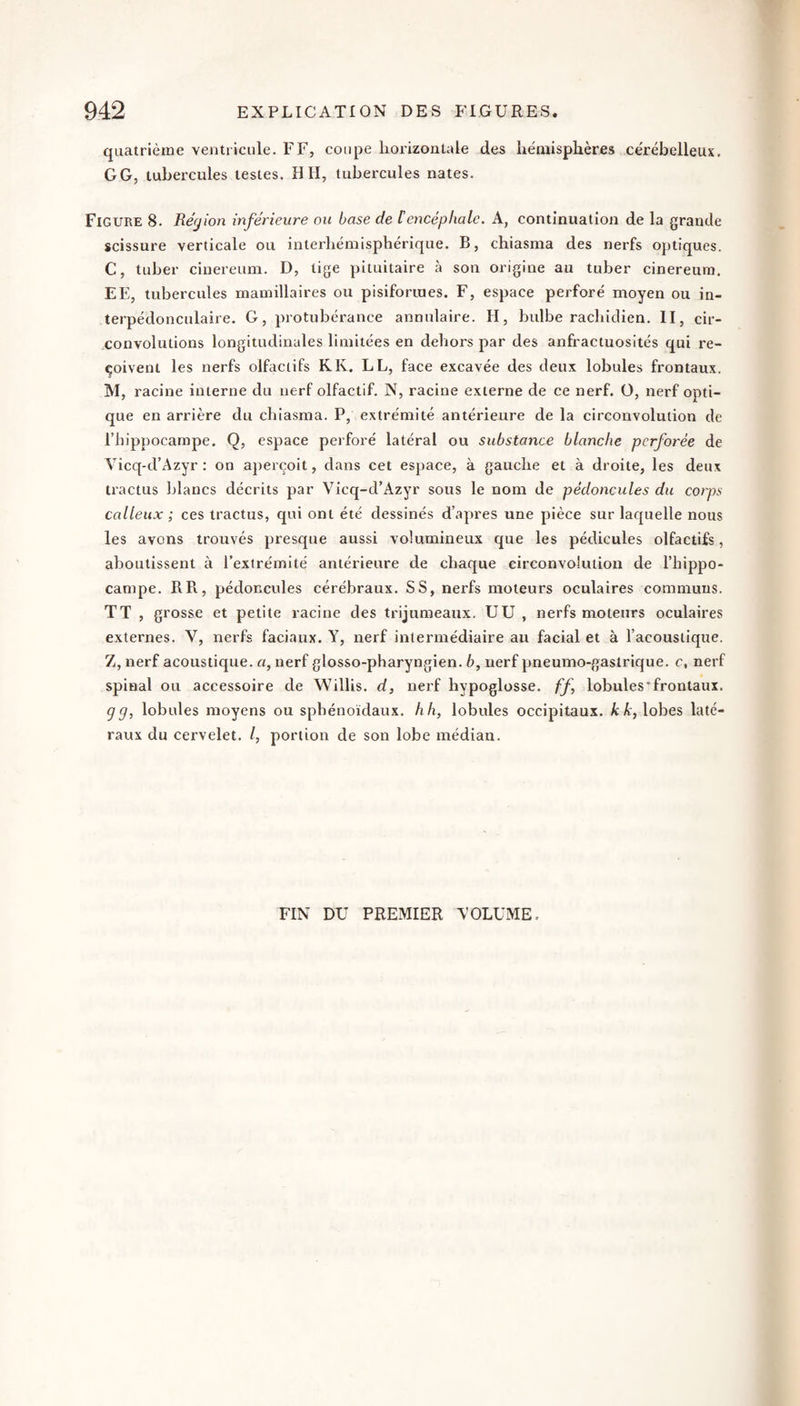 quatrième ventricule. FF, coupe horizontale des hémisphères cerébelleux. GG, tubercules lestes. H II, tubercules nates. Figure 8. Région inférieure ou base de [encéphale. A, continuation de la grande scissure verticale ou interhémisphérique. B, chiasma des nerfs optiques. C, tuber ciuereum. D, tige pituitaire à son origine au tuber cinereura. EE, tubercules mamillaires ou pisiformes. F, espace perforé moyen ou in- terpédonculaire. G, protubérance annulaire. H, bulbe rachidien. II, cir¬ convolutions longitudinales limitées en dehors par des anfractuosités qui re¬ çoivent les nerfs olfactifs K K. LL, face excavée des deux lobules frontaux. M, racine interne du nerf olfactif. N, racine externe de ce nerf. Ü, nerf opti¬ que en arrière du chiasma. P, extrémité antérieure de la circonvolution de riiippocarnpe. Q, espace perforé latéral ou substance blanche perforée de Yicq-d’Azyr : on aperçoit, dans cet espace, à gauche et à droite, les deux tractus blancs décrits par Vicq-d’Azyr sous le nom de pédoncules du corps calleux ; ces tractus, qui ont été dessinés d’apres une pièce sur laquelle nous les avons trouvés presque aussi volumineux que les pédicules olfactifs, aboutissent à l’extrémité antérieure de chaque circonvolution de l’hippo¬ campe. RR, pédoncules cérébraux. SS, nerfs moteurs oculaires communs. TT , grosse et petite racine des trijumeaux. UU , nerfs moteurs oculaires externes. V, nerfs faciaux. Y, nerf intermédiaire au facial et à l’acoustique. Z, nerf acoustique, a, nerf glosso-pharyngien. b, nerf pneumo-gaslrique. c, nerf spinal ou accessoire de Willis. d, nerf hypoglosse, ff lobules*frontaux. g g, lobules moyens ou sphénoïdaux, h h, lobules occipitaux. /cÆ, lobes laté¬ raux du cervelet. /, portion de son lobe médian. FIN DU PREMIER YOLUME.