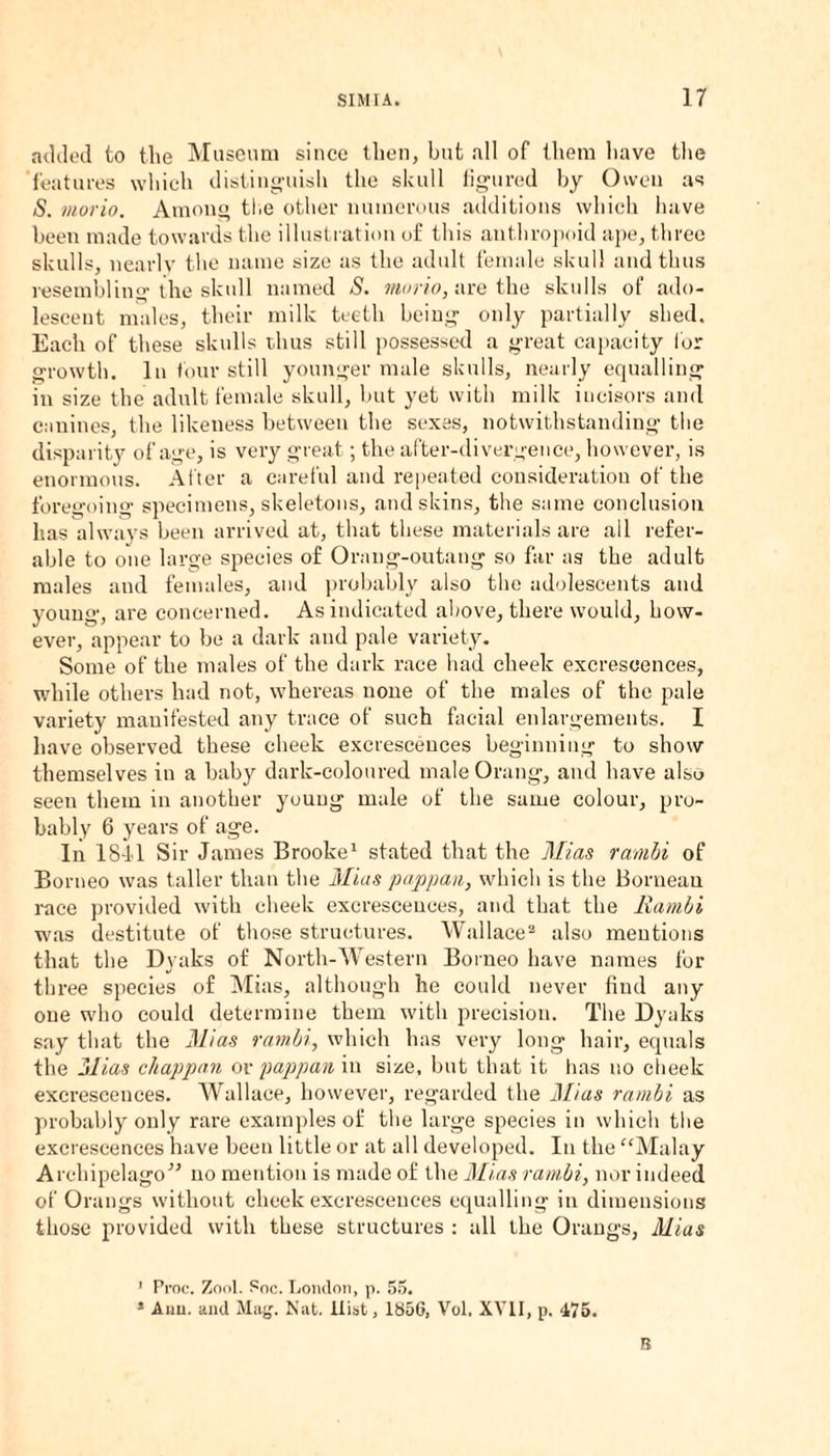added to the Museum since then, but all of them have the features which distinguish the skull figured by Owen as S. viorio. Among the other numerous additions which have been made towards the illustration of this anthropoid ape, three skulls, nearly the name size as the adult female skull and thus resembling the skull named S. morio, are the skulls of ado¬ lescent males, their milk teeth being only partially shed. Each of these skulls thus still possessed a great capacity for growth. In four still younger male skulls, nearly equalling in size the adult female skull, but yet with milk incisors and canines, the likeness between the sexes, notwithstanding the disparity of age, is very great ; the after-divergence, however, is enormous. After a careful and repeated consideration of the foregoing specimens, skeletons, and skins, the same conclusion has always been arrived at, that these materials are all refer¬ able to one large species of Orang-outang so far as the adult males and females, and probably also the adolescents and young, are concerned. As indicated above, there would, how¬ ever, appear to be a dark and pale variety. Some of the males of the dark race had cheek excrescences, while others had not, whereas none of the males of the pale variety manifested any trace of such facial enlargements. I have observed these cheek excrescences beginning to show themselves in a baby dark-coloured male Orang, and have alsu seen them in another young male of the same colour, pro¬ bably 6 years of age. In ISil Sir James Brooke1 stated that the Mias rambi of Borneo was taller than the Mias pappan, which is the Bornean race provided with cheek excrescences, and that the Rambi was destitute of those structures. Wallace2 also mentions that the Dyaks of North-Western Borneo have names for three species of Mias, although he could never find any one who could determine them with precision. The Dyaks say that the Mias rambi, which has very long hair, equals the Mias cliappan or pappan in size, but that it lias no cheek excrescences. Wallace, however, regarded the Mias rambi as probably only rare examples of the large species in which the excrescences have been little or at all developed. In the “Malay Archipelago” no mention is made of the Mias rambi, nor indeed of Orangs without cheek excrescences equalling in dimensions those provided with these structures : all the Orangs, Mias ' Proc. Zool. Soc. London, p. 55. * Aim. and Mag. Nat. liist, 1856, Vol, XVII, p. 475. B
