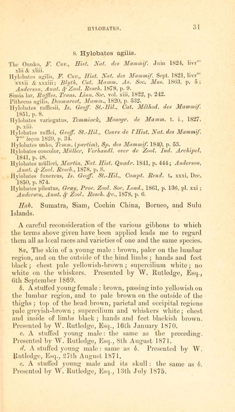 IIYI.OBATES. 8. Hylobates agilis. The Ounko, F. Cuv., Hist. Nut. dcs Mammif. Juin 1824, livr xiii & xliii. Hylobates agilis, F. Cuv., Hist. Nat. des Mammif. Sept. 1821, livr5 xxxii & xxxiii; Blyth, Cat. Mamm. As. Sue. Mas. 1863, p. 5; Anderson, Anat. df Zool. Resell. 1878, p. 9. Simia lar, Raffles, Trans. Linn, Sue. vol. xiii, 1822, p. 242. Pitbecus agilis, Desmarest, Mamin., 1820, p. 532. Hylobates rafllesii. Is. Geojf. St.-Hil., Cat. Method, des Mammif 1851, p. 8. Hylobates variegatus, Temminck, Monogr. de Mamm. t. i., 1827, p. xiii. Hylobates rafflei, Geoff. St.-Hil., Corn's de VHist. Nat. des Mammif 7'e le9on 1829, p. 34. Hylobates unlco, Temm. (partim), Sp. des Mammif. 1840, p. 53. Hylobates coueolor, Muller, Verhandl. over de Zool. Ind. Archipel, 1841, p. 48. Hylobates miilleri, Martin. Nat. Hist. Quadr. 1841, p. 444; Anderson, Anat. dj' Zool. Reseh., 1878, p. 8. Hylobates funereus, Is. Geoff. St.-Hil., Compt. Rend. t. xxxi, Dec. 1850, p. 874. Hylobates pileatus, Gray, Proc. Zool. Soc. Lond., 1861, p. 136, pi. xxi; Anderson, Anat. df Zool. Resell, dfc., 1878, p. 6. Hab. Sumatra, Siam, Cochin China, Borneo, and Sulu Islands. A careful reconsideration of the various gibbons to which the terms above given have been applied leads me to regard them all as local races and varieties of one and the same species. 8c. The skin of a young male ; brown, paler on the lumbar region, and on the outside of the hind limbs ; hands and feet black; chest pale yellowish-brown ; supercilium white; no white on the whiskers. Presented by W. Rutledge, Esq., 6th September 1869. b. A stuffed young female : brown, passing into yellowish on the lumbar region, and to pale brown on the outside of the thighs ; top of the head brown, parietal and occipital regions pale greyish-brown; supercilium and whiskers white; chest and inside of limbs black ; hands and feet blackish brown. Presented by W. Rutledge, Esq., 16th January 1870. c. A stuffed young male: the same as the preceding. Presented by W. Rutledge, Esq., 8th August 1871. <1. A stuffed young male: same as b. Presented by W. Rutledge, Esq., 27th August 1871, c. A stuffed young male and its skull : the same as b. Presented by W. Rutledge, Esq., 13th July 1875.