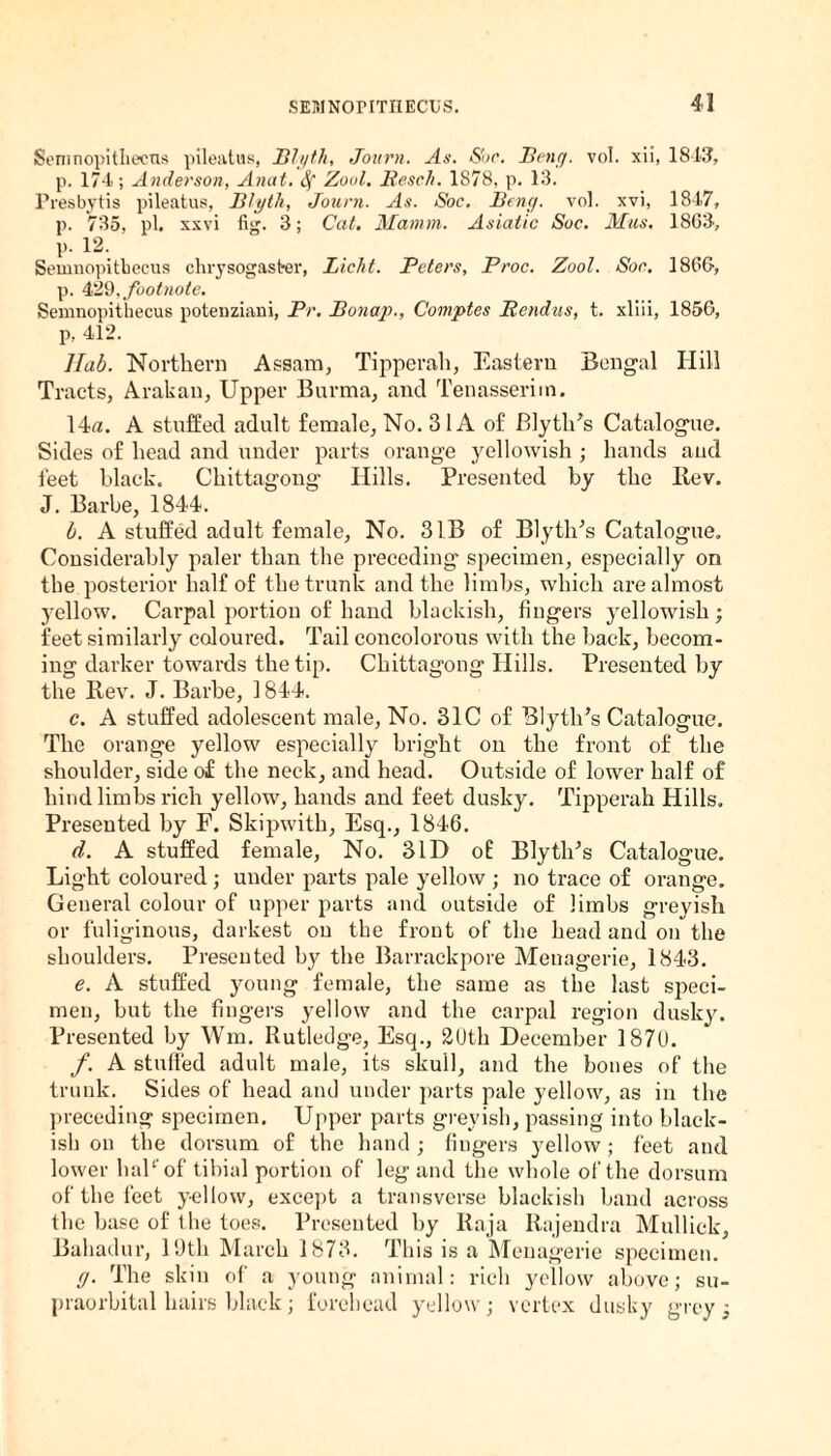 Senmopitliecns pilealus, Blyth, Jottrn. As. Sue. Bing. vol. xii, 1843, p. 17-1; Anderson, Anat. Sf Zool. Besc/t. 1878, p. 13. Presbytis pileatus, Blyth, Journ. As. Soc. Beng. vol. xvi, 1817, p. 735, pi. xxvi fig. 3; Cat. Mamin. Asiatic Soc. Mas, 18G3, p. 12. Semnopitbccus chrysogaster, Licht. Peters, Proc. Zool. Soc. 18C6, p. 429, footnote. Semnopithecus potenziani, Pr. Bonap., Comptes Bendas, t. xliii, 185G, p, 412. Hub. Northern Assam, Tipperah, Eastern Bengal Hill Tracts, Arakan, Upper Burma, and Tenasseriin. 14a. A stuffed adult female, No. 3 1A of Blyth's Catalogue. Sides of head and under parts orange yellowish ; hands and feet black. Chittagong Hills. Presented by the Rev. J. Barbe, 1844. b. A stuffed adult female, No. 3 IB of BlytlPs Catalogue. Considerably paler than the preceding specimen, especially on the posterior half of the trunk and the limbs, which are almost yellow. Cai’pal portion of hand blackish, fingers yellowish; feet similarly coloured. Tail concolorous with the back, becom¬ ing darker towards the tip. Chittagong Hills. Presented by the Rev. J. Barbe, 1844. c. A stuffed adolescent male, No. 31C of Blyth’s Catalogue. The orange yellow especially bright on the front of the shoulder, side of the neck, and head. Outside of lower half of hind limbs rich yellow, hands and feet dusky. Tipperah Hills, Presented by F. Skipwith, Esq., 1846. d. A stuffed female, No. 31D of BlytlPs Catalogue. Light coloured ; under parts pale yellow ; no trace of orange. General colour of upper parts and outside of limbs greyish or fuliginous, darkest on the front of the head and on the shoulders. Presented by the Barrackpore Menagerie, 1843. e. A stuffed young female, the same as the last speci¬ men, but the fingers yellow and the carpal region dusky. Presented by Wm. Rutledge, Esq., 2(Jth December 1870. f. A stuffed adult male, its skull, and the bones of the trunk. Sides of head and under parts pale yellow, as in the preceding specimen. Upper parts greyish, passing into black¬ ish on the dorsum of the hand ; fingers yellow ; feet and lower haP'of tibial portion of leg and the whole of the dorsum of the feet yellow, except a transverse blackish band across the base of the toes. Presented by Raja Rajendra Mullick, Bahadur, 19th March 1873. This is a Mena gerie specimen. g. The skin of a young animal: rich yellow above; su¬ praorbital hairs black; forehead yellow; vertex dusky grey;