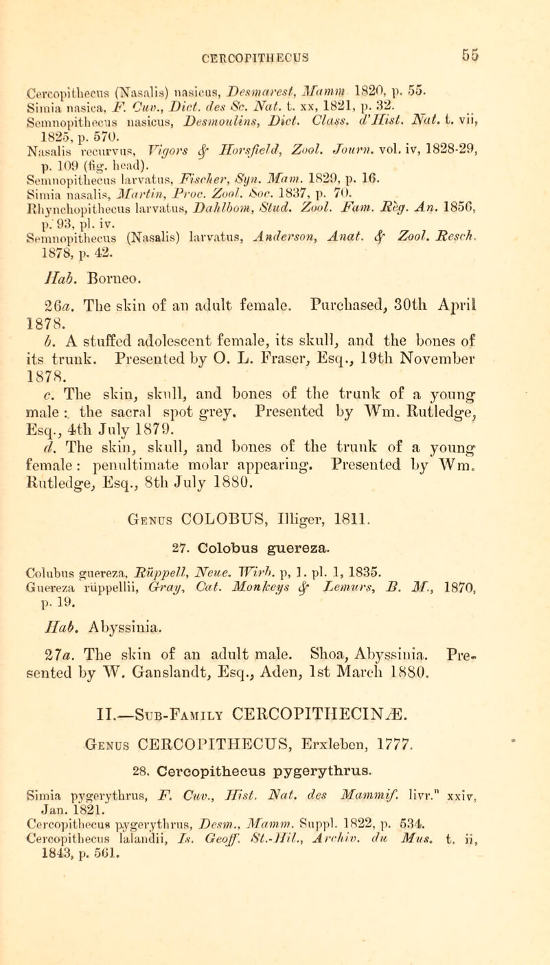 CERCOriTH ECUS K e Ou Cercopithecus (Nasalis) nasicus, Desmarest, Ufa nun 1820, p. 55. Siraia nasica, F. Cun., Diet, des Sc. Nat. t. xx, 1821, p. 32. Semnopithecus nasicus, Desmoulins, Diet. Class, d’Hist. Nat. t. vii, 1825, p. 570. Nasalis recurvus, Vigors Sf Horsjield, Zool. Journ. vol. iv, 1828-29, p. 109 (tig. head). Semnopithecus larvatus, Fischer, Sijn. Mam. 1829, p. 16. Simia nasalis, Martin, Proc. Zool. Soe. 1837, p. 70. Rhynchopithecus larvatus, Dahlbom, Stud. Zool. Fam. Reg. An. 1856, р. 93, pi. iv. Semnopithecus (Nasalis) larvatus, Anderson, Anat. Sf Zool. Reseh. 1878, p. 42. IIah. Borneo. 2Gtf. The skin of an adult female. Purchased, 30th April 1878. b. A stuffed adolescent female, its skull, and the hones of its trunk. Presented by O. L. Fraser, Esq., 19th November 1878. с. The skin, skull, and bones of the trunk of a young- male : the sacral spot grey. Presented by Wm. Rutledge. Esq., 4th July 1879. d. The skin, skull, and bones of the trunk of a young female: penultimate molar appearing. Presented by Wm. Rutledge, Esq., 8th July 18S0. Genus COLOBUS, Illiger, 1811. 27. Colobus guereza. Colubus guereza, Ruppell, Neue. Wirh. p, 1. pi. 1, 1835. Guereza riippellii, (frag, Cat. Monkeys if* Lemurs, B. M., 1870, p. 19. Ilab. Abyssinia. 2la. The skin of an adult male. Shon, Abyssinia. Pre¬ sented by W. Ganslandt, Esq., Aden, 1st March 1880. II.—Sub-Family CERCOPITIIECIN^E. Genus CERCOPITHECUS, Erxleben, 1777. 28. Cercopithecus pygerythrus, Simia pygerythrus, F. Cuv., Hist. Nat. des Mammif. livr. xxiv, Jan. 1821. Cercopithecus pygerythrus, Desm., Mamm. Suppl. 1822, p. 534. Cercopithecus lalandii, Is. Geoff] St.-JJil., Archie, du Mas. t. ii, 1843, p. 561.