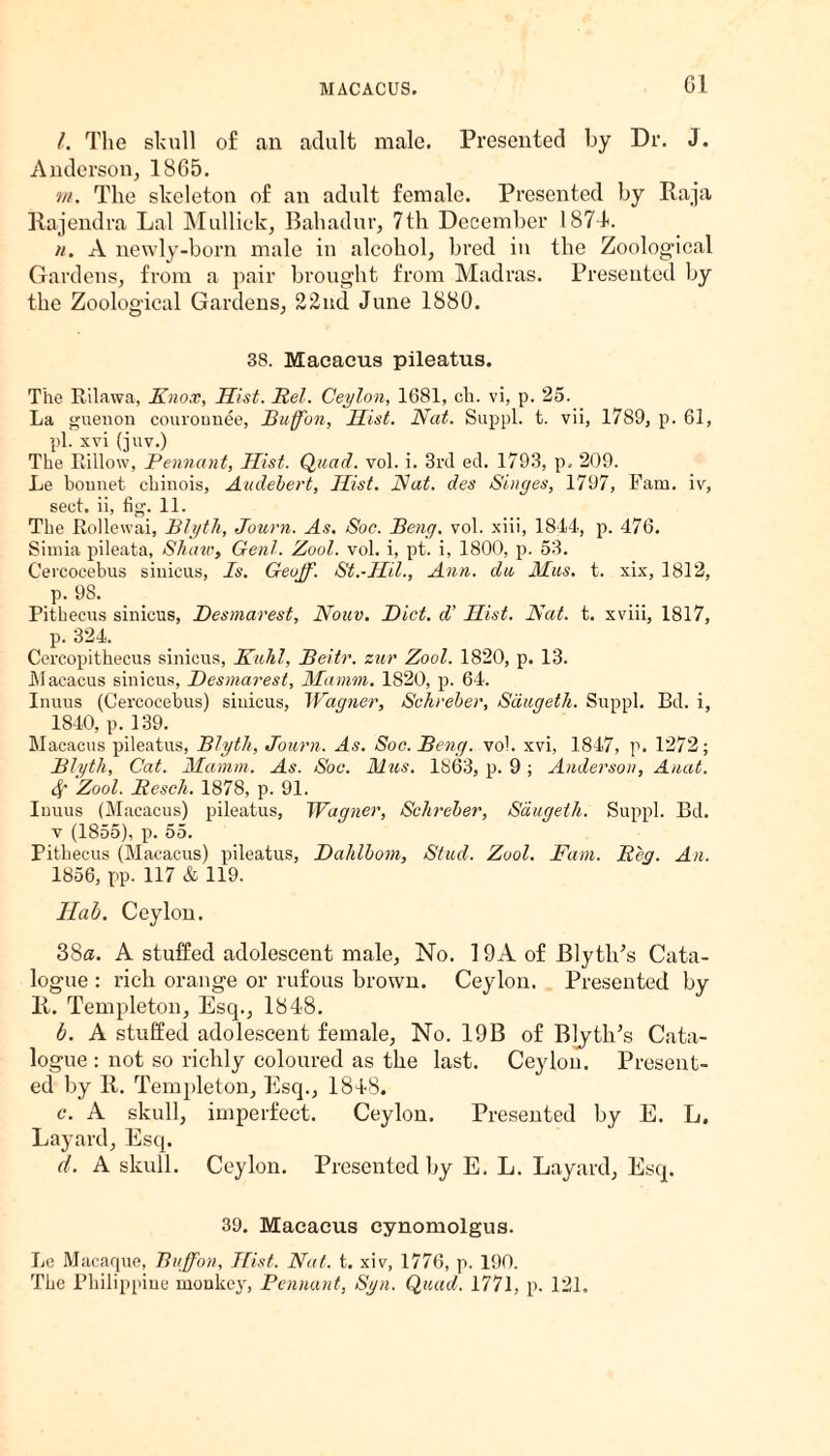 Gl /. The skull of an adult male. Presented by Dr. J. Anderson, 1865. m. The skeleton of an adult female. Presented by Raja Rajendra Lai Mullick, Bahadur, 7 th December 1871. n. A newly-born male in alcohol, bred in the Zoological Gardens, from a pair brought from Madras. Presented by the Zoological Gardens, 22nd June 1880. 38. Macacus pileatus. The Rilawa, Knox, Hist. Kel. Ceylon, 1681, ck. vi, p. 25. La guenon couronuee, Buff'on, Hist. Nat. Suppl. t. vii, 1789, p. 61, pi. xvi (juv.) The Billow, Pennant, Hist. Quad. vol. i. 3rd ed. 1793, p. 209. Le bonnet ckinois, Audebert, Hist. Nat. des Singes, 1797, Fam. iv, sect, ii, fig. 11. The Rollewai, Blyth, Journ. As. Soc. Peng. vol. xiii, 1814, p. 476. Simla pileata, Shaw, Gent. Zool. vol. i, pt. i, 1800, p. 53. Cercocebus sinicus, Is. Geoff. St.-Hil., Ann. da Mus. t. xix, 1812, p. 98. Pitheeus sinicus, Desmarest, Nouv. Diet, d’ Hist. Nat. t. xviii, 1817, р. 324. Cercopithecus sinicus, Kuhl, Beitr. zur Zool. 1820, p. 13. Macacus sinicus, Desmarest, Mamm. 1820, p. 64. Inuus (Cercocebus) sinicus, Wagner, Schreber, Sdugeth. Suppl. Bd. i, 1840, p. 139. Macacus pileatus, Blyth, Journ. As. Soc. Beng. vol. xvi, 1847, p. 1272; Blyth, Cat. Mamm. As. Soc. Altos. 1863, p. 9; Anderson, Anat. 4' Zool. Besch. 1878, p. 91. Inuus (Macacus) pileatus, Wagner, Schreber, Sdugeth. Suppl. Bd. v (1855), p. 55. Pitheeus (Macacus) pileatus, Dahlbom, Stud. Zool. Fam. Beg. An. 1856, pp. 117 & 119. Hub. Ceylon. 38a. A stuffed adolescent male, No. 19A of BlytlFs Cata¬ logue : rich orange or rufous brown. Ceylon. Presented by R. Templeton, Esq., 1848. b. A stuffed adolescent female, No. 19B of Blyth’s Cata¬ logue : not so richly coloured as the last. Ceylon. Present¬ ed by Ii. Templeton, Esq., 1848. с. A skull, imperfect. Ceylon. Presented by E. L. Layard, Esq. d. A skull. Ceylon. Presented by E. L. Layard, Esq. 39. Macacus cynomolgus. Le Macaque, Buffon, Hist. Nat. t. xiv, 1776, p. 190. The Philippine monkey, Pennant, Syn. Quad. 1771, p. 121.