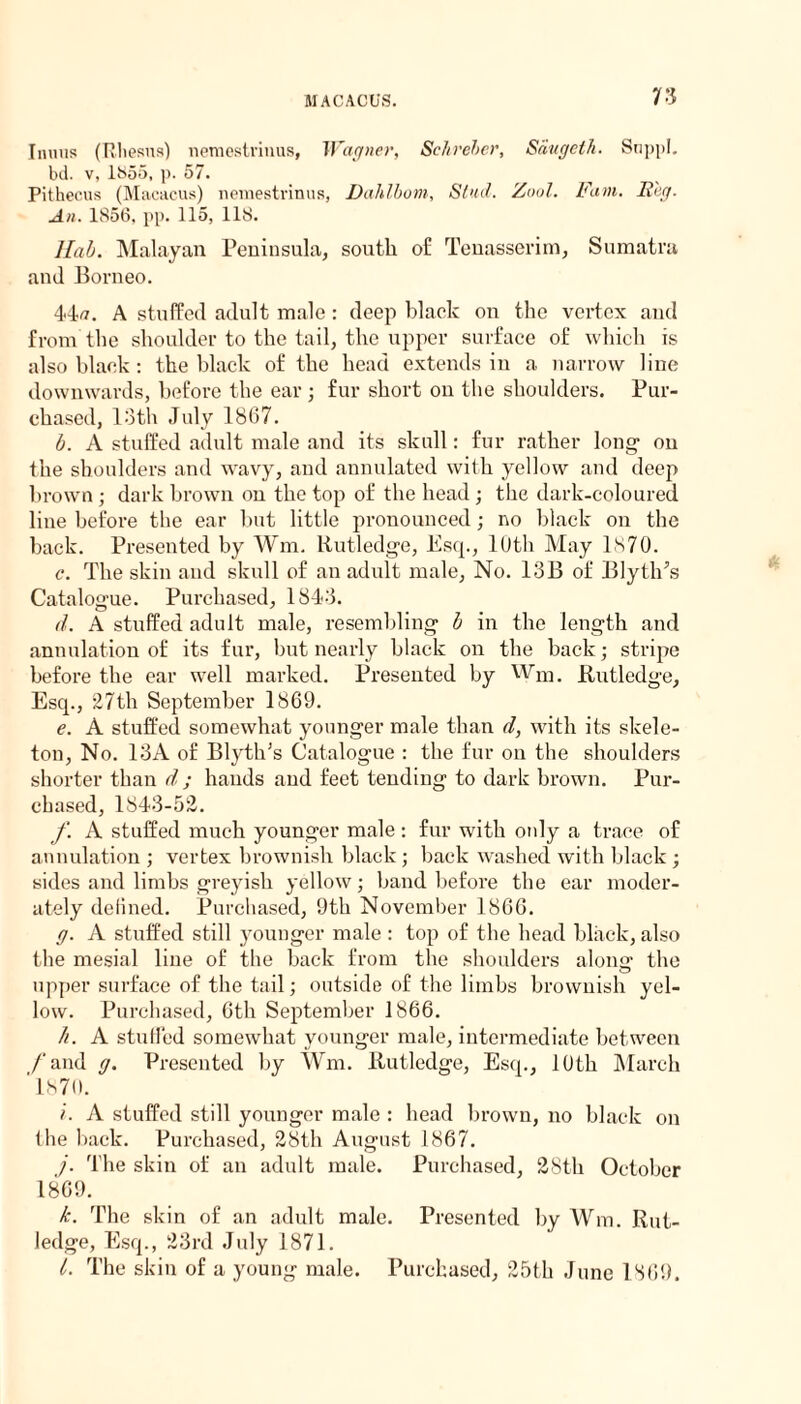 Inmis (Rhesus) nemestrinus, Wagner, Schreber, Saugeth. Snppl. bd. v, 1855, p. 57. Pithecus (Macacus) nemestrinus, Dahlbom, Stud. Zool. Fam. Reg. An. 1856, pp. 115, 118. I lab. Malayan Peninsula, south o£ Tenasserim, Sumatra and Borneo. 44a. A stuffed adult male: deep black on the vertex and from the shoulder to the tail, the upper surface of which is also black : the black of the head extends in a narrow line downwards, before the ear ; fur short on the shoulders. Pur¬ chased, 13th July 1867. b. A stuffed adult male and its skull: fur rather long on the shoulders and wavy, and annulated with yellow and deep brown ; dark brown on the top of the head ; the dark-coloured line before the ear but little pronounced; no black on the back. Presented by Wm. Rutledge, Esq., 10th May 1S 70. c. The skin and skull of an adult male, No. 13B of Blytil’s Catalogue. Purchased, 1843. d. A stuffed adult male, resembling b in the length and annillation of its fur, but nearly black on the back; stripe before the ear well marked. Presented by Wm. Rutledge, Esq., 27th September 1869. e. A stuffed somewhat younger male than d, with its skele¬ ton, No. 13A of Blyth’s Catalogue : the fur on the shoulders shorter than d ; hands and feet tending to dark brown. Pur¬ chased, 1843-52. f. A stuffed much younger male : fur with only a trace of annulation ; vertex brownish black; back washed with black ; sides and limbs greyish yellow; band before the ear moder¬ ately delined. Purchased, 9th November 1866. g. A stuffed still younger male : top of the head black, also the mesial line of the back from the shoulders alona’ the upper surface of the tail; outside of the limbs brownish yel¬ low. Purchased, 6th September 1866. h. A stuffed somewhat younger male, intermediate between /'and g. Presented by Wm. Rutledge, Esq., 10th March L <s 7 (). i. A stuffed still younger male : head brown, no black on the back. Purchased, 28th August 1867. j. The skin of an adult male. Purchased, 28th October 1869. k. The skin of an adult male. Presented by W111. Rut¬ ledge, Esq., 23rd July 1871. l. The skin of a young male. Purchased, 25th June 1869.