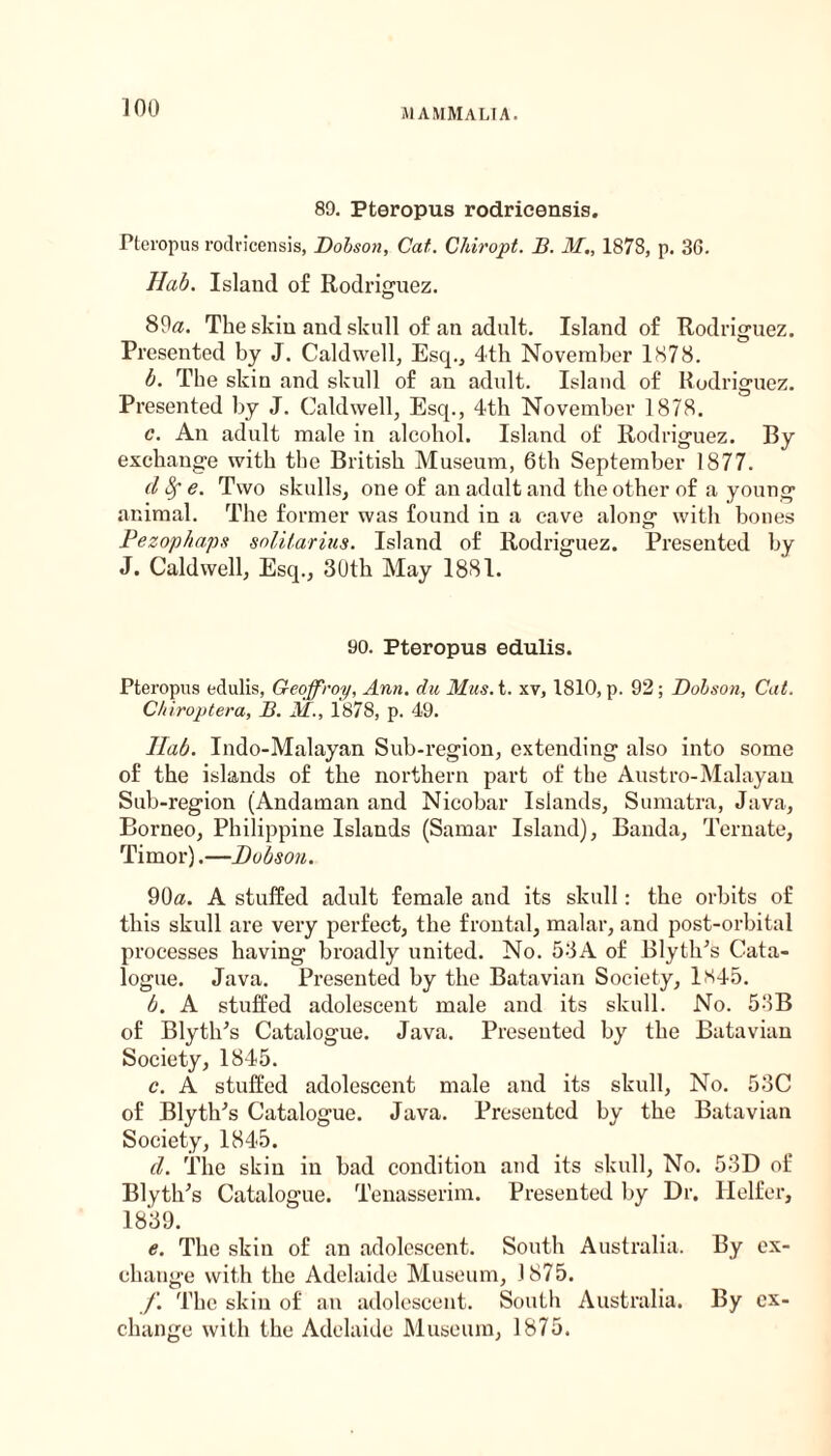 J1AMMALTA. 80. Pteropus rodricensis. Pteropus rodricensis, Dobson, Cat. Chiropt. B. M., 1878, p. 36. Hab. Island of Rodriguez. 89a. The skin and skull of an adult. Island of Rodriguez. Presented by J. Caldwell, Esq., 4th November 1878. b. The skin and skull of an adult. Island of Rodriguez. Presented by J. Caldwell, Esq., 4th November 1878. c. An adult male in alcohol. Island of Rodriguez. By exchange with the British Museum, 6th September 1877. d Sf e. Two skulls, one of an adult and the other of a young animal. The former was found in a cave along with bones Pezophaps solitarius. Island of Rodriguez. Presented by J. Caldwell, Esq., 30th May 1881. 90. Pteropus edulis. Pteropus edulis, Geoffroy, Ann. du Mas. t. xv, 1810, p. 92; Dobson, Cat. C/iiroptera, B. M., 1878, p. 49. Hab. Indo-Malayan Sub-region, extending also into some of the islands of the northern part of the Austro-Malayan Sub-region (Andaman and Nicobar Islands, Sumatra, Java, Borneo, Philippine Islands (Samar Island), Banda, Ternate, Timor).—Dobson. 90a. A stuffed adult female and its skull: the orbits of this skull are very perfect, the frontal, malar, and post-orbital processes having broadly united. No. 53A of Blyth’s Cata¬ logue. Java. Presented by the Batavian Society, 1845. b. A stuffed adolescent male and its skull. No. 53B of Blythes Catalogue. Java. Presented by the Batavian Society, 1845. c. A stuffed adolescent male and its skull, No. 53C of Blythes Catalogue. Java. Presented by the Batavian Society, 1845. cl. The skin in bad condition and its skull, No. 53D of Blyth’s Catalogue. Tenasserim. Presented by Dr. Heifer, 1839. e. The skin of an adolescent. South Australia. By ex¬ change with the Adelaide Museum, 1875. f. The skin of an adolescent. South Australia. By ex¬ change with the Adelaide Museum, 1875.
