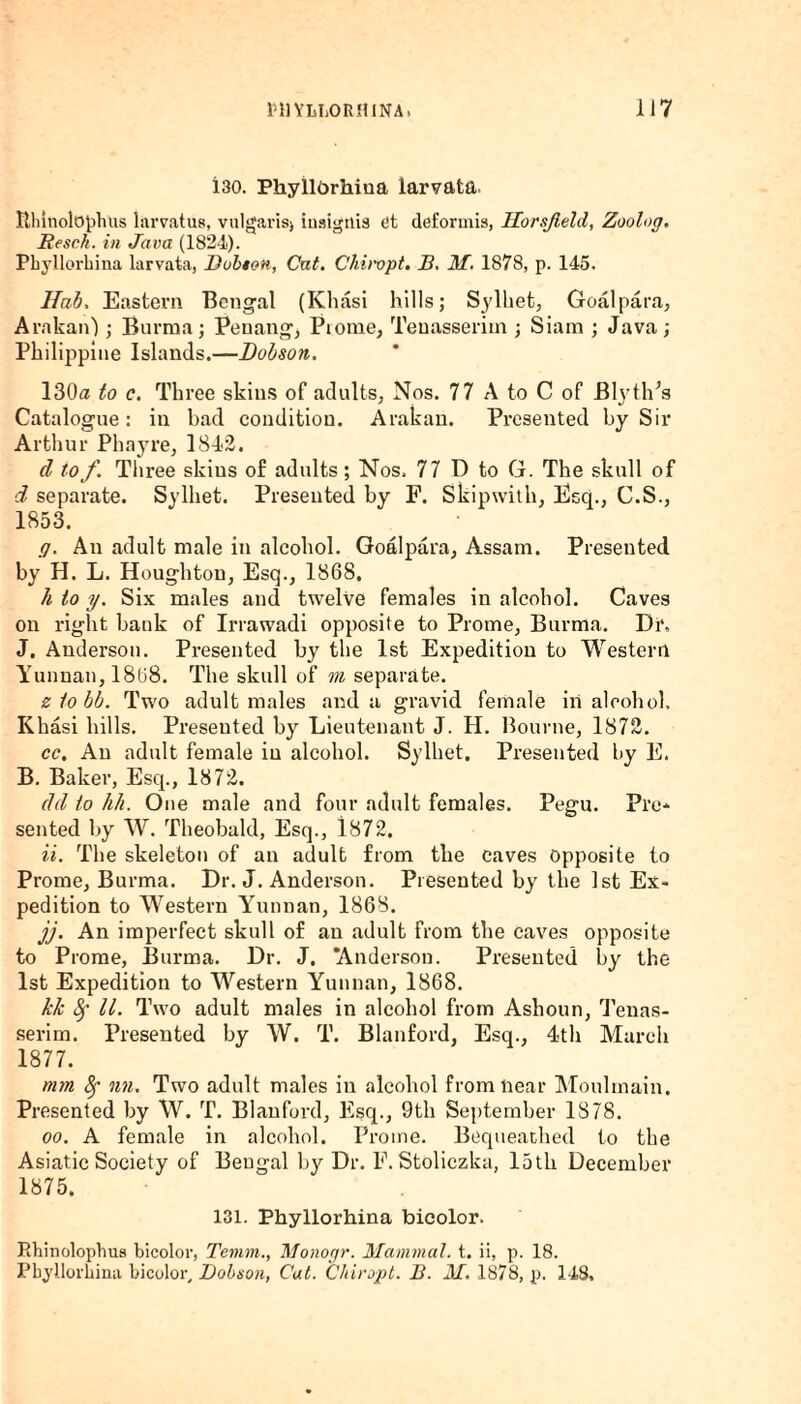 130. Phyllbrhiua larvata. Ithlnolopluis larvatus, vulgarise iuaigrtis fit deformis, Horsjield, Zoolog. Eesch. in Java (1824). Phyllorhina larvata, Bolton, Cat. Chiivpt. B, M. 1878, p. 145. Hah. Eastern Bengal (Khasi hills; Sylhet, Goal para, Arakan'); Burma; Penang, Prome, Tenasserim ; Siam ; Java; Philippine Islands.—Dobson. 130a to c. Three skins of adults, Nos. 77 A to C of Ely tips Catalogue: in bad condition. Arakan. Presented by Sir Arthur Phayre, 1842. d to/. Three skins of adults; Nos. 77 D to G. The skull of d separate. Sylliet. Presented by P. Skipwith, Esq., C.S., 1853. g. An adult male in alcohol. Goalpara, Assam. Presented by H. L. Houghton, Esq., 1868. h to y. Six males and twelve females in alcohol. Caves on right bank of Irrawadi opposite to Prome, Burma. Di\ J. Anderson. Presented by the 1st Expedition to Western Yunnan, 1868. The skull of m separate. ziobb. Two adult males and a gravid female in alcohol. Khasi hills. Presented by Lieutenant J. H. Bourne, 1872. cc. An adult female in alcohol. Sylhet, Presented by E. B. Baker, Esq., 1872. del to hh. One male and four adult females. Pegu. Pre¬ sented by W. Theobald, Esq., 1872. ii. The skeleton of an adult from the caves Opposite to Prome, Burma. Dr. J. Anderson. Presented by the 1st Ex¬ pedition to Western Yunnan, 1868. jj. An imperfect skull of an adult from the caves opposite to Prome, Burma. Dr. J. Anderson. Presented by the 1st Expedition to Western Yunnan, 1868. kk Sf 11. Two adult males in alcohol from Ashoun, Tenas¬ serim. Presented by W. T. Blanford, Esq., 4th March 1877. mm Sf nn. Two adult males in alcohol from near Moulmain. Presented by W. T. Blanford, Esq., 9th September 1878. oo. A female in alcohol. Prome. Bequeathed to the Asiatic Society of Bengal by Dr. F. Stoliczka, lath December 1875. 131. Phyllorhina bicolor. Rhinolophus bicolor, Temm., Monogr. Mammal, t. ii, p. 18. Phyllorhina bicolor, Dobson, Cat. Chiropt. B. M. 1878, p. 148,