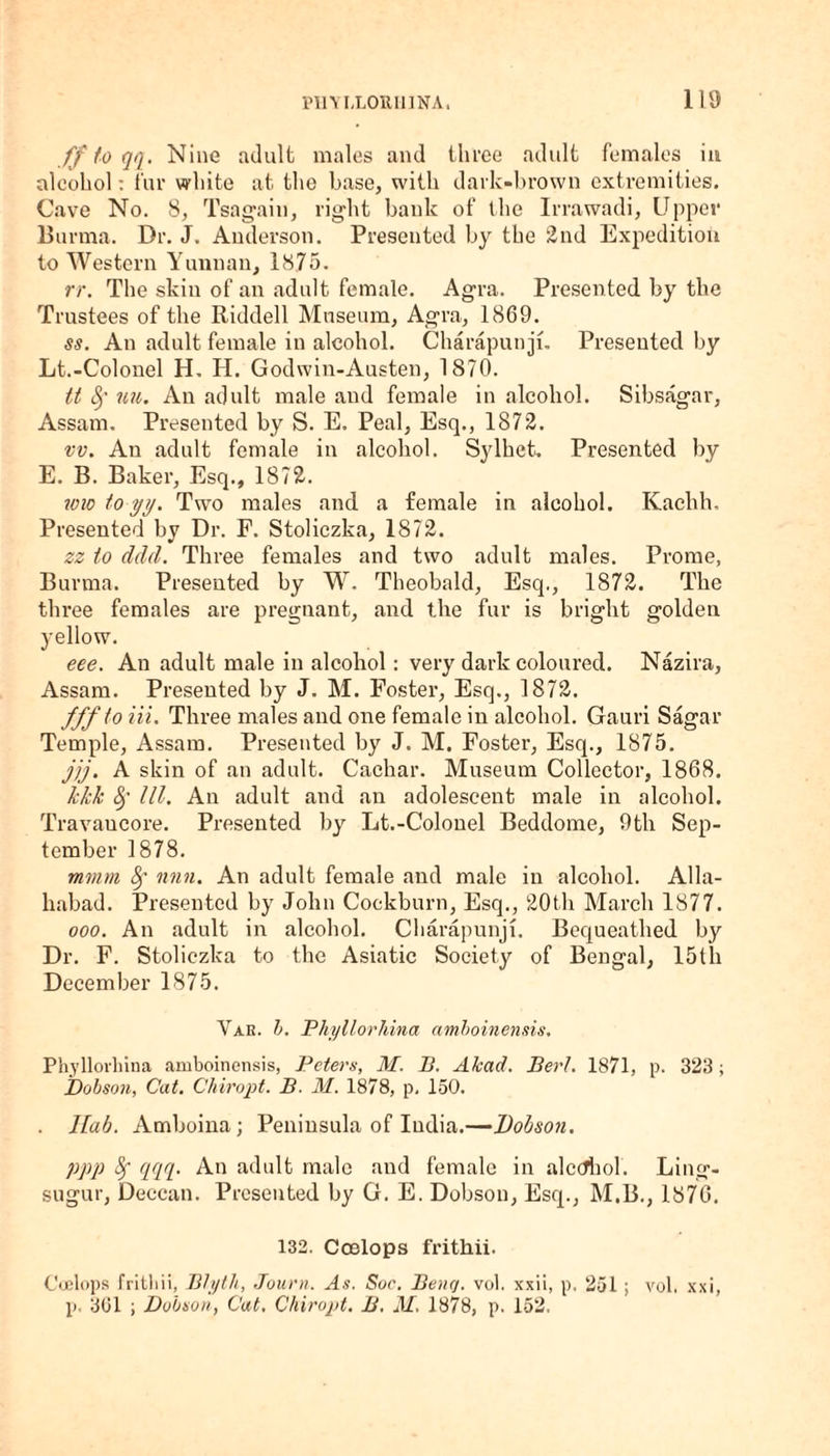 ff to qq. Nine adult males and three adult females in alcohol: fur white at the base, with dark-brown extremities. Cave No. 8, Tsagain, right bank of the Irrawadi, Upper Burma. Dr. J. Anderson. Presented by the 2nd Expedition to Western Yunnan, 1875. rr. The skin of an adult female. Agra. Presented by the Trustees of the Riddell Museum, Agra, 1869. ss. An adult female in alcohol. Charapunji. Presented by Lt.-Colonel H. H. Godwin-Austen, 1870. tt Sf uu. An adult male and female in alcohol. Sibsagar, Assam. Presented by S. E. Peal, Esq., 1872. vv. An adult female in alcohol. Sylhet. Presented by E. B. Baker, Esq., 1872. wwtoyy. Two males and a female in alcohol. Kachh. Presented by Dr. P. Stoliczka, 1872. zz io ddd. Three females and two adult males. Prome, Burma. Presented by W. Theobald, Esq., 1872. The three females are pregnant, and the fur is bright golden yellow. eee. An adult male in alcohol: very dark coloured. Nazira, Assam. Presented by J. M. Foster, Esq., 1872. fffto iii. Three males and one female in alcohol. Gauri Sagar Temple, Assam. Presented by J. M. Foster, Esq., 1875. jjj. A skin of an adult. Cachar. Museum Collector, 1868. kkk III. An adult and an adolescent male in alcohol. Travaucore. Presented by Lt.-Colonel Beddome, 9th Sep¬ tember 1878. mvim fy nnn. An adult female and male in alcohol. Alla¬ habad. Presented by John Cockburn, Esq., 20th March 1877. ooo. An adult in alcohol. Charapunji. Bequeathed by Dr. F. Stoliczka to the Asiatic Society of Bengal, 15th December 1875. Yak. b. Phyllorhina amboinensis. Phyllorhina amboinensis, Peters, M. P. Alead. Bert. 1871, p. 323; Dobson, Cat. Chiropt. B. M. 1878, p, 150. . llab. Amboina; Peninsula of India.—Dobson. ppp Sf qqq. An adult male and female in alcdhol. Ling- sugur, Deccan. Presented by G. E. Dobson, Esq., M.B., 1876. 132. Ccelops frithii. C'eelops fritliii, Blyth, Journ. As. Sue. Bene/, vol. xxii, p. 251; vol. xxi, p. 301 ; Dobson, Cat, Chiropt. B. J/. 1878, p. 152.