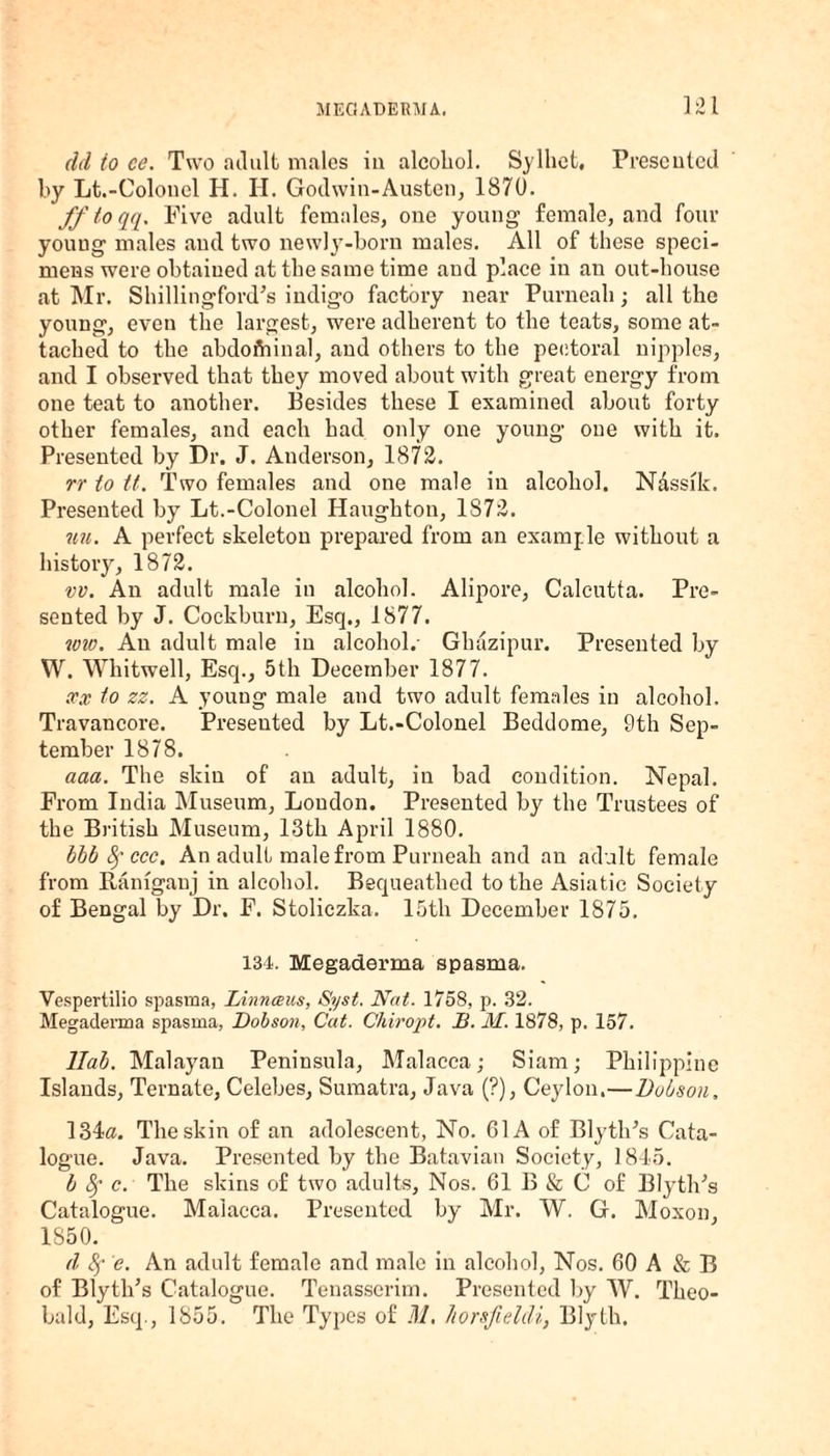 dd to ce. Two ailult males iu alcohol. Sylliet, Prescuted by Lt.-Coloncl H. H. Godwin-Austen, 1870. ff to qq. Five adult females, one young female, and four young males and two newly-born males. All of these speci¬ mens were obtained at the same time and place in an out-house at Mr. Shillingford’s indigo factory near Purneah; all the young, even the largest, were adherent to the teats, some at¬ tached to the abdoftiinal, and others to the pectoral nipples, and I observed that they moved about with great energy from one teat to another. Besides these I examined about forty other females, and each had only one young one with it. Presented by Dr. J. Anderson, 1872. rr to it. Two females and one male in alcohol. Nassik. Presented by Lt.-Colonel Haughton, 1S72. uu. A perfect skeleton prepared from an example without a history, 1872. vv. An adult male in alcohol. Alipore, Calcutta. Pre¬ sented by J. Cockburn, Esq., 1877. ww. An adult male in alcohol.- Ghazipur. Presented by W. Whitwell, Esq., 5th December 1877. xx to zz. A young male and two adult females in alcohol. Travancore. Presented by Lt.-Colonel Beddome, 9th Sep¬ tember 1878. aaa. The skin of an adult, in bad condition. Nepal. From India Museum, Loudon. Presented by the Trustees of the British Museum, 13tli April 1880. bbb Sfccc. An adult male from Purneah and an adult female from lianigauj in alcohol. Bequeathed to the Asiatic Society of Bengal by Dr. F. Stoliczka. 15th December 1875. 134. Megaderma spasma. Vespertilio spasma, Linnceus, Syst. Nat. 1758, p. 32. Megaderma spasma, Dobson, Cat. Chiropt. B. M. 1878, p. 157. llab. Malayan Peninsula, Malacca; Siam; Philippine Islands, Ternate, Celebes, Sumatra, Java (?), Ceylon.—Dobson, 134«. The skin of an adolescent, No. 61A of BlytlPs Cata¬ logue. Java. Presented by the Batavian Society, 1845. b fy c. The skins of two adults, Nos. 61 B & C of BlytlPs Catalogue. Malacca. Presented by Mr. W. G. Moxon, 1850. (I fy e. An adult female and male in alcohol, Nos. 60 A & B of Blyth’s Catalogue. Tenasserim. Presented by W. Theo¬ bald, Esq., 1855. The Types of M, horsfieldi, Blyth.