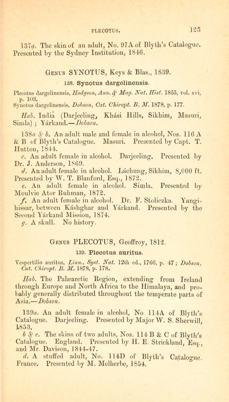 137a. The skin of an adult, No. 97Aof Blyth’s Catalogue. Presented by the Sydney Institution, 1846. Genus SYNOTUS, Iveys & Bias., 1839. 138. Synotus dargelinensis. Plecotus dargelinensis, Hodgson, Ann. Sf Mag. Nat. Hist. 1855, vol. xvi, р. 103. Synotus dargelinensis, Dobson, Cat. Chiropt. D. M. 1878, p. 177. Hab. India (Darjeeling, Khasi Hills, Sikhim, Masuri, Simla) ; Yarkand.—Dobson. 138« Sg b. An adult male and female in alcohol, Nos. 116 A & B of Blyth’s Catalogue. Masuri. Presented by Capt. T. Hutton, 1844. с. An adult female in alcohol. Darjeeling. Presented by Dr. J. Anderson, 1869. d. An adult female in alcohol. Lachung, Sikhim, 8,000 ft. Presented by W. T. Blanford, Esq., 1872. e. An adult female in alcohol. Simla. Presented by Moulvie Ator Kuhnian, 1872. f. An adult female in alcohol. Dr. F. Stoliczka. Yangi- hissar, between Kashghar and Yarkand. Presented by the Second Yarkand Mission, 1874. g. A skull. No history. Genus PLECOTUS, Geoffroy, 1812. 139. Plecotus auritus. Vespertilio auritus, Linn., Syst. Nat. 12tk ed., 1766, p. 47 ; Dobson, Cat. Chiropt. D. M. 1878, p. 178. Hub. The Palaiarctic Region, extending from Ireland through Europe and North Africa to the Himalaya, and pro¬ bably generally distributed throughout the temperate parts of Asia.—Dobson. 139a. An adult female in alcohol, No 114A of Blyth’s Catalogue. Darjeeling. Presented by Major W. S. Shcrwill, 4853. b Sg c. The skins of two adults, Nos. 114 B & C of Blyth’s Catalogue. England. Presented by H. E. Strickland, Esq., and Mr. Davison, 1844-47. d. A stuffed adult, No. 114D of Blyth’s Catalogue. France. Presented by M. Melherbe, 1854.