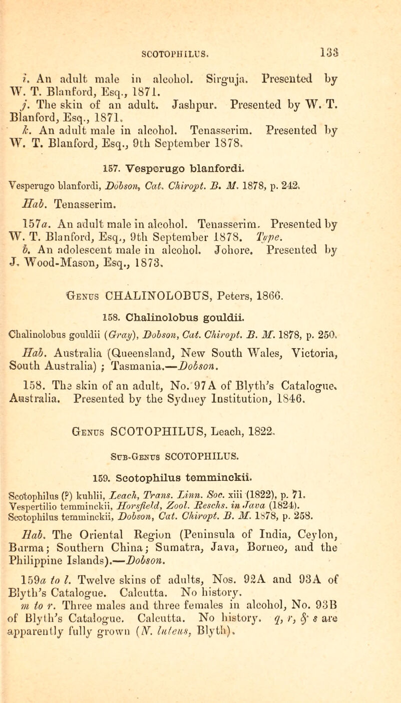 i. An adult male in alcohol. Sirguja. Presented by W. T. Blanford, Esq., 1871. j. The skin of an adult. Jashpur. Presented by W. T. Blanford, Esq., 1871. k. An adult male in alcohol. Tenasserim. Presented by W. T. Blanford, Esq., 9th September 1878. 157. Vesperugo blanfordi. Vesperugo blanfordi, Dobson., Cat. Chiropt. B. M. 1878, p. 242. Ilab. Tenasserim. 157a. An adult male in alcohol. Tenasserim, Presented by W. T. Blanford, Esq., 9th September 1878. Tape. b. An adolescent male in alcohol. Johore. Presented by J, Wood-Mason, Esq., 1873. Genus CHALINOLOBUS, Peters, 1866. 158. Chalinolobus gouldii. Chalinolobus gouldii (Gray), Dobson, Cat. Chiropt. B. M. 1878, p. 250. Hah. Australia (Queensland, New South Wales, Victoria, South Australia) ; Tasmania.—Dobson. 158. The skin of an adult. No. 97 A of BlytVs Catalogue, Australia. Presented by the Sydney Institution, 1846. Genus SCOTOPHILUS, Leach, 1822. Sub-Genus SCOTOPHILUS. 159. Scotophilus temminckii. Scotophilus (?) kulilii, Leach, Trans. Linn. Soc. xiii (1822), p. 71. Vespertilio temminckii, Horsjield, Zool. Resells, in Java (1824). Scotophilus temminckii, Dobson, Cat. Chiropt. B. M. 1878, p. 258. Ilab. The Oriental Region (Peninsula of India, Ceylon, Burma; Southern China; Sumatra, Java, Borneo, and the Philippine Islands).—Dobson. 159a to l. Twelve skins of adults, Nos. 92A and 93A of Blyth’s Catalogue. Calcutta. No history. m to r. Three males and three females in alcohol, No. 93B of Blythes Catalogue. Calcutta. No history, q, r, §' s are apparently fully grown (N. luleiis, Blyth).