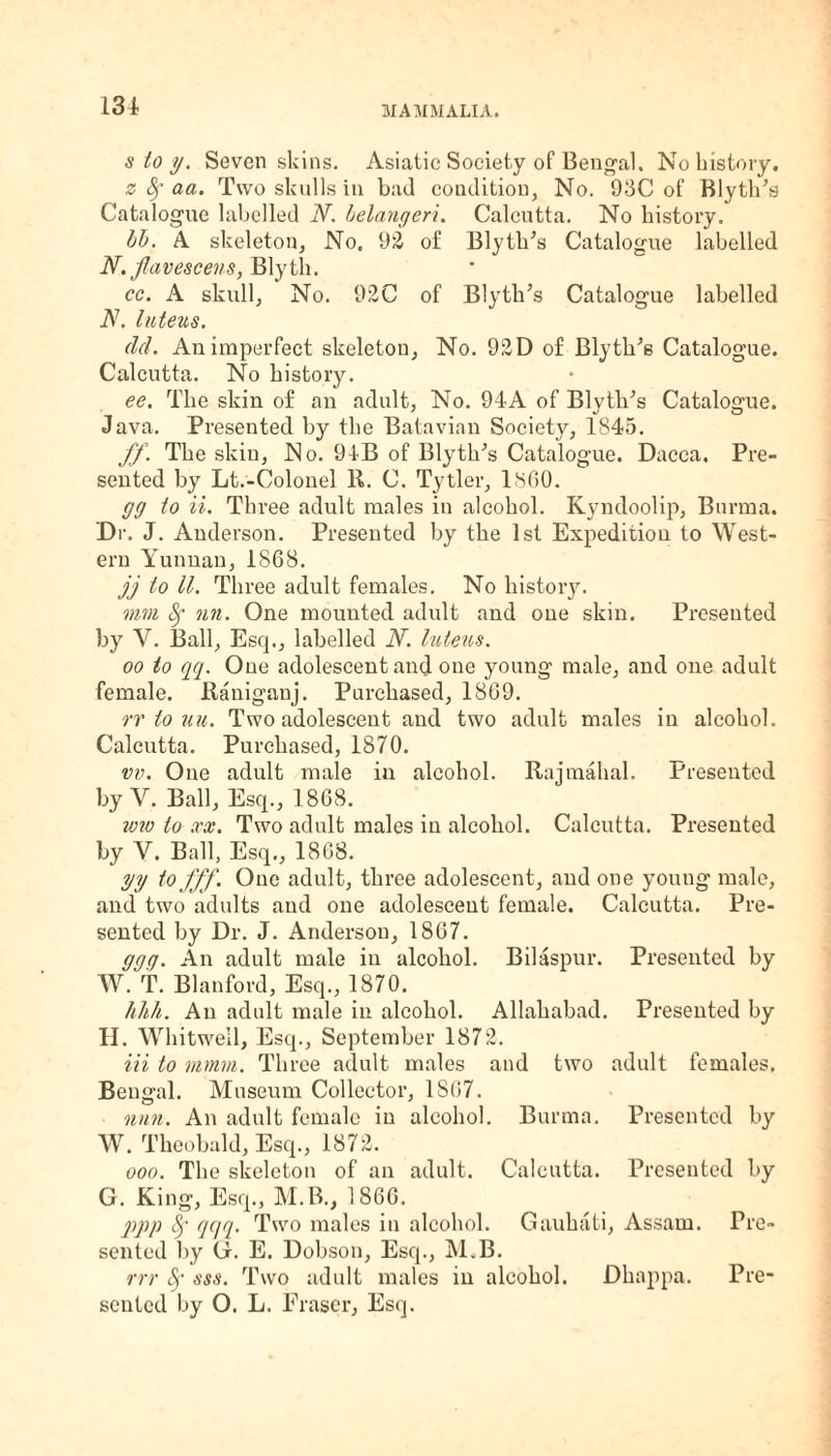 slot/. Seven skins. Asiatic Society of Bengal. No history. z fy aa. Two skulls in bad condition, No. 93C of Blyth’s Catalogue labelled N. belangeri. Calcutta. No history. bb. A skeleton, No. 92 of Blytbls Catalogue labelled N. Jlavescens, Blyth. cc. A skull, No. 92C of Blytli’s Catalogue labelled N. luteus. del. An imperfect skeleton, No. 92D of Blyth’s Catalogue. Calcutta. No history. ee. The skin of an adult, No. 94A of Blvtb’s Catalogue. Java. Presented by the Batavian Society, 1845. ff. The skin, No. 94B of Blyth's Catalogue. Dacca. Pre¬ sented by Lt.-Colonel R. C. Tytler, 1860. gg to ii. Three adult males in alcohol. Kyndoolip, Burma. Dr. J. Anderson. Presented by the 1st Expedition to West¬ ern Yunnan, 1S68. jj to ll. Three adult females. No history. mm fy nn. One mounted adult and one skin. Presented by V. Ball, Esq., labelled N. luteus. oo to qq. One adolescent and one young male, and one adult female. Raniganj. Purchased, 1869. rr to uu. Two adolescent and two adult males in alcohol. Calcutta. Purchased, 1870. vv. One adult male in alcohol. Rajmahal. Presented by Y. Ball, Esq., 1868. wtv to xx. Two adult males in alcohol. Calcutta. Presented by V. Ball, Esq., 1868. yy to fff. One adult, three adolescent, and one young male, and two adults and one adolescent female. Calcutta. Pre¬ sented by Dr. J. Andersou, 1807. ggg. An adult male in alcohol. Bilaspur. Presented by W. T. Blanford, Esq., 1870. hhh. An adult male in alcohol. Allahabad. Presented by II. Whitwell, Esq., September 1872. in to mmm. Three adult males and two adult females. Bengal. Museum Collector, 1S07. nun. An adult female in alcohol. Burma. Presented by W. Theobald, Esq., 1872. ooo. The skeleton of an adult. Calcutta. Presented by G. King, Esq., M.B., 1866. VPP r/(M- Two males in alcohol. Gauhati, Assam. Pre¬ sented by G. E. Dobson, Esq., M,B. rrr fy sss. Two adult males in alcohol. Dhappa. Pre¬ sented by O. L. Eraser, Esq.