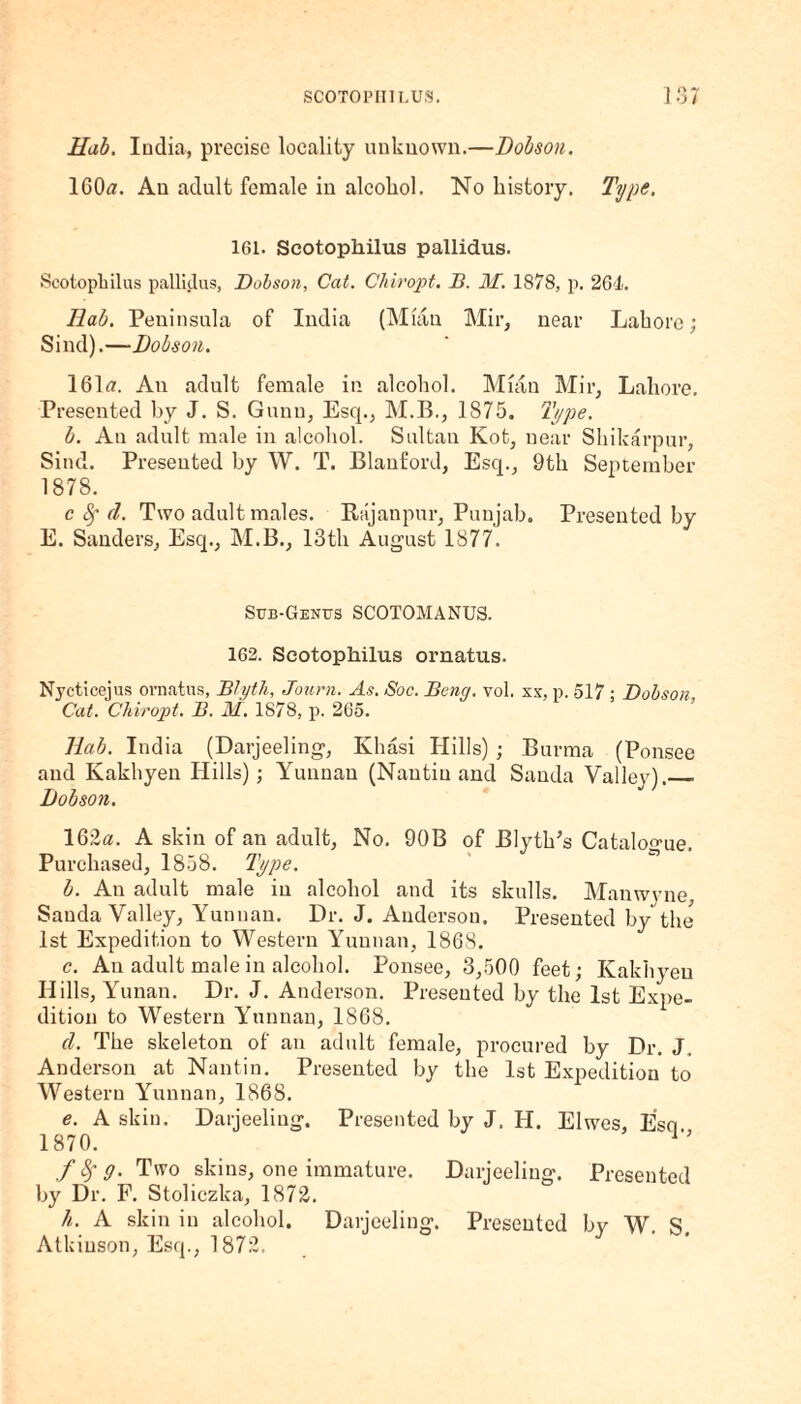 Hub. India, precise locality unknown.—Dobson. IGOtf. An adult female in alcohol. No history. Type. 161. Scotopkilus pallidus. Scotopliilus pallidus, Dobson, Cat. Chi r opt. B. M. 1878, p. 261. Dab. Peninsula of India (Mian Mir, near Lahore; Sind).—-Dobson. 161a. An adult female in alcohol. Mian Mir, Lahore. Presented by J. S. Gunn, Esq., M.B., 1875. Type. b. An adult male in alcohol. Sultan Kot, near Shikarpur, Sind. Presented by W. T. Blanford, Esq., 9th September 1878. c Sf d. Two adult males. Rajanpur, Punjab. Presented by E. Sanders, Esq., M.B., 13th August 1877. Sub-Genus SCOTOMANUS. 162. Scotopkilus ornatus. Nycticejus ornatus, Blyth, Jonrn. As. Soc. Beng. vol. xx, p. 517 ; Dobson Cat. Chiropt. B. M. 1S78, p. 265. Dab. India (Darjeeling, Khasi Hills) ; Burma (Ponsee and Kakhyen Hills); Yunnan (Nautiu and Sanda Valley)._ Dobson. 162a. A skin of an adult, No. 90B of BlytlPs Catalogue. Purchased, 1858. Type. b. An adult male in alcohol and its skulls. Manwyne, Sanda Valley, Yunnan. Dr. J. Anderson. Presented by the 1st Expedition to Western Yunnan, 1868. c. An adult male in alcohol. Ponsee, 3,500 feet; Kakhyen Hills, Yunan. Dr. J. Anderson. Presented by the 1st Expe¬ dition to Western Yunnan, 1868. d. The skeleton of an adult female, procured by Dr. J. Anderson at Nantin. Presented by the 1st Expedition to Western Yunnan, 1868. e. A skin. Darjeeling, Presented by J. IT. Elwes, Esq 1870. ,/Sfff. Two skins, one immature. Darjeeling. Presented by Dr. F. Stoliczka, 1872. h. A skin in alcohol. Darjeeling. Presented bv W. S Atkinson, Esq., 1872.