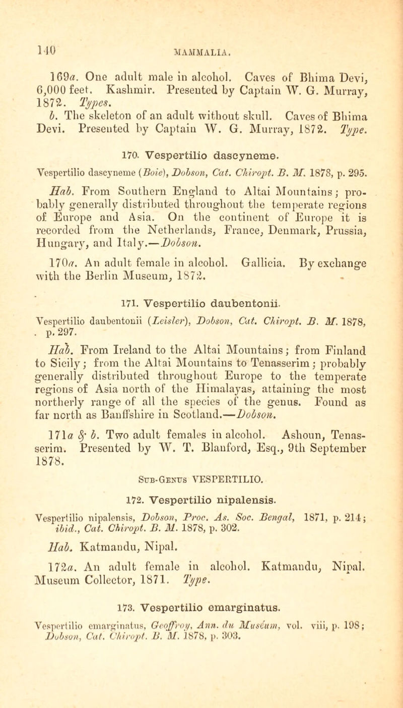 169a. One adult male in alcohol. Caves of Bliima Devi, 6,000 feet. Kashmir. Presented by Captain W. G. Murray, 1872. Types. b. The skeleton of an adult without skull. Caves of Bliima Devi. Presented by Captain W. G. Murray, 1872. Type. 170. Vespertilio dascyneme. Vespertilio dascj’neme (Boie), Dobson, Cat. Chiropt. B. M. 187S, p. 295. Ilab. From Southern England to Altai Mountains; pro¬ bably generally distributed throughout the temperate regions of Europe and Asia. On the continent of Europe it is recorded from the Netherlands, France, Denmark, Prussia, II ungary, and Italy.—Dobson. 170a. An adult female in alcohol. Gallicia. By exchange with the Berlin Museum, 1S72. 171. Vespertilio daubentonii. Vespertilio daubentonii (Leisler), Dobson, Cat. Chiropt. B. M. 1878, . p. 297. Jla'b. From Ireland to the Altai Mountains; from Finland to Sicily; from the Altai Mountains to Tenasserim; probably generally distributed throughout Europe to the temperate regions of Asia north of the Himalayas, attaining the most northerly range of all the species of the genus. Found as far north as Banffshire in Scotland.—Dobson. 171a 8f b. Two adult females in alcohol. Ashoun, Tenas¬ serim. Presented by W. T. Blanford, Esq., 9th September 1878. Sub-Genus VESPERTILIO. 172. Vespertilio nipalensis. Vespertilio nipalensis, Dobson, Proc. As. Soc. Bengal, 1871, p. 214; ibid., Cat. Chiropt. B. M. 1878, p. 302. Ilab. Katmandu, Nipal. 172a. An adult female in alcohol. Katmandu, Nipal. Museum Collector, 1871. Type. 173. Vespertilio emarginatus. Vespertilio emarginatus, Geoffroy, Ann. du Museum, vol. viii, p. 198; Dobson, Cat. Chiropt. B. M. 1878, p. 303.