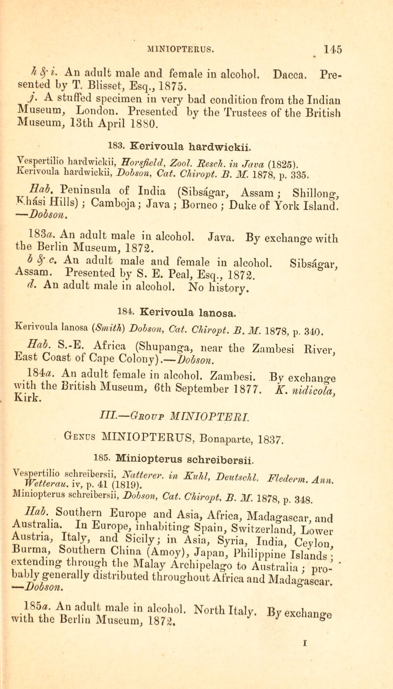 §• i. An adult male and female in alcohol. Dacca. Pre¬ sented by T. Blisset, Esq., 1875. /• A stuffed specimen in very bad condition from the Indian Museum, London. Presented by the Trustees of the British Museum, 13th April 1880. 183. Kerivoula hardwickii. Vespertilio hardwickii, Horsfield, Zool. Resell, in Java (1S25). lvenvoula hardwickii, Dobson, Cat. Chiropt. B. M. 1878, p. 335. Hab. Peninsula of India (Sibsagar, Assam; Shillong, Miasi Hills); Camboja; Java ; Borneo ; Duke of York Island. —Dobson, 1S3«. An adult male in alcohol. Java. By exchange with the Berlin Museum, 1872. b S) c. An adult male and female in alcohol. Sibsagar Assam. Presented by S. E. Peal, Esq., 1872. d. An adult male in alcohol. No history. 184. Kerivoula lanosa. Kerivoula lanosa (Smith) Dobson, Cat. Chiropt. B. M. .1878, p. 340. Hah S.-E Africa (Shupanga, near the Zambesi River, Ageist Coast of Cape Colony).—Dobson. .184a. An adult female in alcohol. Zambesi. By exchange with the British Museum, 6th September 1877. K. nidi cola, Kirk. * III.—Group MINIOPTERI. Genus MINIOPTERUS, Bonaparte, 1837. 185. Miniopterus schreibersii. YT£l^$}S:rer- “ Km’ Miniopterus schreibersii, Dobson, Cat. Chiropt, B. M. 1878, p. 348, Hab. Southern Europe and Asia, Africa, Madagascar, and Australia. In Europe, inhabiting Spain, Switzerland, Lower Austria, Italy, and Sicily; in Asia, Syria, India, Ceylon, Burma, Southern China (Amoy), Japan, Philippine Islands¬ extending through the Malay Archipelago to Australia ; pro¬ bably generally distributed throughout Africa and Madagascar —Dobson. ° ' 185«. An adult male in alcohol. North Italy. Bvexchm^ with the Berlin Museum, 1872. J J ange I