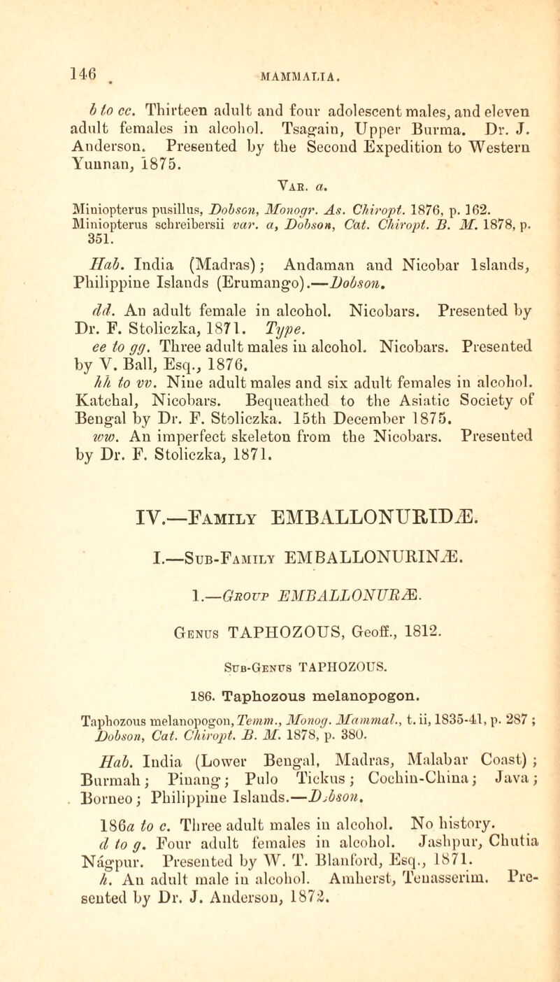 blocc. Thirteen adult and four adolescent males, and eleven adult females in alcohol. Tsagain, Upper Burma. Dr. J. Anderson. Presented by the Second Expedition to Western Yunnan, 1875. Vak. a. Miniopterus pusillus, Dobson, Monogr. As. Chiropt. 1876, p. 162. Miniopterus scln'eibersii var. a, Dobson, Cat. Chiropt. B. M. 1878, p. 351. Ilab. India (Madras); Andaman and Nicobar Islands, Philippine Islands (Erumango).—Dobson. (Id. An adult female in alcohol. Nicobars. Presented by Dr. F. Stoliczka, 1871. Type. ee to gg. Three adult males in alcohol. Nicobars. Presented by Y. Ball, Esq., 1876. hh to vv. Niue adult males and six adult females in alcohol. Katchal, Nicobars. Bequeathed to the Asiatic Society of Bengal by Dr. F. Stoliczka. 15th December 1875. tow. An imperfect skeleton from the Nicobars. Presented by Dr. F. Stoliczka, 1871. IV.—Family EMBALLONURIDiE. I.—Sub-Family EMBALLONURINiE. 1.—Group EMBALLONUBJE. Genus TAPHOZOUS, Geoff., 1812. Sub-Genus TAPHOZOUS. 186. Taphozous melanopogon. Taphozous melanopogon, Temm., Monog. Mammal., t. ii, 1835-41, p. 287 ; Dobson, Cat. Chiropt. B. M. 1878, p. 380. Hah. India (Lower Bengal, Madras, Malabar Coast) ; Burmali; Piuang; Pulo Tickus; Cochin-China; Java; Borneo; Philippine Islands.—Djbson. 186« to c. Three adult males in alcohol. No history. d to g. Four adult females in alcohol. Jaslipur, Chutia Nagpur. Presented by W. T. Blanford, Esq., 1871. k. An adult male in alcohol. Amherst, Teuasserim. Pre¬ sented by Dr. J. Anderson, 1872.