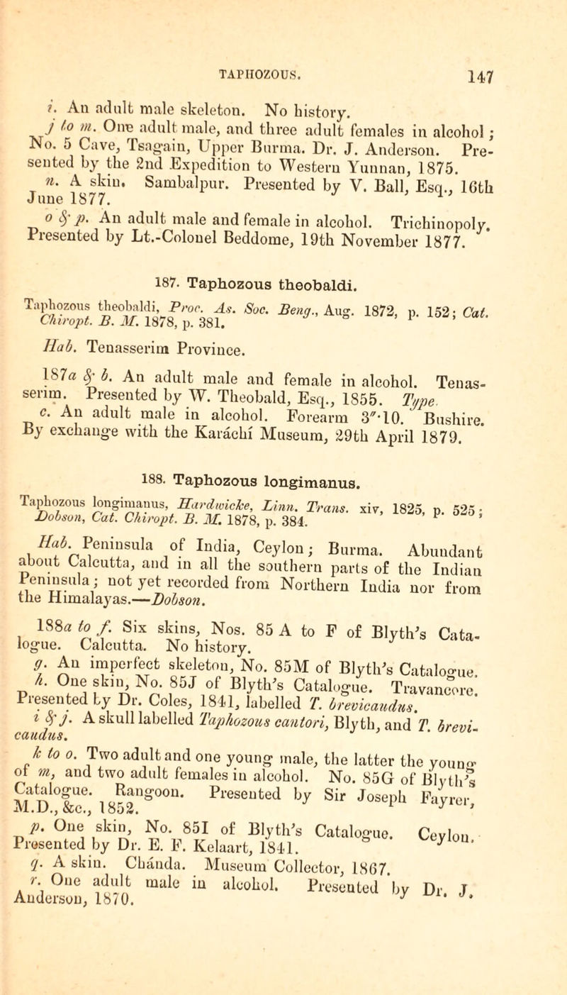 ?. An adult male skeleton. No history. J t'° m‘ Cup adult male, and three adult females in alcohol; No. o Cave, Tsagain, Upper Burma. Dr. J. Anderson. Pre¬ sented by the 2nd Expedition to Western Yunnan, 1875. n. A skin, Sambalpur. Presented by V. Ball, Esq., lGth June 1877. 1 0 §’P‘ An male and female in alcohol. Trichinopoly. Piesented by Lt.-Colouel Beddome, 19th November 1877. 187. Taphozous theobaldi. T‘vaZpl Sfacm™'kt Soe’ im- p- >«> <*■ Hab. Tenasserim Province. 1S7« fyb. An adult male and female in alcohol. Tenas¬ serim. Presented by W. Theobald, Esq., 1855. Type. c. An adult male in alcohol. Forearm 3-10. ' Bushire. By exchange with the Karachi Museum, 29th April 1879. 188. Taphozous longimanus. Taphozous longimanus, Hardwiclce, Linn. Trans Dobson, Cat. Chiropt. B. M. 1878, p. 384. xiv, 1825, p. 525; //«A Peninsula of India, Ceylon; Burma. Abundant about Calcutta, and in all the southern parts of the Indian Peninsula; not yet recorded from Northern India nor from the Himalayas.—Dodson. 188a to/. Six skins. Nos. 85 A to F of Blyth's Cata¬ logue. Calcutta. No history. g. An imperfect skeleton, No. 85M of Blyth's Catalogue h. One skin No. 85J of Blyth's Catalogue. Travancore! Presented by Dr. Coles, 1841, labelled T. brevicaudm. 1 o,'J. A skull labelled Taphozous canton, Blyth, and T brevi caudus. lc to 0. Two adult and one young male, the latter the youn- ot m, and two adult females in alcohol. No. 85G of BlytlFs Fayrer, Catalogue. Rangoon. Presented by Sir Joseph M.D.,&c., 1852. 1 p. One skin. No. 851 of Blyth's Catalogue Presented by Dr. E. F. Kelaart, 1841. ° q. A skin. Chanda. Museum Collector, 18(37 r. One adult mule in alcohol. Presented ‘by Anderson, 1870. J Ceylon, Dr. J.