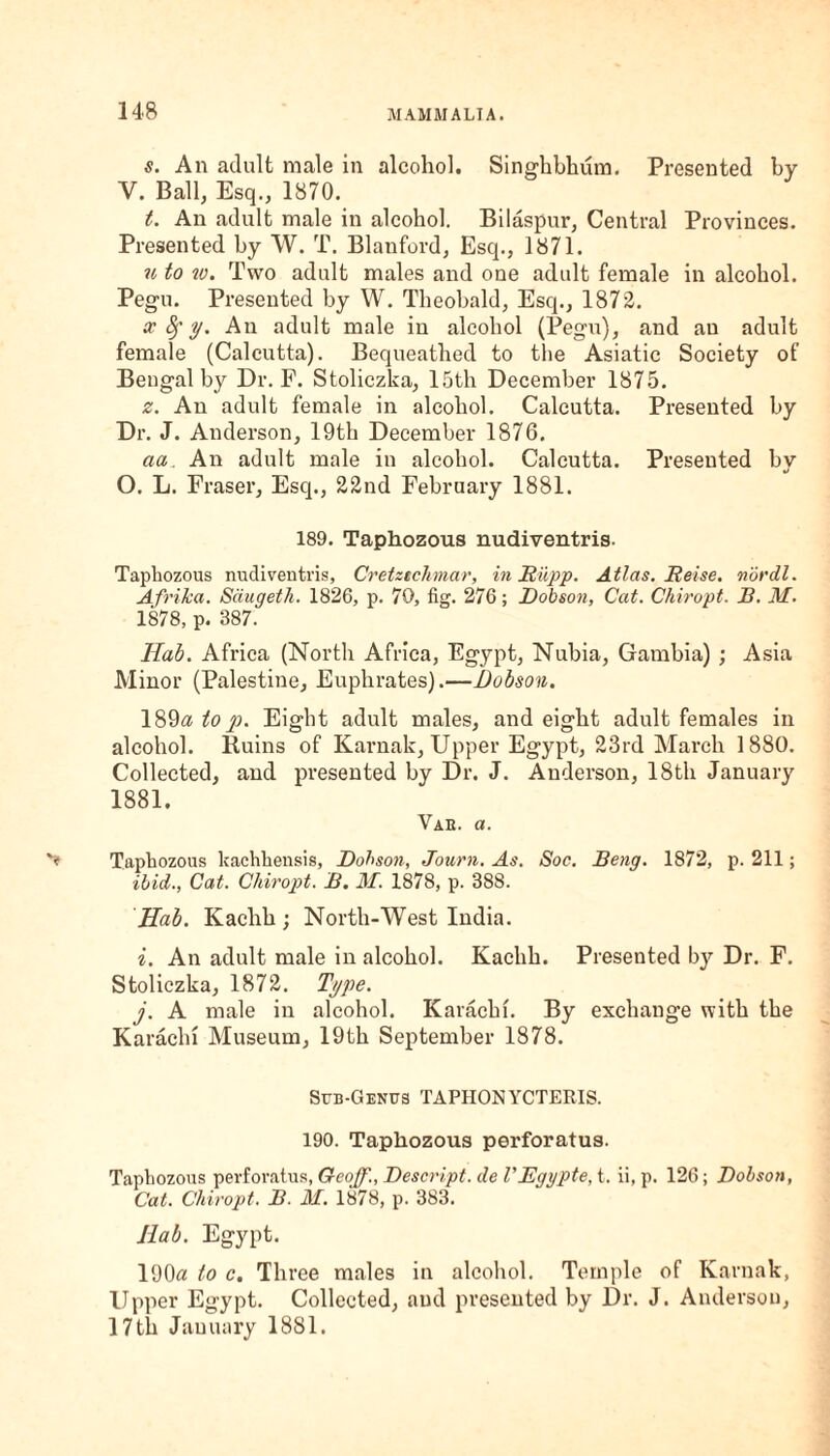 s. An adult male in alcohol. Singhbhum. Presented by V. Ball, Esq., 1870. t. An adult male in alcohol. Bilaspur, Central Provinces. Presented by W. T. Blanford, Esq., 1871. u to iv. Two adult males and one adult female in alcohol. Pegu. Presented by W. Theobald, Esq., 1872. x fy y. An adult male in alcohol (Pegu), and an adult female (Calcutta). Bequeathed to the Asiatic Society of Bengal by Dr. F. Stoliczka, 15th December 1875. z. An adult female in alcohol. Calcutta. Presented by Dr. J. Anderson, 19th December 1876. aa. An adult male in alcohol. Calcutta. Presented by O. L. Fraser, Esq., 22nd February 1881. 189. Taphozous nudiventris- Tapliozous nudiventris, Cretztchnar, in Rupp. Atlas. Reise. nordl. Afrika. Sdugeth. 1826, p. 70, fig. 276; Robson, Cat. Chiropt. B. M. 1878, p. 387. Hab. Africa (North Africa, Egypt, Nubia, Gambia) ; Asia Minor (Palestine, Euphrates).—Dobson. 189a to p. Eight adult males, and eight adult females in alcohol. Ruins of Karnak, Upper Egypt, 23rd March 1880. Collected, and presented by Dr. J. Anderson, 18th January 1881. Vab. a. Taphozous kachhensis, Robson, Journ. As. Soc. Beng. 1872, p. 211; ibid., Cat. Chiropt. B. M. 1878, p. 388. Hab. Kachh ; North-West India. i. An adult male in alcohol. Kachh. Presented by Dr. F. Stoliczka, 1872. Type. j. A male in alcohol. Karachi. By exchange with the Karachi Museum, 19th September 1878. Sub-Genus TAPHONYCTERIS. 190. Taphozous perforatus. Taphozous perforatus, Geoff., Rescript, de VEgypte, t. ii, p. 126; Robson, Cat. Chiropt. B. M. 1878, p. 383. Hab. Egypt. 190a to c. Three males in alcohol. Temple of Karnak, Upper Egypt. Collected, and presented by Dr. J. Anderson, 17th January 18S1.