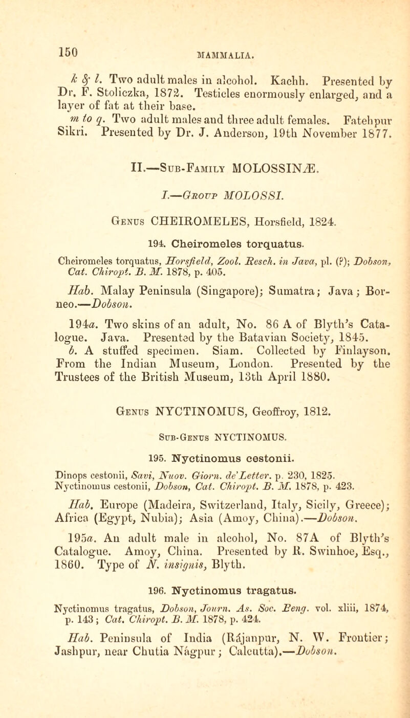 k Sf l. Two adult males in alcohol. Kachb. Presented by Dr. F. Stoliczka, 1872. Testicles enormously enlarged, and a layer of fat at their base. m to q. Two adult males aud three adult females. Fatehpur Sikri. Presented by Dr. J. Anderson, 19th November 1877. II.—Sub-Family MOLOSSINiE, I.—Grovp MOLOSSI. Genus CHEIROMELES, Horsfield, 1824. 194. Cheiromeles torquatus. Cheiromeles torquatus, Horsfield, Zool. Resell, in Java, pi. (?); Dobson, Cat. Chiropt. B. M. 1878, p. 405. Hab. Malay Peninsula (Singapore); Sumatra; Java; Bor¬ neo.—Dobson. 194a. Two skins of an adult, No. 86 A of Blyth’s Cata¬ logue. Java. Presented by the Batavian Society, 1845. b. A stuffed specimen. Siam. Collected by Fiulayson, From the Indian Museum, London. Presented by the Trustees of the British Museum, 13th April 1880. Genus NYCTINOMUS, Geoffroy, 1812. Sub-Genus NYCTINOMUS. 195. Nyctinomus cestonii. Dinops cestonii, Savi, Nnov. Giorn. de'Letter, p, 230, 1825. Nyctinomus cestonii, Dobson, Cat. Chiropt. B. M. 1878, p. 423. Ilab. Europe (Madeira, Switzerland, Italy’-, Sicily, Greece); Africa (Egypt, Nubia); Asia (Amoy, China).—Dobson. 195a. An adult male in alcohol, No. 87A of BlytlFs Catalogue. Amoy, China. Presented by It. Swinhoe, Esq., 1860. Type of N. insignis, Blyth. 196. Nyctinomus tragatus. Nyctinomus tragatus, Dobson, Journ. As. Soe. Beng. vol. xliii, 1874, p. 143 ; Cat. Chiropt. B. M. 1878, p. 424. Ilab. Peninsula of India (R£janpur, N. W. Frontier; Jashpur, near Chutia Nagpur; Calcutta).—Dobson.