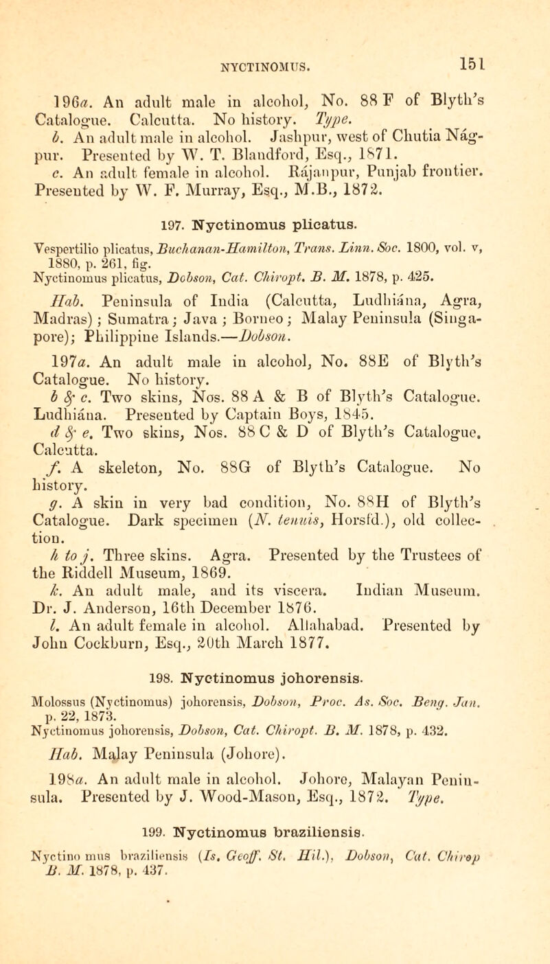 NYCTINOMUS. 196#. An adult male in alcohol, No. 88 F of Blyth’s Catalogue. Calcutta. No history. Type. b. An adult male in alcohol. Jashpur, west of Chutia Nag¬ pur. Presented by W. T. Blaudford, Esq., 1871. c. An adult female in alcohol. Rajanpur, Punjab frontier. Presented by W. P. Murray, Esq., M.B., 1872. 197. Nyetinomus plicatus. Vespertilio plicatus, Buchanan-Hamilton, Trans. Linn.Soc. 1800, vol. v, 1880, p. 261, fig. Nyetinomus plicatus, Dobson, Cat. Chiropt. B. M. 1878, p. 425. Hob. Peninsula of India (Calcutta, Ludhiana, Agra, Madras) ; Sumatra; Java ; Borneo; Malay Peninsula (Singa¬ pore); Philippine Islands.—Dobson. 197a. An adult male in alcohol, No. 88E of BlytlPs Catalogue. No history. b fy c. Two skins, Nos. 88 A & B of Blythes Catalogue. Ludhiana. Presented by Captain Boys, 1845. d fy e. Two skins, Nos. 88C& D of Blyth's Catalogue. Calcutta. f. A skeleton, No. 88G of Blyth’s Catalogue. No history. g. A skin in very bad condition, No. 88H of BlytlPs Catalogue. Dark specimen (N. tenuis, Horsfd.), old collec¬ tion. h to j. Three skins. Agra. Presented by the Trustees of the Riddell Museum, 1869. k. An adult male, and its viscera. Indian Museum. Dr. J. Anderson, 16th December 1876. l. An adult female in alcohol. Allahabad. Presented by John Cockburn, Esq., 20th March 1877. 198. Nyetinomus johorensis. Molossus (Nyetinomus) johorensis, Dobson, Proc. As. Soc. Beng. Jan. p. 22, 1873. Nyetinomus johorensis, Dobson, Cat. Chiropt. B. M. 1878, p. 432. Hub. Malay Peninsula (Johore). 198a. An adult male in alcohol. Johore, Malayan Penin¬ sula. Presented by J. Wood-Mason, Esq., 1872. Type. 199. Nyetinomus braziliensis. Nyctino mus braziliensis (Is, Geoff. St, Hil.), Dobson, Cat. Chimp B. M. 1878, p. 437.