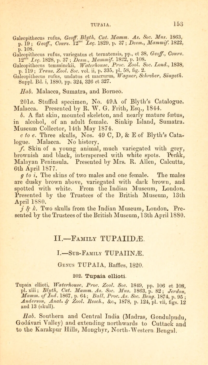 Galeopithecus rufus, Geoff. Blytli, Cat. Mamm. As. Sue. Mils. 1863, p. 19 ; Geoff., Cours. 12'“ Leg. 1829, p. 37; Desm., Mammif. 1822, p. 108. Galeopithecus rufus, variegatus et ternatensis, pp., et 38, Geoff., Cours. 12,1,e Leg. 1828, p. 37 ; Desm., Mammif. 1822, p. 108.( Galeopithecus temminckii, 'Waterhouse, Proc. Zool. Soc. Pond., 1838, p. 119; Trans. Zool. Soc. vol. ii, p. 335, pi. 58, fig. 2. Galeopithecus rufus, undatus et macruvus, Wagner, Schreher, Sdugeth. Suppl. Bd. i, 1880, pp. 324, 326 et 327. Bab. Malacca, Sumatra, and Borneo. 201«. Stuffed specimen, No. 49A of Blythes Catalogue. Malacca. Presented by R. W. G. Frith, Esq., 1844. b. A flat skin, mounted skeleton, and nearly mature foetus, in alcohol, of an adult female. Sinkip Island, Sumatra. Museum Collector, I4tli May 1874. c to e. Three skulls, Nos. 49 C, D, & E of Blythes Cata¬ logue. Malacca. No history. f. Skin of a young animal, much variegated with grey, brownish and black, interspersed with white spots. Perak, Malayan Peninsula. Presented by Mrs. R. Allen, Calcutta, 6th April 1877. g to i. The skins of two males and one female. The males are dusky brown above, variegated with dark brown, and spotted with white. From the Indian Museum, Loudon. Presented by the Trustees of the British Museum, 13th April 1880. j li. Two skulls from the Indian Museum, London. Pre¬ sented by the Trustees of the British Museum, 13th April 1880. II.—Family TUPAIIDiE. I.—Sub-Family TUPAIINAl. Genus TUPAIA, Raffles, 1820. 202. Tupaia ellioti. Tupaia ellioti, Waterhouse, Proc. Zool. Soc. 1849, pp. 106 et 108, pi. xiii; Blyth, Cat. Mamm. As. Soc. M'us. 1863, p. 82; Jerdon, Mamm. oflnd. 1867, p. 64; Ball, Proc. As. Soc. Beng. 1874, p. 95 • Anderson, Anat. Sr Zool. Resch., &c., 1878, p. 124, pi. vii, fie\s. 12 and 13 (skull). Hah. Southern and Central India (Madras, Gondulpudu, Godavari Valley) and extending northwards to Cuttack and to the Karakpur Hills, Monghyr, North-Western Bengal.