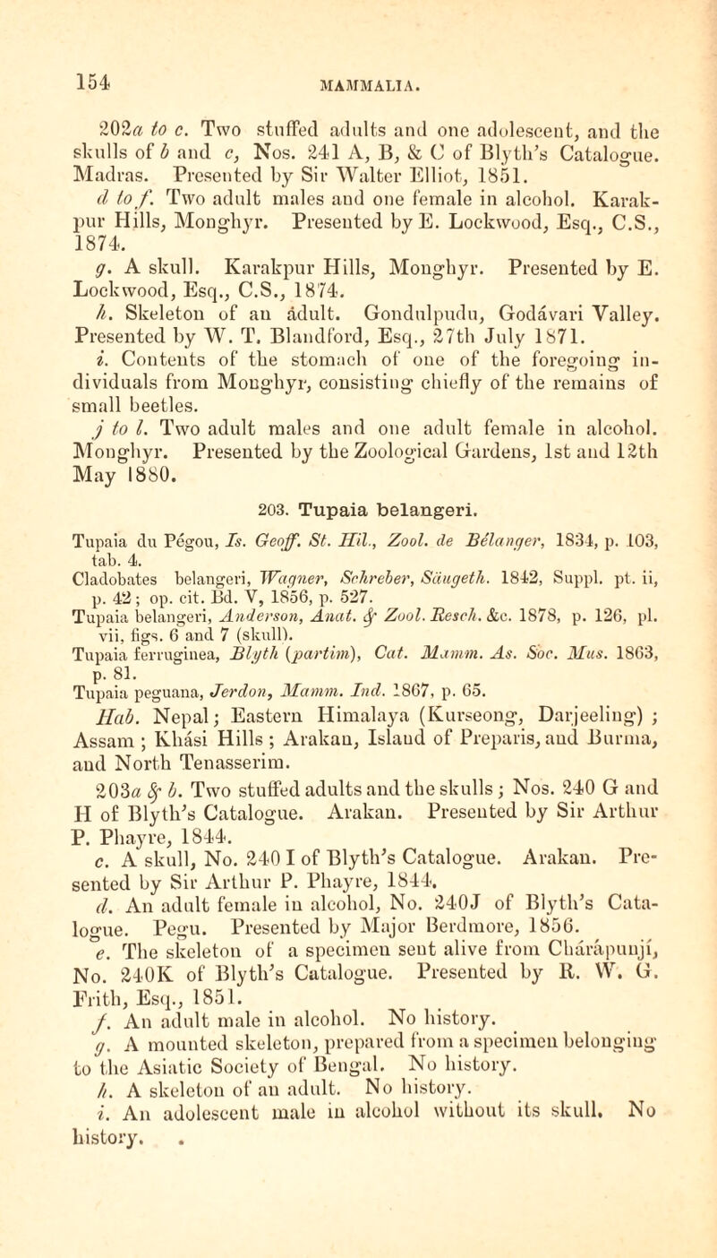 202a to c. Two stuffed adults and one adolescent, and the skulls of b and c, Nos. 241 A, B, & C of Blyth’s Catalogue. Madras. Presented by Sir Walter Elliot, 1851. d to f. Two adult males and one female in alcohol. Karak- pur Hills, Monghyr. Presented byE. Lockwood, Esci., C.S., 1874. g. A skull. Karakpur Hills, Monghyr. Presented by E. Lockwood, Esq., C.S., 1874. h. Skeleton of an adult. Gondulpudu, Godavari Valley. Presented by W. T. Blandford, Esq., 27th July 1871. i. Contents of the stomach of one of the foregoing in¬ dividuals from Monghyr, consisting chiefly of the remains of small beetles. j to l. Two adult males and one adult female in alcohol. Monghyr. Presented by the Zoological Gardens, 1st and 12th May 1880. 203. Tupaia belangeri. Tupaia du Pegou, Is. Geoff. St. HXl., Zool. cle Belanger, 1834, p. 103, tab. 4. Cladobates belangeri, Wagner, Schreber, Sdugetli. 1842, Suppl. pt. ii, p. 42; op. cit. Bd. V, 1856, p. 527. Tupaia belangeri, Anderson, Anat. Sf Zool. Resell. &c. 1878, p. 126, pi. vii, figs. 6 and 7 (skull). Tupaia ferruginea, Blyth (partini), Cat. Mamm. As. Soe. Mus. 1863, р. 81. Tupaia peguana, Jerdon, Mamm. Ind. 1867, p. 65. Hub. Nepal; Eastern Himalaya (Kurseong, Darjeeling) ; Assam ; Kliasi Hills ; Arakan, Island of Preparis, and Burma, and North Tenasserim. 203a Sf b. Two stuffed adults and the skulls ; Nos. 240 G and I-I of BlytlPs Catalogue. Arakan. Presented by Sir Arthur P. Phayre, 1844. с. A skull, No. 240 I of BlytlPs Catalogue. Arakan. Pre¬ sented by Sir Arthur P. Phayre, 1844, d. An adult female in alcohol, No. 240J of Blyth’s Cata¬ logue. Pegu. Presented by Major Berdmore, 1856. e. The skeleton of a specimen seut alive from Charapuuji, No. 240K of BlytlEs Catalogue. Presented by R. W. G. Frith, Esq., 1851. /. An adult male in alcohol. No history. g. A mounted skeleton, prepared from a specimen belonging to the Asiatic Society of Bengal. No history. //. A skeleton of an adult. No history. i. An adolescent male in alcohol without its skull. No history.