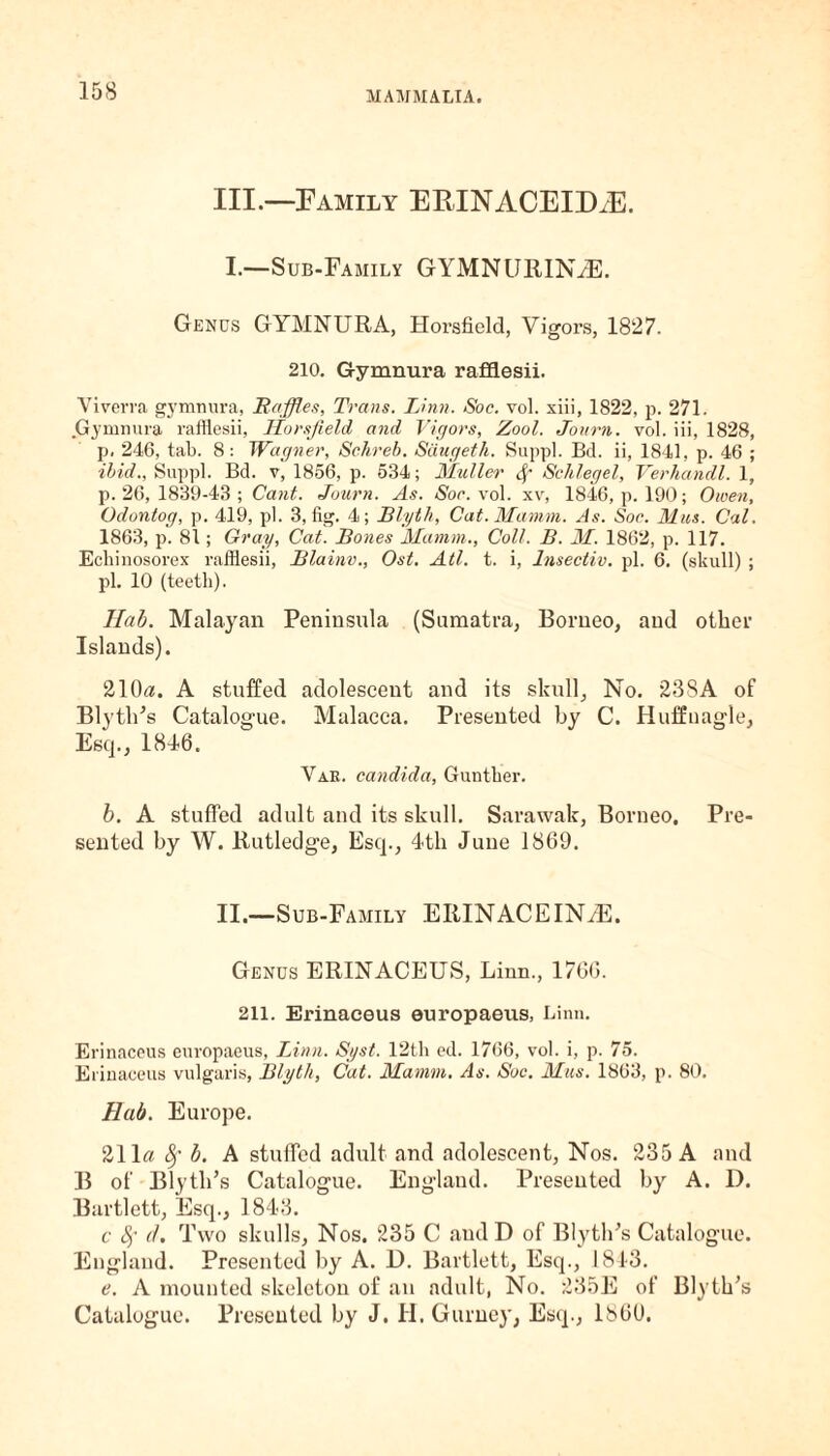 III.—Family ERINACEID/E. I.—Sub-Family GYMNURINiE. Genus GYMNURA, Hoi’sfield, Vigors, 1827. 210. Gymnura rafflesii. Viverra gymnura, Raffles, Trans. Linn. Soc. vol. xiii, 1822, p. 271. Gymnura rafflesii, Horsjield and Vigors, Zool. Journ. vol. iii, 1828, p. 246, tab. 8: Wagner, Schreb. Siiugeth. Suppl. Bd. ii, 1841, p. 46 ; ibid., Suppl. Bd. v, 1856, p. 534; Muller Sf Schlegel, Verhandl. 1, p.26,1839-43; Cant. Journ. As. Son. vol. xv, 1846, p. 190; Owen, Odontog, p. 419, pi. 3, fig. 4; Blyth, Cat. Mamm. As. Soc. Mus. Cal. 1863, p. 81; Gray, Cat. Bones Mamm., Coll. B. M. 1862, p. 117. Echinosorex rafflesii, Blainv., Ost. Atl. t. i, Insectiv. pi. 6. (skull) ; pi. 10 (teeth). Hal. Malayan Peninsula (Sumatra, Borneo, and other Islands). 210a. A stuffed adolescent and its skull. No. 238A of Blyth’s Catalogue. Malacca. Presented by C. Huffnagle, Esq., 1846. Var. Candida, Gunther. b. A stuffed adult and its skull. Sarawak, Borneo. Pre¬ sented by W. Rutledge, Esq., 4th June 1869. II.—Sub-Family ERINACEIN^E. Genus ERINACEUS, Linn., 1766. 211. Erinaceus europaeus, Linn. Erinaceus europaeus, Linn. Syst. 12th ed. 1766, vol. i, p. 75. Erinaceus vulgaris, Blyth, Cat. Mamm. As. Soc. Mus. 1863, p. 80. Hal. Europe. 21 la Sj' b. A stuffed adult and adolescent, Nos. 235 A and B of Blytli’s Catalogue. England. Presented by A. D. Bartlett, Esq., 1843. c 8f d. Two skulls, Nos. 235 C and D of Blyth’s Catalogue. England. Presented by A. D. Bartlett, Esq., 1843. e. A mounted skeleton of an adult, No. 235E of Blyth’s Catalogue. Presented by J. H. Gurney, Esq., i860.