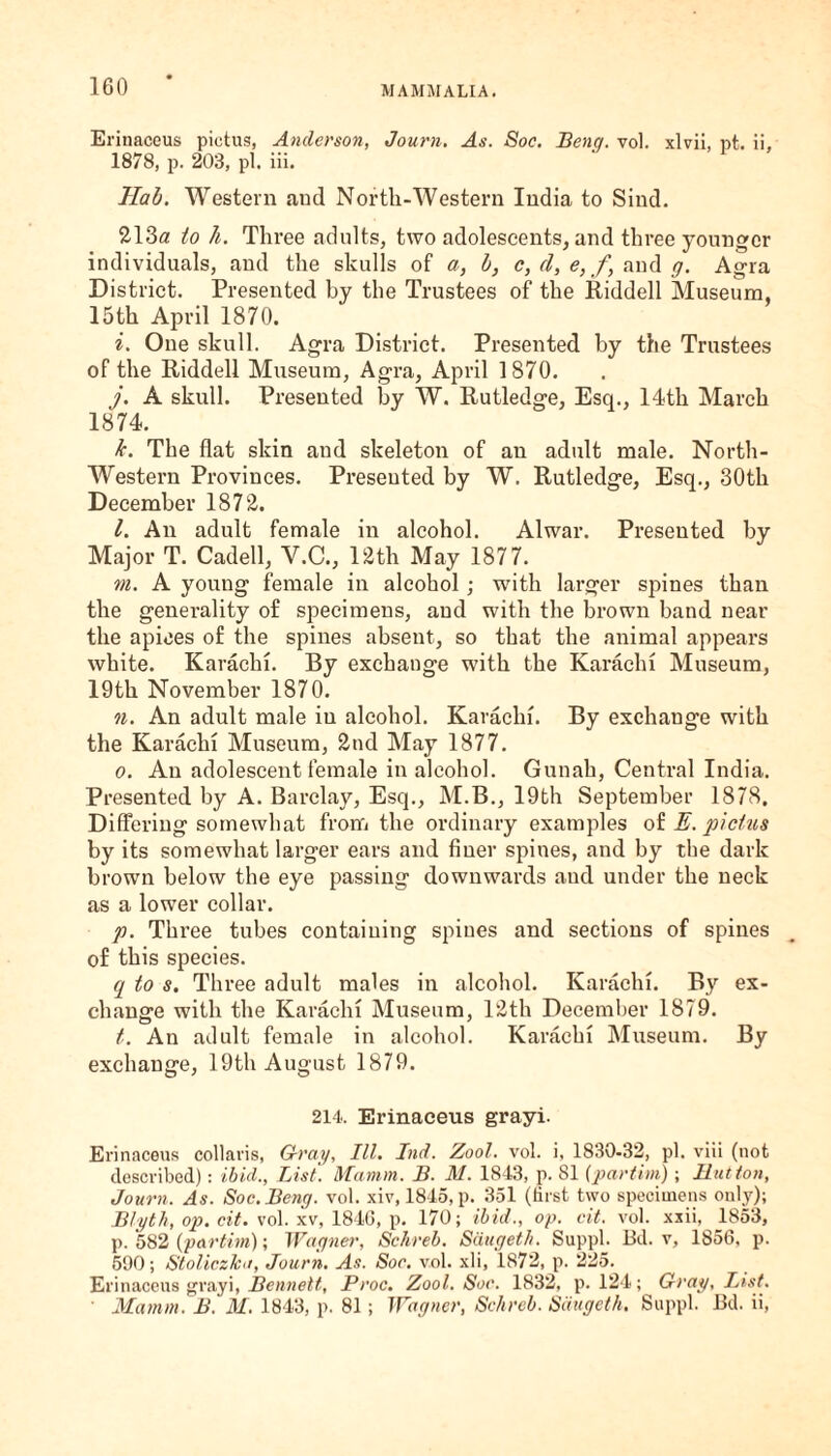 Erinaceus pictus, Anderson, Journ. As. Soc. Bene/, vol. xlvii, pt. ii, 1878, p. 203, pi. iii. Had. Western and North-Western India to Sind. 213<z to h. Three adults, two adolescents, and three younger individuals, and the skulls of a, d, c, d, e, f, and g. Agra District. Presented by the Trustees of the Riddell Museum, 15th April 1870. i. One skull. Agra District. Presented by the Trustees of the Riddell Museum, Agra, April 1870. j. A skull. Presented by W. Rutledge, Escp, 14th March 1874. tc. The flat skin and skeleton of an adult male. North- Western Provinces. Presented by W. Rutledge, Esq., 30th December 1872. l. An adult female in alcohol. Alwar. Presented by Major T. Cadell, V.C., 12th May 1877. m. A young female in alcohol ; with larger spines than the generality of specimens, and with the brown band near the apices of the spines absent, so that the animal appears white. Karachi. By exchange with the Karachi Museum, 19th November 1870. n. An adult male iu alcohol. Karachi. By exchange with the Karachi Museum, 2nd May 1877. o. An adolescent female in alcohol. Gunah, Central India. Presented by A. Barclay, Esq., M.B., 19th September 1878. Differing somewhat from the ordinary examples of E. pictus by its somewhat larger ears and finer spines, and by the dark brown below the eye passing downwards and under the neck as a lower collar. p. Three tubes containing spines and sections of spines of this species. q to s. Three adult males in alcohol. Karachi. By ex¬ change with the Karachi Museum, 12th December 1879. t. An adult female in alcohol. Karachi Museum. By exchange, 19th August 1879. 214. Erinaceus grayi. Erinaceus collaris, Gray, III. Ind. Zool. vol. i, 1830-32, pi. viii (not described): ibid., List. Mamm. B. M. 1843, p. SI (partim); Ilutton, Journ. As. Soc.Beng. vol. xiv, 1845, p. 351 (first two specimens only); Blyth, op. cit. vol. xv, 184G, p. 170; ibid., op. cit. vol. xxii, 1853, p. 582 (partim); Wagner, Schreb. Sdugeth. Suppl. Bd. v, 1856. p. 590; Stoliczlcu, Journ. As. Soc. vol. xli, 1872, p. 225. Erinaceus grayi, Bennett, Proc. Zool. Soc. 1832, p. 124; Gray, List. • Mamm. B. M. 1843, p. 81; Wagner, Schreb. Sdugeth. Suppl. Bd. ii,
