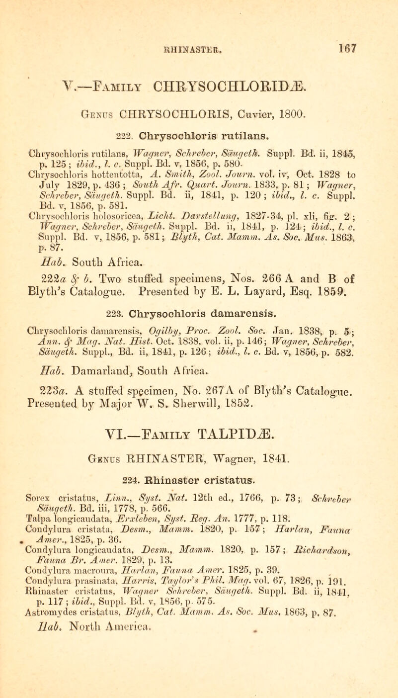 V.—Family CIIHYSOCHLORIDiE. Genus CHRYSOCHLORIS, Cuvier, 1800. 222. Chi’ysoehloris rutilans. Chrysochloris rutilans, Wagner, Schreber, Saugeth. Suppl. Bd. ii, 1845, p. 125; ibid., 1. c. Suppl. Bd. v, 1850, p. 580. Chrysochloris hottentotta, A. Smith, Zool. Journ. vol. iv, Oct. 1828 to July 1829, p. 436 ; South Afr. Quart. Journ. 1833, p. 81; Wagner, Schreber, Saugeth. Suppl. Bd. ii, 1841, p. 120 ; ibid,, l. c. Suppl. Bd. v, 1856, p. 581. Chrysochloris holosoricea, Licht. Darstellung, 1827-34, pi. xli, fig. 2 ; Wagner, Schreber, Saugeth. Suppl. Bd. ii, 1841, p. 124; ibid., 1. c. Suppl. Bd. v, 1856, p. 581; Blyth, Cat. Mamm. As. Soc. Mas. 1863, p. 87. Hub. South Africa. 222« 8f b. Two stuffed specimens, Nos. 266 A and B of Elytli’s Catalogue. Presented by E. L. Layard, Esq. 1859. 223. Chrysochloris damarensis. Chrysochloris damarensis, Ogilby, Proe. Zool, Soc. Jan. 1838, p. 5; Ann. Mag. Nat. Hist. Oct. 1838, vol. ii, p. 146; Wagner, Schreber, Saugeth. Suppl., Bd. ii, 1841, p. 126; ibid., 1. c. Bd. v, 1856, p. 582. Hab. Damarhmd, South Africa. 223a. A stuffed specimen, No. 267A of Blyth’s Catalogue. Presented by Major W. S. Sherwill, 1852. VI.—Family TALPID2E. Genus RHINASTER, Wagner, 1841. 224. Rhinaster cristatus. Sorex cristatus, Linn., Syst. Nat. 12th ed., 1766, p. 73; Schreber Saugeth. Bd. iii, 1778, p. 566. Talpa longicaudata, Erxleben, Syst. Reg. An. 1777, p. 118. Coudylura cristata, Desm., Mamm. 1820, p. 157; Harlan, Fauna . Amer., 1825, p. 36. Coudylura longicaudata, Desm., Mamm. 1820, p. 157; Richardson, Fauna Br. Amer. 1829, p. 13. Condylura macroura, Harlan, Fauna Amer. 1825, p. 39. Coudylura praeinata, Harris, Taylor's Phil. Mag. vol. 67, 1826, p. 191. Rhinaster cristatus, Wagner Schreber, Saugeth. Suppl. Bd. ii, 1841. p. 117 ; ibid., Suppl. Bd. v, 1856, p. 575. Astromydes cristatus, Blyth, Cat. Mamm. As. Soc. Mus, 1863, p. 87. Hub. North America.
