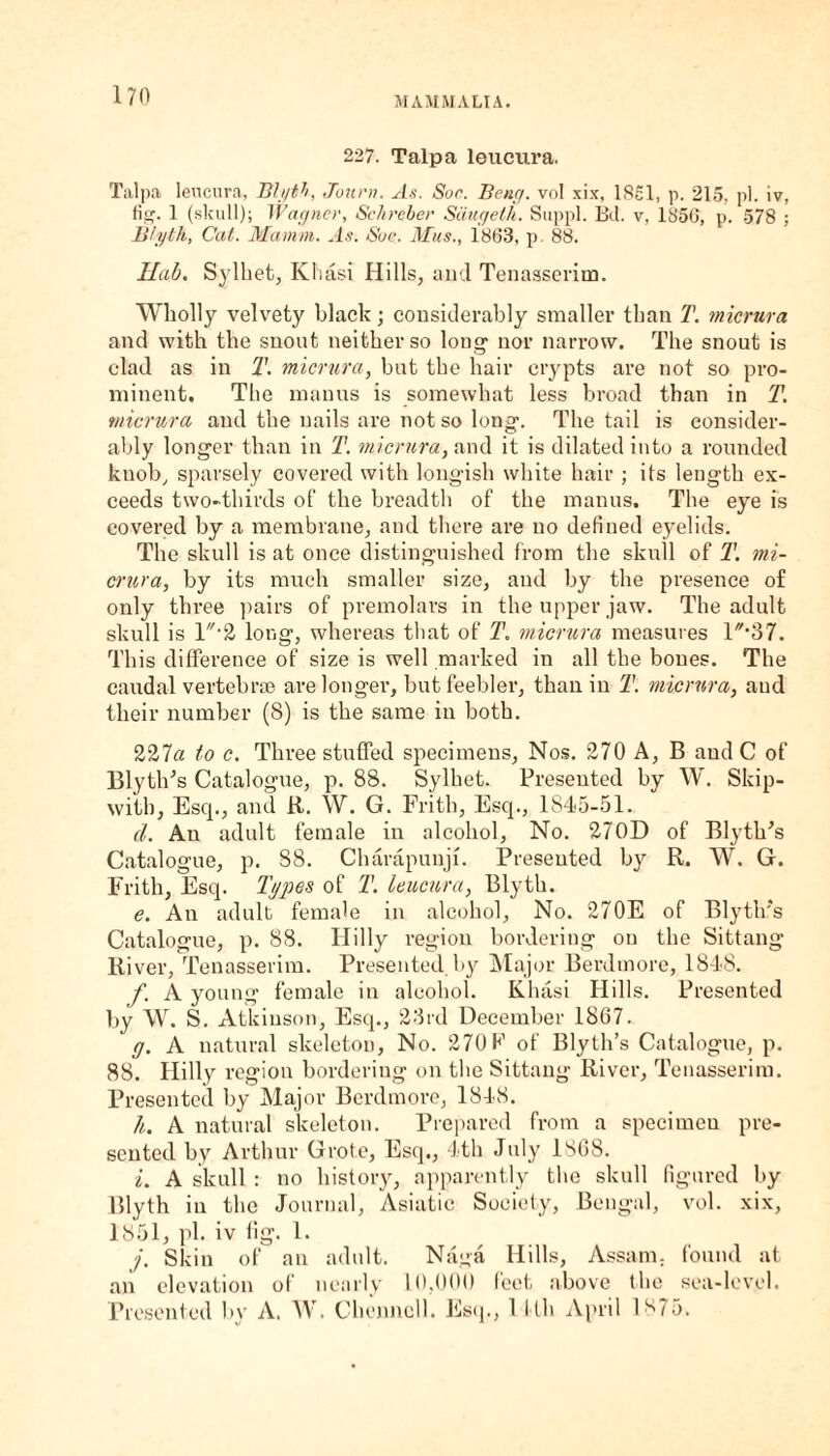 227. Talpa leucura. Talpa leucura, Blyt7), Journ. As. Sue. Bene/, vol xix, 1851, p. 215. pi. iv, fig. 1 (skull); Wagner, Sehreber Saugeth. Suppl. Bd. v, 1856, p. 578 ; Blytli, Cat. Mamm. As. Sue. Mus., 1863, p. 88. Hub. Sylhet, Khasi Hills, and Tenasserim. Wholly velvety black; considerably smaller than T. micrura and with the snout neither so long- nor narrow. The snout is clad as in T. micrura, but the hair crypts are not so pro¬ minent. Tlie man us is somewhat less broad than in T. micrura and the nails are not so long1. The tail is consider¬ ably longer than in T. micrura, and it is dilated into a rounded knob, sparsely covered with longish white hair ; its length ex¬ ceeds two-thirds of the breadth of the manus. The eye is covered by a membrane, and there are no defined eyelids. The skull is at once distinguished from the skuil of T. mi¬ crura, by its much smaller size, and by the presence of only three pairs of premolars in the upper jaw. The adult skull is 1'2 long, whereas that of 1\ micrura measures 1^*37. This difference of size is well marked in all the bones. The caudal vertebrae are longer, but feebler, than in T. micrura, and their number (8) is the same in both. 221a to c. Three stuffed specimens, Nos. 270 A, B and C of BlytlPs Catalogue, p. 88. Sylhet. Presented by W. Skip- with. Esq., and it. W. G. Frith, Esq., 1845-51. d. Au adult female in alcohol, No. 270D of Blyth's Catalogue, p. 88. Charapunji. Preseuted by R. W. G. Frith, Esq. Types of T. leucura, Blyth. e. An adult female in alcohol, No. 270E of Blyttrs Catalogue, p. 88. Hilly region bordering on the Sittang River, Tenasserim. Presented by Major Berdtnore, 1848. f. A young female in alcohol. Kluisi Hills. Presented by W. S. Atkinson, Esq., 23rd December 1867. g. A natural skeleton, No. 270F of Blyth’s Catalogue, p. 88. Hilly region bordering on the Sittang River, Tenasserim. Presented by Major Berdmore, 1848. h. A natural skeleton. Prepared from a specimeu pre¬ sented by Arthur Grote, Esq., 4th July 1868. i. A skull : no history, apparently the skull figured by Blyth in the Journal, Asiatic Society, Bengal, vol. xix, 1851, pi. iv fig. 1. j. Skin of an adult. Naga Hills, Assam, found at an elevation of nearly 10,000 feet above the sea-level. Presented by A. W. Chenncll. Esq., 11th April 1875.
