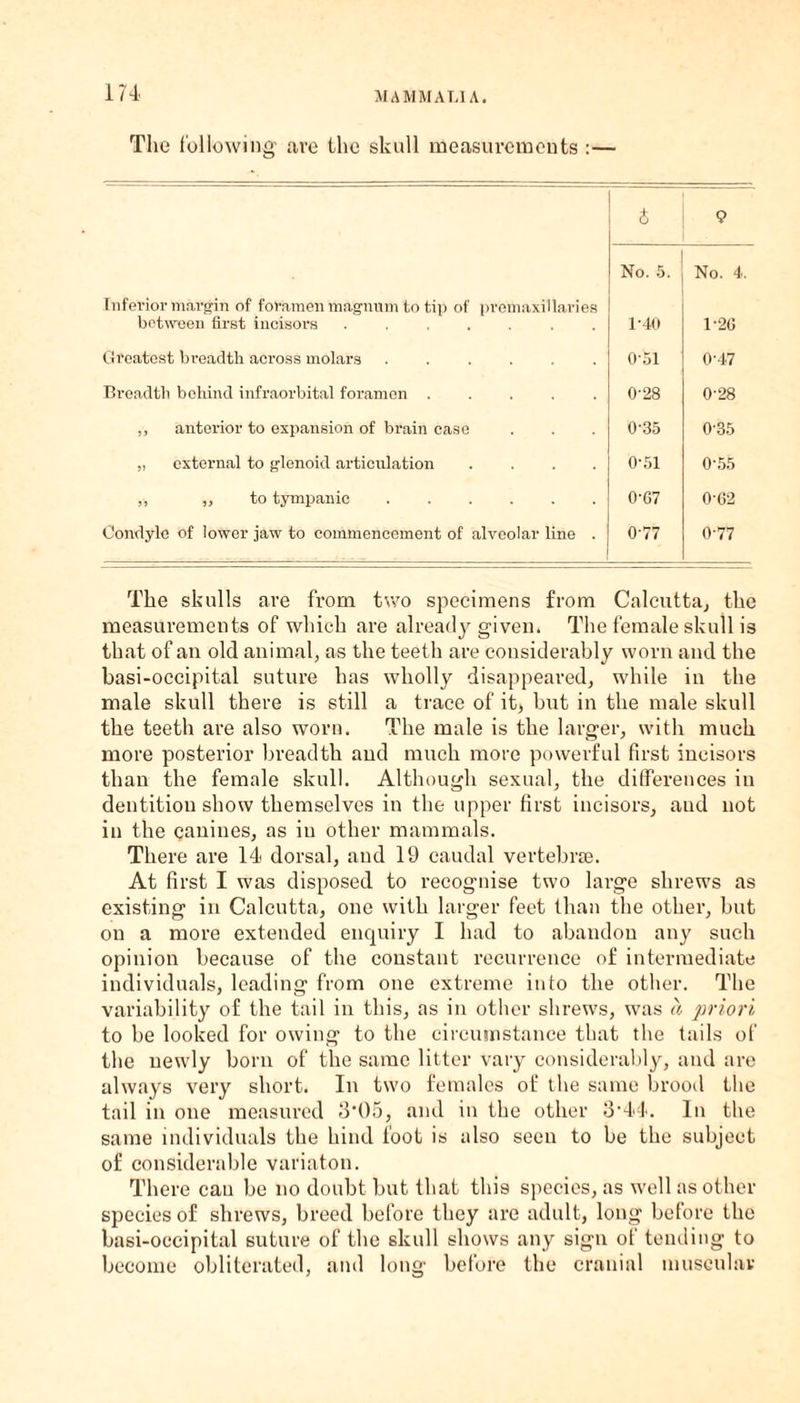 The following' are the skull measurements :— t 9 No. 5. No. 4, Inferior margin of foramen magnum to tip of premaxillaries between first incisors.. 1'40 1-26 Greatest breadth across molars ...... 0-51 O'47 Breadth behind infraorbital foramen ..... 0-28 0-28 ,, anterior to expansion of brain ease 0-35 0'35 „ external to glenoid articulation .... 0'51 0'55 ,, ,, to tympanic. 0-67 0'62 Condyle of lower jaw to commencement of alveolar line . 0-77 0-77 The skulls are from two specimens from Calcutta, the measurements of which are already given. The female skull is that of an old animal, as the teeth are considerably worn and the basi-occipital suture has wholly disappeared, while in the male skull there is still a trace of it, but in the male skull the teeth are also worn. The male is the larger, with much more posterior breadth and much more powerful first incisors than the female skull. Although sexual, the differences in dentition show themselves in the upper first incisors, and not in the canines, as in other mammals. There are 14 dorsal, and 19 caudal vertebrae. At first I was disposed to recognise two large shrews as existing in Calcutta, one with larger feet than the other, but on a more extended enquiry I had to abandon any such opinion because of the constant recurrence of intermediate individuals, leading from one extreme into the other. The variability of the tail in this, as in other shrews, was a priori to be looked for owing to the circumstance that the tails of the newly born of the same litter vary considerably, and are always very short. In two females of the same brood the tail in one measured 3-05, and in the other 3'44. In the same individuals the hind foot is also seen to be the subject of considerable variaton. There can be no doubt but that this species, as well as other species of shrews, breed before they are adult, long before the basi-occipital suture of the skull shows any sign of tending to become obliterated, and long before the cranial muscular