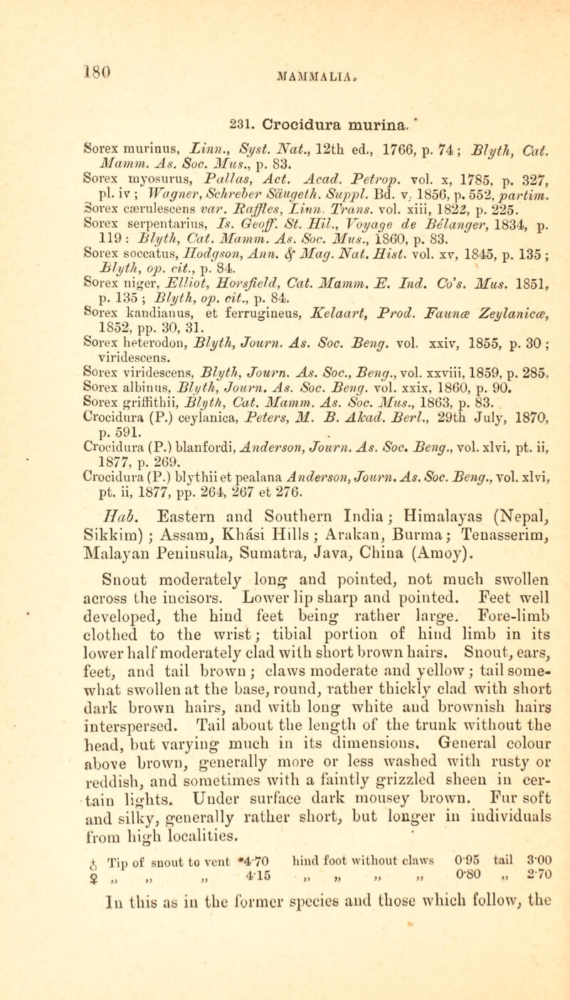 231. Crocidura murina. ‘ Sorex murinus, Linn., Syst. Nat., 12th ed,, 1766, p. 74; Blyth, Cat. Mamm. As. Soc. Mus., p. 83. Sorex myosurus, Pallas, Act. Acad. Petrop. vol. x, 1785. p. 327, pi. iv ; Wagner, Schreber Sdugetk. Suppl. Bd. v,. 1856, p. 552, partim. Sorex cserulescens van. Baffles, Linn. Trans, vol. xiii, 1822, p. 225. Sorex serpentarius, Is. Geoff. St. ITU., Voyage de Belanger, 1834, p. 119 : Blyth, Cat. Mamin. As. Soc. Mus., 1860, p. 83. Sorex soccatus, Hodgson, Ann. &[ Mag. Nat. Hist. vol. xv, 1845, p. 135 ; Blyth, op. cit., p. 84. Sorex niger, Elliot, Horsfiedd, Cat. Mamin. E. Lnd. Co’s. Mus. 1851, p. 135 ; Blyth, op. cit., p. 84. Sorex kandianus, et ferruginous, Kelaart, Prod. Faunae Zenlanicce, ( 1852, pp. 30, 31. Sorex heterodon, Blyth, Journ. As. Soc. Beng. vol. xxiv, 1855, p. 30; viridescens. Sorex viridescens, Blyth, Journ. As. Soc., Beng., vol. xxviii, 1859, p. 285. Sorex albinus, Blyth, Journ. As. Soc. Beng. vol. xxix, 1860, p. 90. Sorex griffithii, Blyth, Cat. Mamm. As. Soc. Mus., 1863, p. 83. Crocidura (P.) ceylanica, Peters, M. B. Akad. Berl., 29th July, 1870, p. 591. Crocidura (P.) blanfordi, Anderson, Journ. As. Soc. Beng., vol. xlvi, pt. ii, 1877, p. 269. Crocidura (P.) blythii et pealana Anderson, Journ. As. Soc. Beng., vol. xlvi, pt. ii, 1877, pp. 264, 267 et 276. Hah. Eastern and Southern India; Himalayas (Nepal, Sikkim) ; Assam, Khasi Hills; Arakan, Burma; Teuasserim, Malayan Peninsula, Sumatra, Java, China (Amoy). Snout moderately long- and pointed, not much swollen across the incisors. Lower lip sharp and pointed. Feet well developed, the hind feet being rather large. Fore-limb clothed to the wrist; tibial portion of bind limb in its lower half moderately clad with short brown hairs. Snout, ears, feet, and tail brown ; claws moderate and yellow ; tail some¬ what swollen at the base, round, rather thickly clad with short dark brown hairs, and with long white and brownish hairs interspersed. Tail about the length of the trunk without the bead, but varying much in its dimensions. General colour above brown, generally more or less washed with rusty or reddish, and sometimes with a faintly grizzled sheen in cer¬ tain lights. Under surface dark mousey brown. Fur soft and silky, generally rather short, but longer in individuals from high localities. + Tip of snout to vent *4 70 hind foot without claws 0 95 tail 3-00 $ „ „ „ 415 ,, „ „ „ 0-80 „ 270 In this as in the former species and those which follow, the