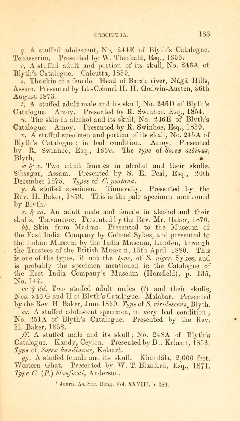 q. A stuffed adolescent, No. 244E of Blyth’s Catalogue. Tenasserim. Presented by W. Theobald, Esq., 1855. r. A stuffed adult and portion of its skull, No. 246A of Blyth’s Catalogue. Calcutta, 1859. s. The skin of a female. Head of Barak river, Naga Hills, Assam. Presented by Lt.-Colonel H. H. Godwin-Austen, 26th August 1873. t. A stuffed adult male and its skull. No. 246D of Blyth’s Catalogue. Amoy. Presented by R. Swiuhoe, Esq., 1854. n. The skin in alcohol and its skull, No. 246E of Blyth’s Catalogue. Amoy. Presented by R. Swinkoe, Esq., 1859. v. A stuffed specimen and portion of its skull. No. 245 A of Blyth’s Catalogue; in bad condition. Amoy. Presented by R. Swiuhoe, Esq., 1859. The type of Sorex albinus, Blyth. . w 8r x. Two adult females in alcohol and their skulls. Sibsagar, Assam. Presented by S. E. Peal, Esq., 20th December 1875. Types of C. pealana. y. A stuffed specimen. Tinnevelly. Presented by the Rev. H. Baker, 1859. This is the pale specimen mentioned by Blyth.1 z. fy aa. An adult male and female in alcohol and their skulls. Travancore. Presented by the Rev. Mr. Baker, 1870. bb. Skin from Madras. Presented to the Museum, of the East India Company by Colonel Sykes, and presented to the Indian Museum by the India Museum, London, through the Trustees of the British Museum, 13th April 1S80. This is one of the types, if not the type, of S. niger, Sykes, and is probably the specimen mentioned in the Catalogue of the East India Company’s Museum (Horsfield), p. 135, No. 147. cc Sf eld. Two stuffed adult males (?) and their skulls. Nos. 246 G and H of Blyth’s Catalogue. Malabar. Presented by the Rev. TI. Baker, June 1859. Type of S. viridescens^ Blyth. ee. A stuffed adolescent specimen, in very bad condition ; No. 251A of Blyth’s Catalogue. Presented by the Rev. H. Baker, 1858. ff. A stuffed male and its skull; No. 24SA of Blyth’s Catalogue. Kandy, Ceylon. Presented by Dr. Kelaart, 1852. Type of Sorex kandianus, Kelaart. gg. A stuffed female and its skull. Khandala, 2,000 feet. Western Ghat. Presented by W. T. Blau ford, Esq., 1871. Type C. (P.) blanfordi, Anderson. 1 Journ. As. Soc. Itcng. Vol. XXVIII, p. 284.