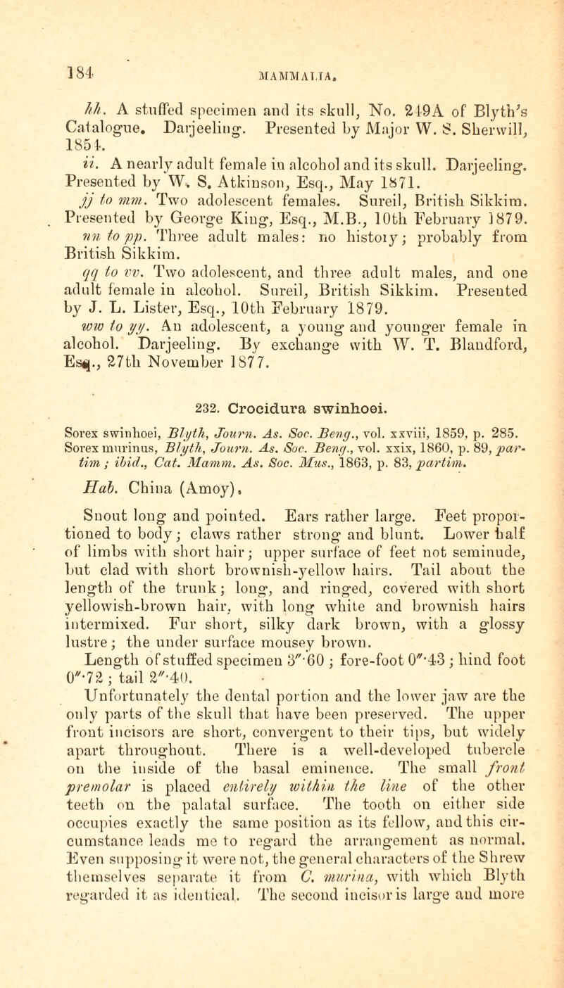 Mi. A stuffed specimen and its skull, No. 219A of Blythes Catalogue. Darjeeling. Presented by Major W. S. Skenvill, 1854. ii. A nearly adult female in alcohol and its skull. Darjeeling. Presented by W>. S. Atkinson, Esq., May 1871. jj to mm. Two adolescent females. Sureil, British Sikkim. Presented by George King, Esq., M.B., 10th February 1879. nntopp. Three adult males: no history; probably from British Sikkim. qq to vv. Two adolescent, and three adult males, and one adult female in alcohol. Sureil, British Sikkim. Presented by J. L. Lister, Esq., 10th February 1879. ww to yy. An adolescent, a young and younger female in alcohol. Darjeeling. By exchange with W. T. Blandfoixl, Esq., 27th November 1877. 232. Crocidura swinhoei. Sorex swinhoei, Blyth, Journ. As. Sop. Bevy., vol. xxviii, 1859, p. 285. Sorex murinus, Blyth, Journ. As. Soc. Beng., vol. xxix, 1860, p. 89, par- tim; ibid., Cat. Mamm. As. Soc. Mus., 1863, p. 83, par dm. Hab. China (Amoy), Snout long and pointed. Ears rather large. Feet propor¬ tioned to body; claws rather strong and blunt. Lower half of limbs with short hair; upper surface of feet not seminude, but clad w7ith short brownish-yellow hairs. Tail about the length of the trunk; long, and ringed, covered with short yellowish-brown hair, with long white and brownish hairs intermixed. Fur short, silky dark brown, with a glossy lustre; the under surface mousey brown. Length of stuffed specimen 360 ; fore-foot 0-43 ; hind foot 0'*72; tail Unfortunately the dental portion and the lower jaw are the only parts of the skull that have been preserved. The upper front incisors are short, convergent to their tips, but widely apart throughout. There is a well-developed tubercle on the inside of the basal eminence. The small front premolar is placed entirely within the line of the other teeth on the palatal surface. The tooth on either side occupies exactly the same position as its fellow, aud this cir¬ cumstance leads me to regard the arrangement as normal. Even supposing it were not, the general characters of the Shrew themselves separate it from C. murina, with which Blyth regarded it as identical. The second incisor is large aud more