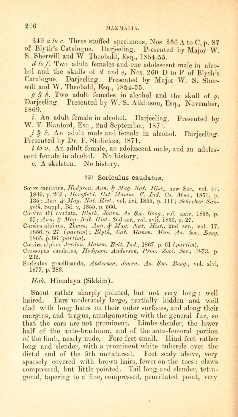 MAMMALIA. 249 a to c. Three stuffed specimens, Nos. 266 A to C, p. 87 of Blythes Catalogue. Darjeeling. Presented by Major W. S. Sherwill and W. Theobald, Esq., 1854-55. cl tof. Two adult females and one adolescent male in alco¬ hol and the skulls of d and <?, Nos. 260 D to F of BlytlFs Catalogue. Darjeeling. Presented by Major W. S. Sher¬ will and W. Theobald, Esq., 1854-55. g $ h. Two adult females in alcohol and the skull of g. Darjeeling. Presented by W. S. Atkinson, Esq., November, 1869. i. An adult female in alcohol. Darjeeling. Presented by W. T. Blanford, Esq., 2nd September, 1871. j li- An adult male and female in alcohol. Darjeelin«\ Presented by Dr. F. Stolickza, 1871. I to n. An adult female, an adolescent male, and an adoles¬ cent female in alcohol. No history. o. A skeleton. No history. 250. Sorieulus caudatus. Sorex caudatus, Hodgson, Ann. Mag. Nat. Hist., new Ser., vol. iii. 1849, p. 203 ; Horsfield, Cat. Mean in. E. Ind. Co. Mux., 1851, p, 135 ; Ann. Sf Mag. Nat. Hist., vol. xvi, 1855, p. Ill; Sehrcber Sail- getli. Snppl, Bd. v, 1855, p. 566. Corsira (?) caudata, Blyth, Journ. As. Soc. Beng., vol. xxiv, 1855, p. 37; Ann. Sf Mag. Nat. Hist., 2nd ser., vol. xvii, 1856, p. 27. Corsira alpinus, Tomes, Ann. 8f Mag. Nat. Hist., 2nd ser., vol. 17, 1856, p. 27 (partim); Blyt/i, Cat. Marnm. Mus. As. Soc. Beng, 1865, p. 86 (partim). Corsira alpina, Jerdon, Mamm. Brit. Ind., 1867. p. 61 (partim). Crossopus caudatus, Hodgson, Anderson, Proc. Zool. Soc., 1873, p. 232. Sorieulus gracilicauda, Anderson, Journ. As. Soc. Bong., vol. xlvi, 1877, p. 282. llab. Himalaya (Sikkim). Snout rather sharply pointed, but not very long : well haired. Ears moderately large, partially hidden and well clad with long hairs on their outer surfaces, and along their margins, and tragus, amalgamating with the general fur, so that the ears are not prominent. Limbs slender, the lower half of the ante-brachium, and of the ante-femoral portiou of the limb, nearly nude. Fore feet small. Hind feet rather long and slender, with a prominent white tubercle over the distal end of the 5th metatarsal. Feet scaly above, very sparsely covered with brown hairs, fewer on the toes : claws compressed, but little pointed. Tail long and slender, tetra¬ gonal, tapering to a fine, compressed, pencillated point, very