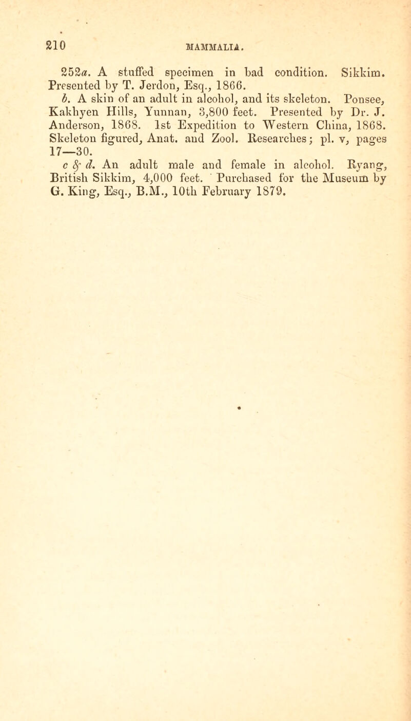 252«. A staffed specimen in bad condition. Sikkim. Presented by T. Jerdon, Esq., 1866. b. A skin of an adult in alcohol, and its skeleton. Ponsee, Kakhyen Hills, Yunnan, 8,800 feet. Presented by Dr. J. Anderson, 1868. 1st Expedition to Western China, 1868. Skeleton figured, Anat. and Zool. Researches; pi. v, pages 17—30. c 8f d. An adult male and female in alcohol. Ryang, British Sikkim, 4,000 feet. Purchased for the Museum by G. King, Esq., B.M., 10th February 1S79.