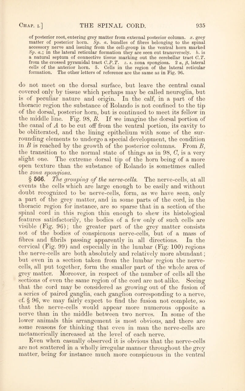of posterior root, entering grey matter from external posterior column, x. grey matter of posterior horn. Sp. a. bundles of fibres belonging to the spinal accessory nerve and issuing from the cell-group in the ventral horn marked Sp. a.; in the lateral reticular formation they are seen cut transversely, b. is a natural septum of connective tissue marking out the cerebellar tract G.T. from the crossed pyramidal tract C.P.T. z. s. zona spongiosa. 2 a, /3, lateral cells of the anterior horn. 5. Cells in the region of the lateral reticular formation. The other letters of reference are the same as in Fig. 96. do not meet on the dorsal surface, but leave the central canal covered only by tissue which perhaps may be called neuroglia, but is of peculiar nature and origin. In the calf, in a part of the thoracic region the substance of Rolando is not confined to the tip of the dorsal, posterior horn, bat is continued to meet its fellow in the middle line. Fig. 98, B. If we imagine the dorsal portion of the canal of A to be cut off from the ventral portion, its cavity to be obliterated, and the lining epithelium with some of the sur¬ rounding elements to undergo a special development, the condition in B is reached by the growth of the posterior columns. From B, the transition to the normal state of things as in 98, C, is a very slight one. The extreme dorsal tip of the horn being of a more open texture than the substance of Rolando is sometimes called the zona spongiosa. § 566. The grouping of the nerve-cells. The nerve-cells, at all events the cells which are large enough to be easily and without doubt recognized to be nerve-cells, form, as we have seen, only a part of the grey matter, and in some parts of the cord, in the thoracic region for instance, are so sparse that in a section of the spinal cord in this region thin enough to shew its histological features satisfactorily, the bodies of a few only of such cells are visible (Fig. 96); the greater part of the grey matter consists not of the bodies of conspicuous nerve-cells, but of a mass of fibres and fibrils passing apparently in all directions. In the cervical (Fig. 99) and especially in the lumbar (Fig.- 100) regions the nerve-cells are both absolutely and relatively more abundant; but even in a section taken from the lumbar region the nerve- cells, all put together, form the smaller part of the whole area of grey matter. Moreover, in respect of the number of cells all the sections of even the same region of the cord are not alike. Seeing that the cord may be considered as growing out of the fusion of a series of paired ganglia, each ganglion corresponding to a nerve, cf. § 96, we may fairly expect to find the fusion not complete, so that the nerve-cells would appear more numerous opposite a nerve than in the middle between two nerves. In some of the lower animals this arrangement is most obvious, and there are some reasons for thinking that eveu in man the nerve-cells are metamerically increased at the level of each nerve. Even when casually observed it is obvious that the nerve-cells are not scattered in a wholly irregular manner throughout the grey matter, being for instance much more conspicuous in the ventral