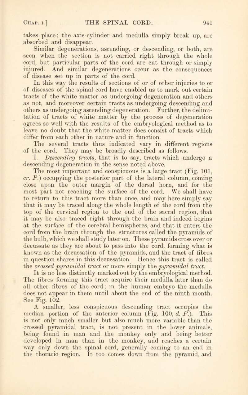 takes place; the axis-cylinder and medulla simply break up, are absorbed and disappear. Similar degenerations, ascending, or descending, or both, are seen when the section is not carried right through the whole cord, but particular parts of the cord are cut through or simply injured. And similar degenerations occur as the consequences of disease set up in parts of the cord. In this way the results of sections of or of other injuries to or of diseases of the spinal cord have enabled us to mark out certain tracts of the white matter as undergoing degeneration and others as not, and moreover certain tracts as undergoing descending and others as undergoing ascending degeneration. Further, the delimi¬ tation of tracts of white matter by the process of degeneration agrees so well with the results of the embryological method as to leave no doubt that the white matter does consist of tracts which differ from each other in nature and in function. The several tracts thus indicated vary in different regions of the cord. They may be broadly described as follows. I. Descending tracts, that is to say, tracts which undergo a descending degeneration in the sense noted above. The most important and conspicuous is a large tract (Fig. 101, cr. P.) occupying the posterior part of the lateral column, coming close upon the outer margin of the dorsal horn, and for the most part not reaching the surface of the cord. We shall have to return to this tract more than once, and may here simply say that it may be traced along the whole length of the cord from the top of the cervical region to the end of the sacral region, that it may be also traced right through the brain and indeed begins at the surface of the cerebral hemispheres, and that it enters the cord from the brain through the structures called the pyramids of the bulb, which we shall study later on. These pyramids cross over or decussate as they are about to pass into the cord, forming what is known as the decussation of the pyramids, and the tract of fibres in question shares in this decussation. Hence this tract is called the crossed pyramidal tract or more simply the pyramidal tract. It is no less distinctly marked out by the embryological method. The fibres forming this tract acquire their medulla later than do all other fibres of the cord; in the human embryo the medulla does not appear in them until about the end of the ninth month. See Fig. 102. A smaller, less conspicuous descending tract occupies the median portion of the anterior column (Fig. 100, d. P.). This is not onlv much smaller but also much more variable than the crossed pyramidal tract, is not present in the lower animals, being found in man and the monkey only and being better developed in man than in the monkey, and reaches a certain way only down the spinal cord, generally coming to an end in the thoracic region. It too comes down from the pyramid, and