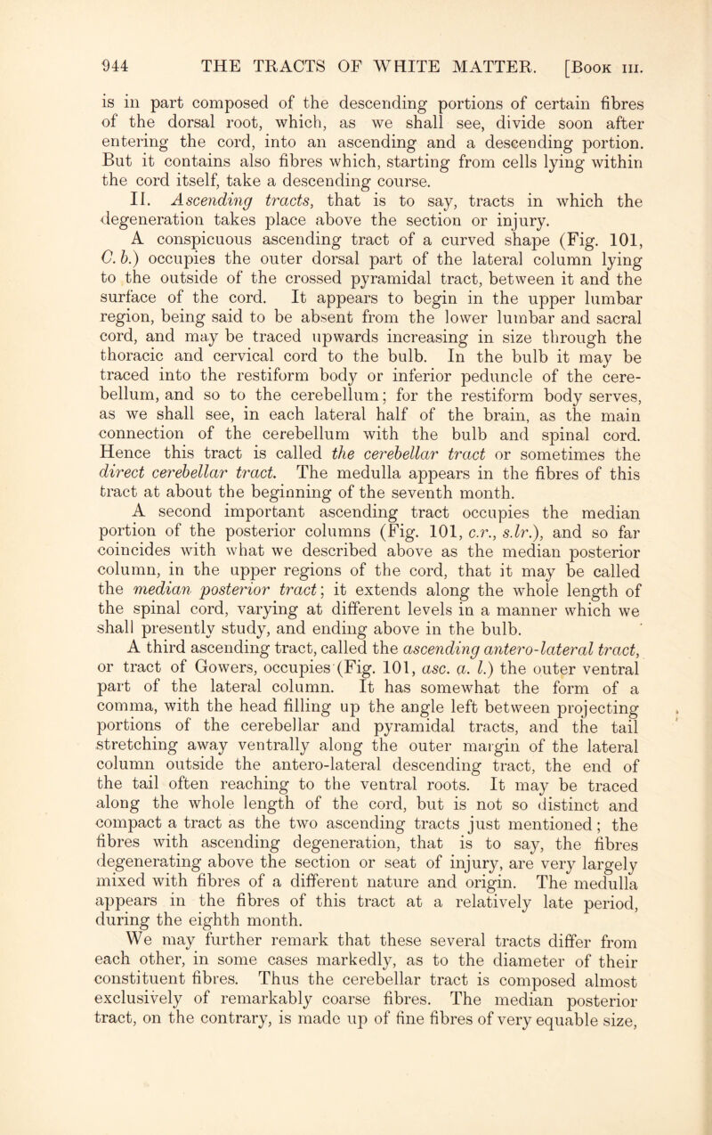 is in part composed of the descending portions of certain fibres of the dorsal root, which, as we shall see, divide soon after entering the cord, into an ascending and a descending portion. But it contains also fibres which, starting from cells lying within the cord itself, take a descending course. II. Ascending tracts, that is to say, tracts in which the degeneration takes place above the section or injury. A conspicuous ascending tract of a curved shape (Fig. 101, G. b.) occupies the outer dorsal part of the lateral column lying to the outside of the crossed pyramidal tract, between it and the surface of the cord. It appears to begin in the upper lumbar region, being said to be absent from the lower lumbar and sacral cord, and may be traced upwards increasing in size through the thoracic and cervical cord to the bulb. In the bulb it may be traced into the restiform body or inferior peduncle of the cere¬ bellum, and so to the cerebellum; for the restiform body serves, as we shall see, in each lateral half of the brain, as the main connection of the cerebellum with the bulb and spinal cord. Hence this tract is called the cerebellar tract or sometimes the direct cerebellar tract. The medulla appears in the fibres of this tract at about the beginning of the seventh month. A second important ascending tract occupies the median portion of the posterior columns (Fig. 101, c.r., s.lr.), and so far coincides with what we described above as the median posterior column, in the upper regions of the cord, that it may be called the median posterior tract; it extends along the whole length of the spinal cord, varying at different levels in a manner which we shall presently study, and ending above in the bulb. A third ascending tract, called the ascending antero-lateral tract, or tract of Gowers, occupies (Fig. 101, asc. a. 1) the outer ventral part of the lateral column. It has somewhat the form of a comma, with the head filling up the angle left between projecting portions of the cerebellar and pyramidal tracts, and the tail stretching away ventrally along the outer margin of the lateral column outside the antero-lateral descending tract, the end of the tail often reaching to the ventral roots. It may be traced along the whole length of the cord, but is not so distinct and compact a tract as the two ascending tracts just mentioned; the fibres with ascending degeneration, that is to say, the fibres degenerating above the section or seat of injury, are very largely mixed with fibres of a different nature and origin. The medulla appears in the fibres of this tract at a relatively late period, during the eighth month. We may further remark that these several tracts differ from each other, in some cases markedly, as to the diameter of their constituent fibres. Thus the cerebellar tract is composed almost exclusively of remarkably coarse fibres. The median posterior tract, on the contrary, is made up of fine fibres of very equable size,