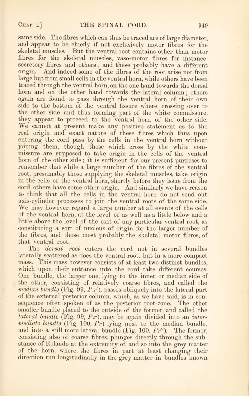 same side. The fibres which can thus be traced are of large diameter, and appear to be chiefly if not exclusively motor fibres for the skeletal muscles. But the ventral root contains other than motor fibres for the skeletal muscles, vaso-motor fibres for instance, secretory fibres and others; and these probably have a different origin. And indeed some of the fibres of the root arise not from large but from small cells in the ventral horn, while others have been traced through the ventral horn, on the one hand towards the dorsal horn and on the other hand towards the lateral column ; others again are found to pass through the ventral horn of their own side to the bottom of the ventral fissure where, crossing over to the other side and thus forming part of the white commissure, they appear to proceed to the ventral horn of the other side. We cannot at present make any positive statement as to the real origin and exact nature of these fibres which thus upon entering the cord pass by the cells in the ventral horn without joining them, though those which cross by the white com¬ missure are supposed to take origin in the cells of the ventral horn of the other side; it is sufficient for our present purposes to remember that while a large number of the fibres of the ventral root, presumably those supplying the skeletal muscles, take origin in the cells of the ventral horn, shortly before they issue from the cord, others have some other origin. And similarly we have reason to think that all the cells in the ventral horn do not send out axis-cylinder processes to join the ventral roots of the same side. We may however regard a large number at all events of the cells of the ventral horn, at the level of as well as a little below and a little above the level of the exit of any particular ventral root, as constituting a sort of nucleus of origin for the larger number of the fibres, and those most probably the skeletal motor fibres, of that ventral root. The dorsal root enters the cord not in several bundles laterally scattered as does the ventral root, but in a more compact mass. This mass however consists of at least two distinct bundles, which upon their entrance into the cord take different courses. One bundle, the larger one, lying to the inner or median side of the other, consisting of relatively coarse fibres, and called the median bundle (Fig. 99, P.r), passes obliquely into the lateral part of the external posterior column, which, as we have said, is in con¬ sequence often spoken of as the posterior root-zone. The other smaller bundle placed to the outside of the former, and called the lateral bundle (Fig. 99, P.r), may be again divided into an inter¬ mediate bundle (Fig. 100, Pr) lying next to the median bundle, and into a still more lateral bundle (Fig. 100, Pr). The former, consisting also of coarse fibres, plunges directly through the sub¬ stance of Rolando at the extremity of, and so into the grey matter of the horn, where, the fibres in part at least changing their direction run longitudinally in the grey matter in bundles known