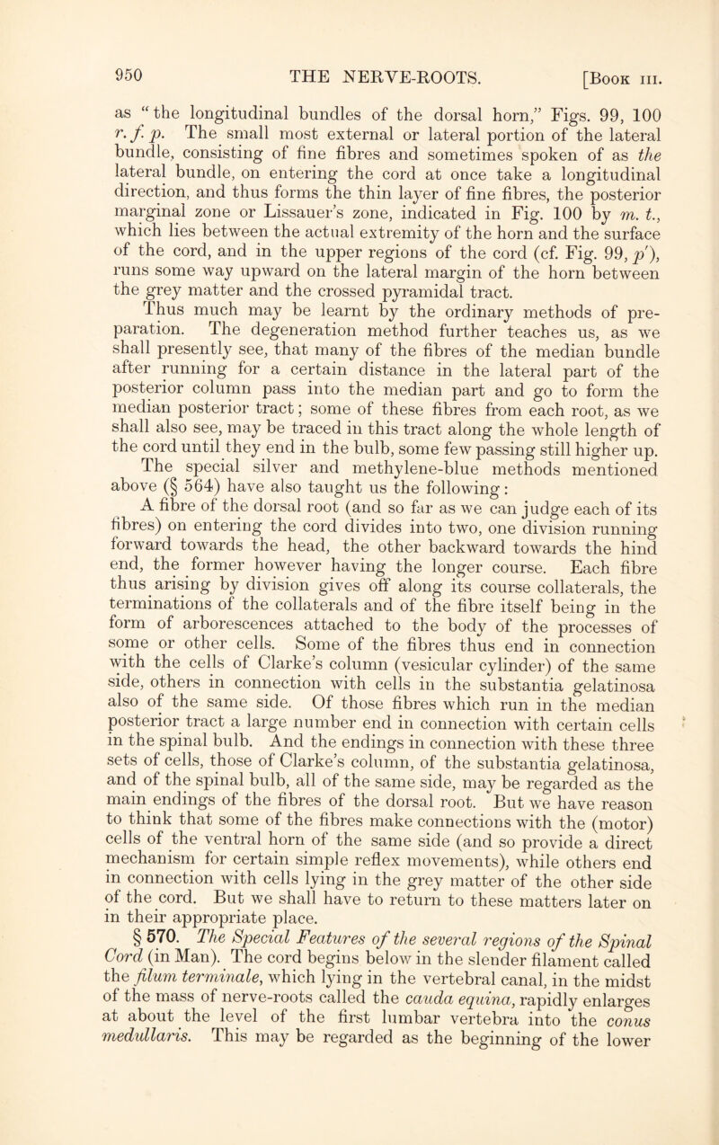 as “ the longitudinal bundles of the dorsal horn/’ Figs. 99, 100 r.fp. The small most external or lateral portion of the lateral bundle, consisting of fine fibres and sometimes spoken of as the lateral bundle, on entering the cord at once take a longitudinal direction, and thus forms the thin layer of fine fibres, the posterior marginal zone or Lissauer’s zone, indicated in Fig. 100 by m. t., which lies between the actual extremity of the horn and the surface of the cord, and in the upper regions of the cord (cf. Fig. 99, p), runs some way upward on the lateral margin of the horn between the grey matter and the crossed pyramidal tract. Thus much may be learnt by the ordinary methods of pre¬ paration. The degeneration method further teaches us, as w^e shall presently see, that many of the fibres of the median bundle after running for a certain distance in the lateral part of the posterior column pass into the median part and go to form the median posterior tract; some of these fibres from each root, as we shall also see, may be traced in this tract along the whole length of the cord until they end in the bulb, some few passing still higher up. The special silver and methylene-blue methods mentioned above (§ 564) have also taught us the following: A fibre of the dorsal root (and so far as we can judge each of its fibres) on entering the cord divides into two, one division running forward towards the head, the other backward towards the hind end, the former however having the longer course. Each fibre thus arising by division gives off along its course collaterals, the terminations of the collaterals and of the fibre itself being in the form of arborescences attached to the body of the processes of some or other cells. Some of the fibres thus end in connection with the cells of Clarke’s column (vesicular cylinder) of the same side, others in connection with cells in the substantia gelatinosa also of the same side. Of those fibres which run in the median posterior tract a large number end in connection with certain cells in the spinal bulb. And the endings in connection with these three sets of cells, those of Clarke’s column, of the substantia gelatinosa, and of the spinal bulb, all of the same side, may be regarded as the main endings of the fibres of the dorsal root. But we have reason to think that some of the fibres make connections with the (motor) cells of the ventral horn of the same side (and so provide a direct mechanism for certain simple reflex movements), while others end in connection with cells lying in the grey matter of the other side of the cord. But we shall have to return to these matters later on in their appropriate place. § 570. The Special Features of the several regions of the Spinal Cord (in Man). The cord begins below in the slender filament called the filum terminale, which lying in the vertebral canal, in the midst of the mass of nerve-roots called the cauda eguina,, rapidly enlarges at about the level of the first lumbar vertebra into the conus medullaris. This may be regarded as the beginning of the lower