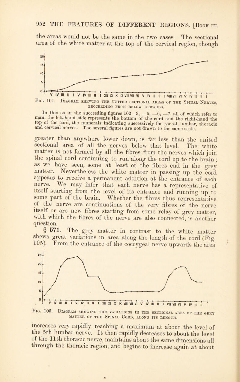 the areas would not be the same in the two cases. The sectional area of the white matter at the top of the cervical region, though Fig. 104. Diagram shewing the united sectional areas of the Spinal Nerves, PROCEEDING FROM BELOW UPWARDS. In this as in the succeeding figures 102—3, —5, —6, —7, all of which refer to man, the left-hand side represents the bottom of the cord and the right-hand the top of the cord, the numerals indicating successively the sacral, lumbar, thoracic and cervical nerves. The several figures are not drawn to the same scale. greater than anywhere lower down, is far less than the united sectional area of all the nerves below that level. The white matter is not formed by all the fibres from the nerves which join the spinal cord continuing to run along the cord up to the brain; as we have seen, some at least of the fibres end in the grey matter. Nevertheless the white matter in passing up the cord appears to receive a permanent addition at the entrance of each nerve. We may infer that each nerve has a representative of itself starting from the level of its entrance and running up to some part of the brain. Whether the fibres thus representative of the nerve are continuations of the very fibres of the nerve itself, or are new fibres starting from some relay of grey matter, with which the fibres of the nerve are also connected, is another question. § 571. The grey matter in contrast to the white matter shews great variations in area along the length of the cord (Fig. 105). From the entrance of the coccygeal nerve upwards the area Fig. 105. Diagram shewing the variations in the sectional area of the grey MATTER OF THE SPINAL CORD, ALONG ITS LENGTH. increases very rapidly, reaching a maximum at about the level of the 5th lumbar nerve. It then rapidly decreases to about the level of the 11th thoracic nerve, maintains about the same dimensions all through the thoracic region, and begins to increase again at about