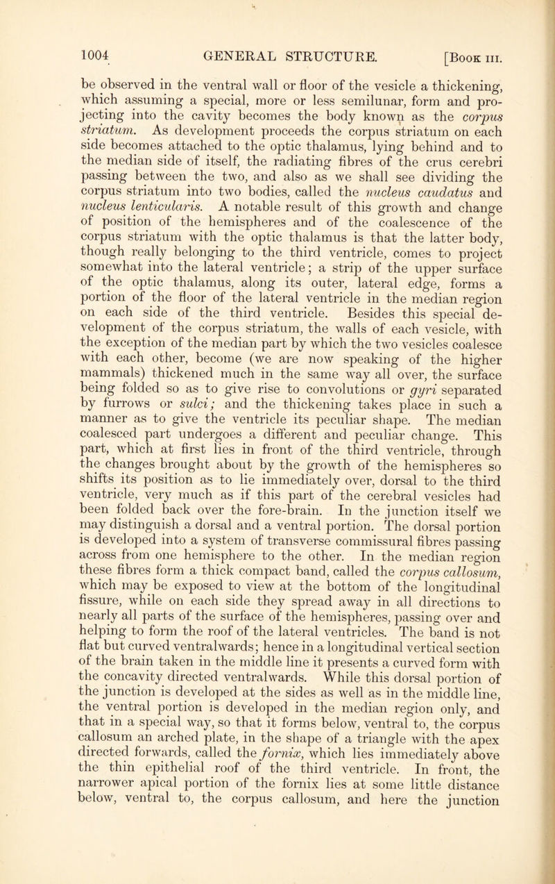 [® be observed in the ventral wall or floor of the vesicle a thickening, which assuming a special, more or less semilunar, form and pro¬ jecting into the cavity becomes the body known as the corpus striatum. As development proceeds the corpus striatum on each side becomes attached to the optic thalamus, lying behind and to the median side of itself, the radiating fibres of the crus cerebri passing between the two, and also as we shall see dividing the corpus striatum into two bodies, called the nucleus caudatus and nucleus lenticularis. A notable result of this growth and change of position of the hemispheres and of the coalescence of the corpus striatum with the optic thalamus is that the latter body, though really belonging to the third ventricle, comes to project somewhat into the lateral ventricle; a strip of the upper surface of the optic thalamus, along its outer, lateral edge, forms a portion of the floor of the lateral ventricle in the median region on each side of the third ventricle. Besides this special de¬ velopment of the corpus striatum, the walls of each vesicle, with the exception of the median part by which the two vesicles coalesce with each other, become (we are now speaking of the higher mammals) thickened much in the same way all over, the surface being folded so as to give rise to convolutions or gyri separated by furrows or sulci; and the thickening takes place in such a manner as to give the ventricle its peculiar shape. The median coalesced part undergoes a different and peculiar change. This part, which at first lies in front of the third ventricle, through the changes brought about by the growth of the hemispheres so shifts its position as to lie immediately over, dorsal to the third ventricle, very much as if this part of the cerebral vesicles had been folded back over the fore-brain. In the junction itself we niay distinguish a dorsal and a ventral portion. The dorsal portion is developed into a system of transverse commissural fibres passing across from one hemisphere to the other. In the median region these fibres form a thick compact band, called the corpus callosum, which may be exposed to view at the bottom of the longitudinal fissure, while on each side they spread away in all directions to nearly all parts of the surface of the hemispheres, passing over and helping to form the roof of the lateral ventricles. The band is not flat but curved ventral wards; hence in a longitudinal vertical section of the brain taken in the middle line it presents a curved form with the concavity directed ventralwards. While this dorsal portion of the junction is developed at the sides as well as in the middle line, the ventral portion is developed in the median region only, and that in a special way, so that it forms below, ventral to, the corpus callosum an arched plate, in the shape of a triangle with the apex directed forwards, called the fornix, which lies immediately above the thin epithelial roof of the third ventricle. In front, the narrower apical portion of the fornix lies at some little distance below, ventral to, the corpus callosum, and here the junction