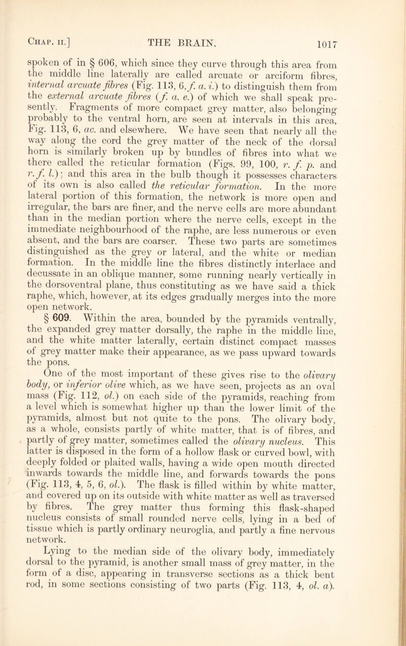 spoken of in § 606, which since they curve through this area from the middle line laterally are called arcuate or arciform fibres, internal arcuate fibres (Fig. 113, 6,/ a.i.) to distinguish them from the external arcuate fibres (f. a. e.) of which we shall speak pre¬ sently. Fragments of more compact grey matter, also belonging probably to the ventral horn, are seen at intervals in this area, Fig. 113, 6, ac. and elsewhere. We have seen that nearly all the way along the cord the grey matter of the neck of the dorsal horn is similarly broken up by bundles of fibres into what we there called the reticular formation (Figs. 99, 100, r. f. p. and r.f. l.): and this area in the bulb though it possesses characters of its own is also called the reticular formation. In the more lateral portion of this formation, the network is more open and irregular, the bars are finer, and the nerve cells are more abundant than in the median portion where the nerve cells, except in the immediate neighbourhood of the raphe, are less numerous or even absent, and the bars are coarser. These two parts are sometimes distinguished as the grey or lateral, and the white or median formation. In the middle line the fibres distinctly interlace and decussate in an oblique manner, some running nearly vertically in the dorsoventral plane, thus constituting as we have said a thick raphe, which, however, at its edges gradually merges into the more open network. § 609. Within the area, bounded by the pyramids ventrally, the expanded grey matter dorsally, the raphe in the middle line, and the white matter laterally, certain distinct compact masses of grey matter make their appearance, as we pass upward towards the pons. One of the most important of these gives rise to the olivary body, or inferior olive which, as we have seen, projects as an oval mass (Fig. 112, ol.) on each side of the pyramids, reaching from a level which is somewhat higher up than the lower limit of the pyramids, almost but not quite to the pons. The olivary body, as a whole, consists partly of white matter, that is of fibres, and partly ol grey matter, sometimes called the olivary nucleus. This latter is disposed in the form of a hollow flask or curved bowl, with deeply folded or plaited walls, having a wide open mouth directed inwards towards the middle line, and forwards towards the pons (Fig. 113, 4, 5, 6, ol.). The flask is filled within by white matter, and covered up on its outside with white matter as well as traversed by fibres. The grey matter thus forming this flask-shaped nucleus consists of small rounded nerve cells, lying in a bed of tissue which is partly ordinary neuroglia, and partly a fine nervous network. Lying to the median side of the olivary body, immediately dorsal to the pyramid, is another small mass of grey matter, in the form of a disc, appearing in transverse sections as a thick bent rod, in some sections consisting of two parts (Fig. 113, 4, ol. a).