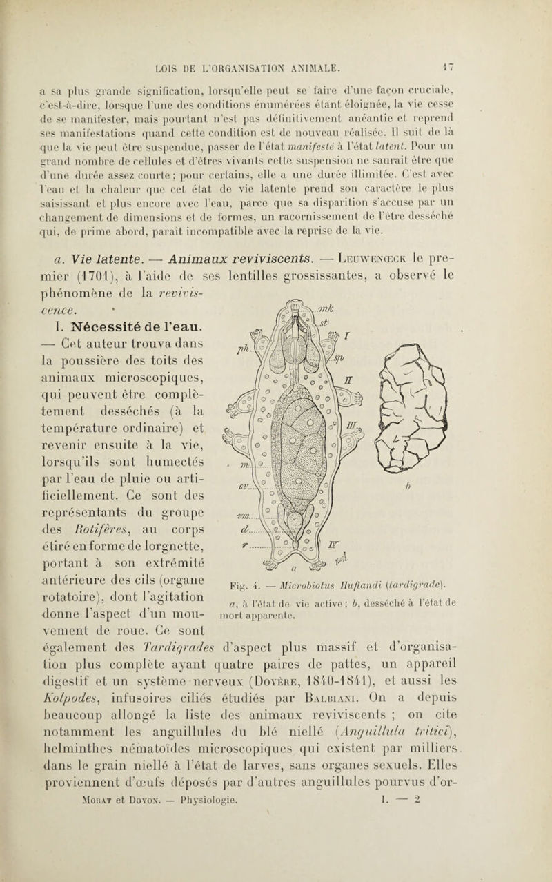 a sa plus grande signification, lorsqu’elle peut se faire d’une façon cruciale, c'est-à-dire, lorsque l’une des conditions énumérées étant éloignée, la vie cosse de se manifester, mais pourtant n’est pas définitivement anéantie et reprend ses manifestations quand cette condition est de nouveau réalisée. Il suit de là (pie la vie peut être suspendue, [tasser de l’état manifeste à l'état latent. Pour un grand nombre de cellules et d’êtres vivants cette suspension ne saurait être que d’une durée assez courte; pour certains, elle a une durée illimitée. C’est avec l'eau et la chaleur que cet état de vie latente prend son caractère le plus saisissant et plus encore avec l’eau, parce que sa disparition s’accuse par un changement de dimensions et de formes, un racornissement de l’être desséché qui, de prime abord, paraît incompatible avec la reprise de la vie. a. Vie latente. — Animaux reviviscents. — Leuwenœck le pre¬ mier (1701), à l’aide de ses lentilles grossissantes, a observé le phénomène de la revivis¬ cence. I. Nécessité de l'eau. — Cet auteur trouva dans la poussière des toits des animaux microscopiques, qui peuvent être complè¬ tement desséchés (à la température ordinaire) et revenir ensuite à la vie, lorsqu’ils sont humectés par l'eau de pluie ou arti- liciellement. Ce sont des représentants du groupe des Rotifères, au corps étiré en forme de lorgnette, portant à son extrémité antérieure des cils (organe rotatoire), dont l'agitation donne l'aspect d'un mou¬ vement de roue. Ce sont également des Tardiqrades d’aspect plus massif et d'organisa¬ tion plus complète ayant quatre paires de pattes, un appareil digestif et un système nerveux (Doyère, 1840-1841), et aussi les Kolpodes, infusoires ciliés étudiés par Balblani. On a depuis beaucoup allongé la liste des animaux reviviscents ; on cite notamment les anguillules du blé niellé (Anguillula tritici), helminthes nématoïdes microscopiques qui existent par milliers dans le grain niellé à l’état de larves, sans organes sexuels. Elles proviennent d’œufs déposés par d'autres anguillules pourvus d'or- Morat et Doyon. — Physiologie. I. — 2 Fig. 4. — Microbiotus Iluflandi (tardigrade). a, à l’état de vie active: b, desséché à l'état de mort apparente.