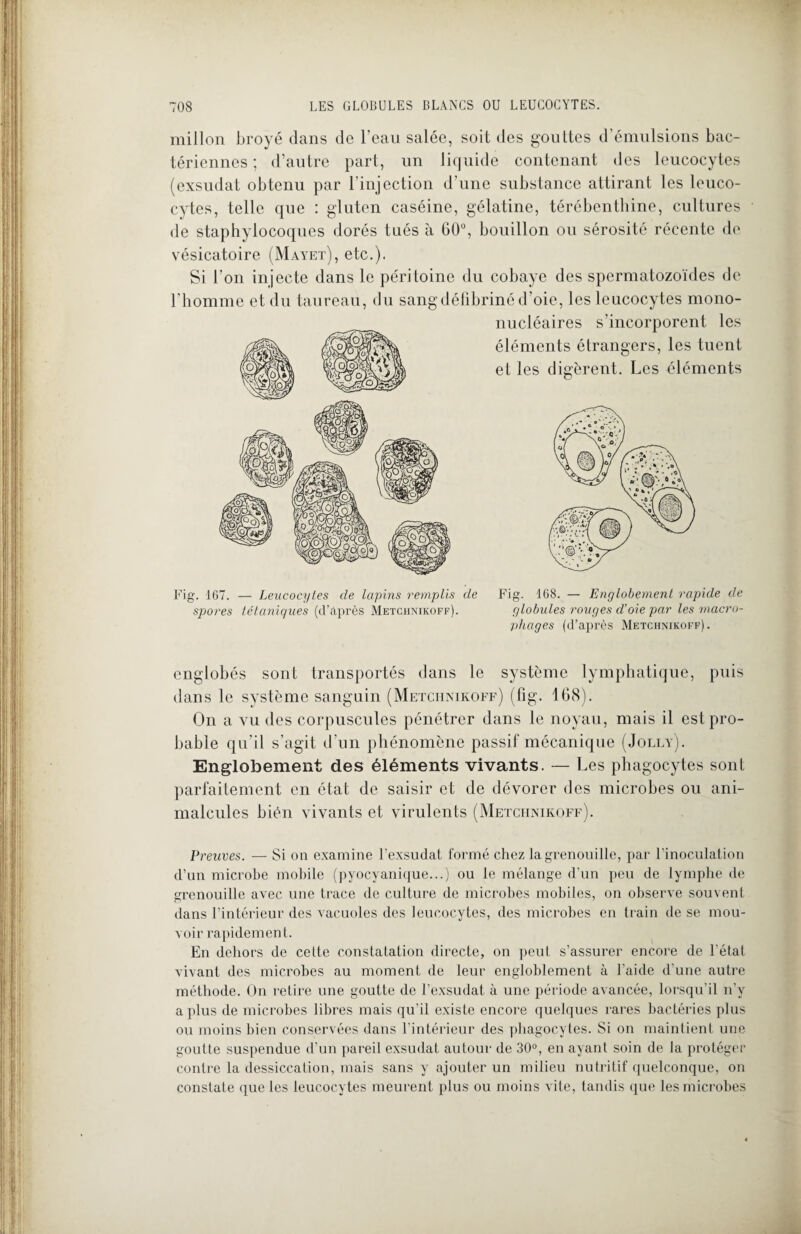 miilon broyé dans de l’eau salée, soit des gouttes d’émulsions bac¬ tériennes ; d’autre part, un liquide contenant des leucocytes (exsudât obtenu par l’injection d’une substance attirant les leuco¬ cytes, telle que : gluten caséine, gélatine, térébenthine, cultures de staphylocoques dorés tués à 60°, bouillon ou sérosité récente de vésicatoire (Mayet), etc.). Si l’on injecte dans le péritoine du cobaye des spermatozoïdes de l’homme et du taureau, du sang défibriné d’oie, les leucocytes mono¬ nucléaires s’incorporent les éléments étrangers, les tuent et les digèrent. Les éléments Leucocytes de lapins remplis de spores tétaniques (d’après Metchnikoff). Fig. 167. Fig. 168. — Englobement rapide de globules rouges cl’oie par les macro¬ phages (d’après Metchnikoff). englobés sont transportés dans le système lymphatique, puis dans le système sanguin (Metchnikoff) (fig. 168). On a vu des corpuscules pénétrer dans le noyau, mais il est pro¬ bable qu’il s’agit d’un phénomène passif mécanique (Jolly). Englobement des éléments vivants. — Les phagocytes sont parfaitement en état de saisir et de dévorer des microbes ou ani¬ malcules bien vivants et virulents (Metchnikoff). Preuves. — Si on examine l’exsudât formé chez la grenouille, par l’inoculation d’un microbe mobile (pyocyanique...) ou le mélange d’un peu de lymphe de grenouille avec une trace de culture de microbes mobiles, on observe souvent dans l’intérieur des vacuoles des leucocytes, des microbes en train de se mou¬ voir rapidement. En dehors de cette constatation directe, on peut s’assurer encore de l’état vivant des microbes au moment de leur engloblement à l'aide d’une autre méthode. On retire une goutte de l’exsudât à une période avancée, lorsqu’il n’y a plus de microbes libres mais qu’il existe encore quelques rares bactéries plus ou moins bien conservées dans l’intérieur des phagocytes. Si on maintient une goutte suspendue d’un pareil exsudât autour de 30°, en ayant soin de la protéger contre la dessiccation, mais sans y ajouter un milieu nutritif quelconque, on constate que les leucocytes meurent plus ou moins vite, tandis que les microbes