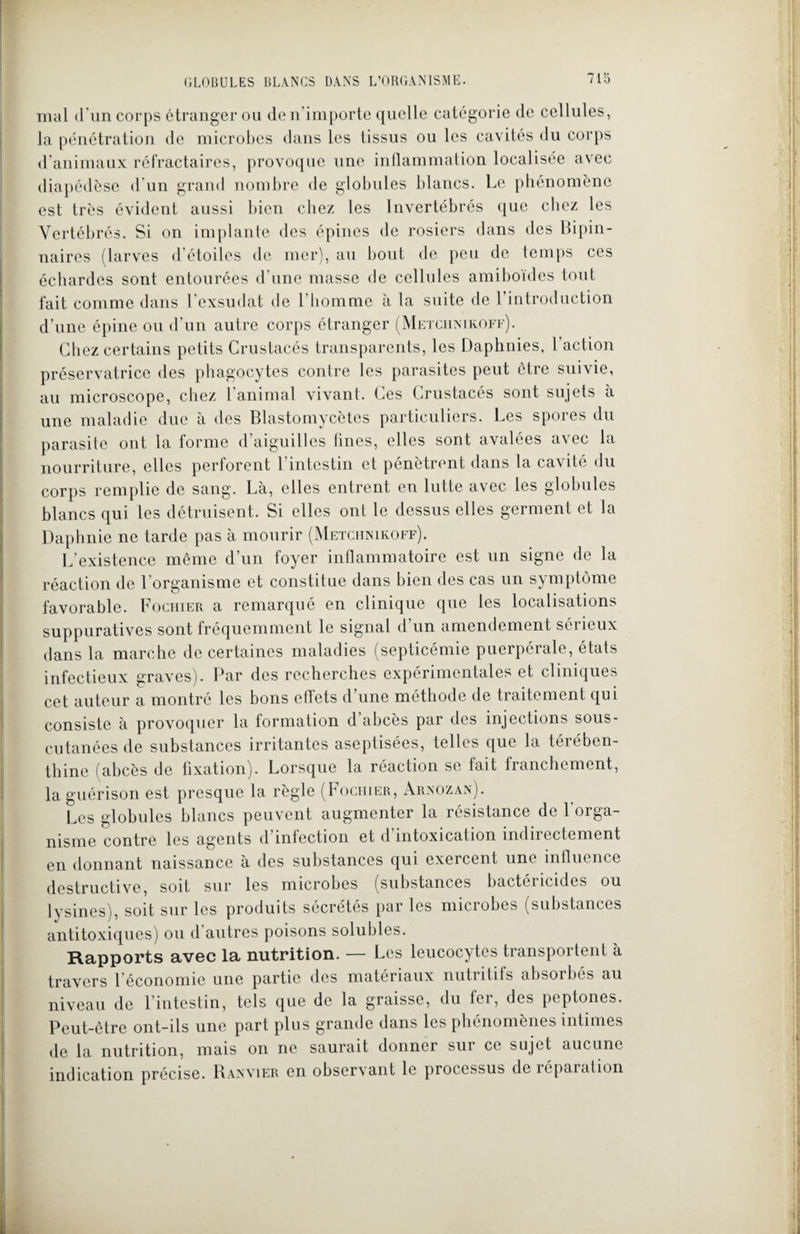 mal d'un corps étranger ou de n’importe quelle catégorie de cellules, la pénétration de microbes dans les tissus ou les cavités du corps d’animaux réfractaires, provoque une inflammation localisée avec diapédèse d’un grand nombre de globules blancs. Le phénomène est très évident aussi bien chez les Invertébrés que chez les Vertébrés. Si on implante des épines de rosiers dans des Bipin- naires (larves d’étoiles de mer), au bout de peu de temps ces écbardes sont entourées d’une masse de cellules amiboides tout fait comme dans l’exsudât de l’homme à la suite de l’introduction d’une épine ou d’un autre corps étranger (Metchnikoff). Chez certains petits Crustacés transparents, les Daphnies, 1 action préservatrice des phagocytes contre les parasites peut être suivie, au microscope, chez l’animal vivant. Ces Crustacés sont sujets à une maladie due à des Blastomycètes particuliers. Les spores du parasite ont la forme d’aiguilles fines, elles sont avalées avec la nourriture, elles perforent l'intestin et pénètrent dans la cavité du corps remplie de sang. Là, elles entrent en lutte avec les globules blancs qui les détruisent. Si elles ont le dessus elles germent et la Daphnie ne tarde pas à mourir (Metchnikoff). L’existence même d’un foyer inflammatoire est un signe de la réaction de 1 organisme et constitue dans bien des cas un symptôme favorable. Fochier a remarqué en clinique que les localisations suppuratives sont fréquemment le signal d’un amendement sérieux dans la marche de certaines maladies (septicémie puerpérale, états infectieux graves). Par des recherches expérimentales et cliniques cet auteur a montré les bons effets d’une méthode de traitement qui consiste à provoquer la formation d’abcès par des injections sous- cutanées de substances irritantes aseptisées, telles que la térében¬ thine (abcès de fixation). Lorsque la réaction se lait franchement, la guérison est presque la règle (Fociiier, Arnozan). Les globules blancs peuvent augmenter la résistance de l’orga¬ nisme contre les agents d’infection et d’intoxication indirectement en donnant naissance à des substances qui exercent une influence destructive, soit sur les microbes (substances bactéricides ou lysines), soit sur les produits sécrétés par les microbes (substances antitoxiques) ou d’autres poisons solubles. Rapports avec la nutrition. — Les leucocytes transportent à travers l’économie une partie îles matériaux nutritifs absorbés au niveau de l’intestin, tels que de la graisse, du fer, des peptones. Peut-être ont-ils une part plus grande dans les phénomènes intimes de la nutrition, mais on ne saurait donner sur ce sujet aucune indication précise. Ranvier en observant le processus de réparation