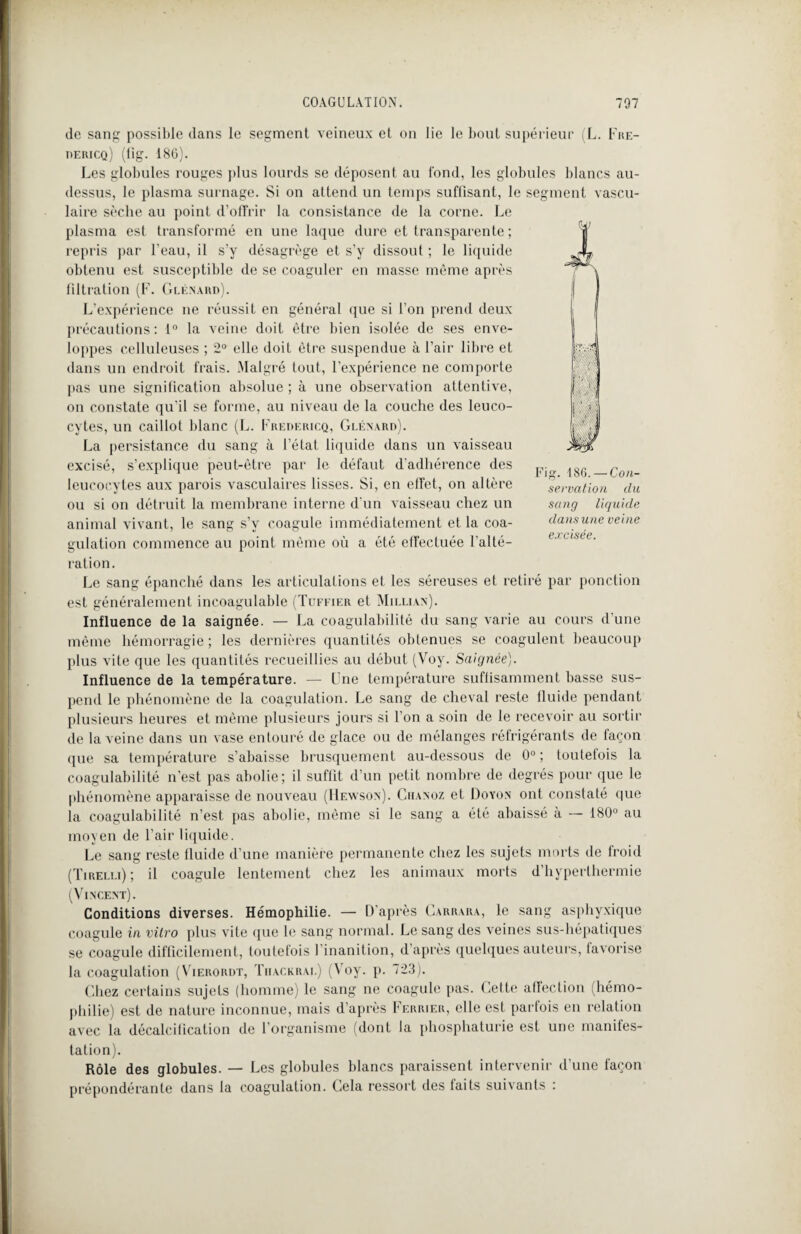 de sang possible dans le segment veineux et on lie le bout supérieur (L. Fre- dericq) (fig. 186). Les globules rouges plus lourds se déposent au fond, les globules blancs au- dessus, le plasma surnage. Si on attend un temps suffisant, le segment vascu¬ laire sèche au point d’offrir la consistance de la corne. Le plasma est transformé en une laque dure et transparente ; repris par l’eau, il s’y désagrège et s’y dissout ; le liquide obtenu est susceptible de se coaguler en masse même après filtration (F. Glénard). L'expérience ne réussit en général que si l’on prend deux précautions: 1° la veine doit être bien isolée de ses enve¬ loppes celluleuses ; 2° elle doit être suspendue à l’air libre et dans un endroit frais. Malgré tout, l’expérience ne comporte pas une signification absolue ; à une observation attentive, on constate qu’il se forme, au niveau de la couche des leuco¬ cytes, un caillot blanc (L. Fredericq, Glénard). La persistance du sang à l’état liquide dans un vaisseau excisé, s’explique peut-être par le défaut d'adhérence des leucocytes aux parois vasculaires lisses. Si, en effet, on altère ou si on détruit la membrane interne d'un vaisseau chez un animal vivant, le sang s’y coagule immédiatement et la coa¬ gulation commence au point même où a été effectuée l’alté¬ ration. Le sang épanché dans les articulations et les séreuses et retiré par ponction est généralement incoagulable (Tuffier et Millian). Influence de la saignée. — La coagulabilité du sang varie au cours d’une même hémorragie; les dernières quantités obtenues se coagulent beaucoup plus vite que les quantités recueillies au début (Voy. Saignée). Influence de la température. — Une température suffisamment basse sus¬ pend le phénomène de la coagulation. Le sang de cheval reste fluide pendant plusieurs heures et même plusieurs jours si l’on a soin de le recevoir au sortir de la veine dans un vase entouré de glace ou de mélanges réfrigérants de façon que sa température s’abaisse brusquement au-dessous de 0° ; toutefois la coagulabilité n'est pas abolie; il suffit d’un petit nombre de degrés pour que le phénomène apparaisse de nouveau (Hewson). Chanoz et Doyon ont constaté que la coagulabilité n’est pas abolie, même si le sang a été abaissé à — 180° au moyen de l’air liquide. Le sang reste lluide d’une manière permanente chez les sujets morts de froid (Tirelli); il coagule lentement chez les animaux morts d’hyperthermie (Vincent). Conditions diverses. Hémophilie. — D’après Carrara, le sang asphyxique coagule in vitro plus vite que le sang normal. Le sang des veines sus-hépatiques se coagule difficilement, toutefois l’inanition, d’après quelques auteurs, favorise la coagulation (Vierordt, Tracerai.) (Voy. p. 723). Chez certains sujets (homme) le sang ne coagule pas. Cette affection (hémo¬ philie) est de nature inconnue, mais d’après Ferrier, elle est partois en relation avec la décalcification de l’organisme (dont la phosphaturie est une manifes¬ tation). Rôle des globules. — Les globules blancs paraissent intervenir d'une façon prépondérante dans la coagulation. Cela ressort des faits suivants : Fig. 186. — Con¬ servation du sang liquide dans une veine excisée.